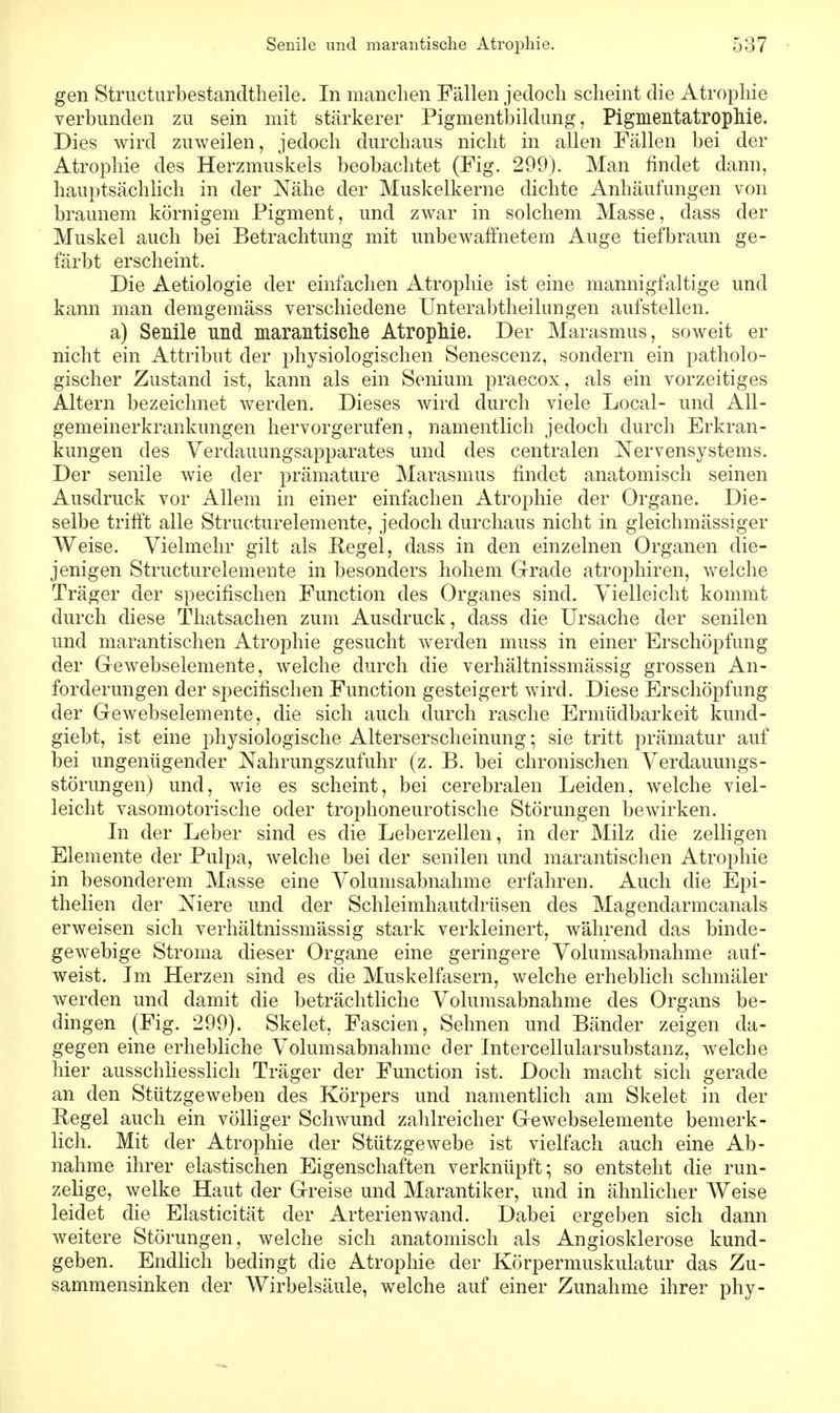 gen Structurbestandtheile. In manchen Fällen jedoch scheint die Atrophie verbunden zu sein mit stärkerer Pigmentbildung, Pigmentatrophie. Dies wird zuweilen, jedoch durchaus nicht in allen Fällen bei der Atrophie des Herzmuskels beobachtet (Fig. 299). Man findet dann, hauptsächlich in der Nähe der Muskelkerne dichte Anhäufungen von braunem körnigem Pigment, und zwar in solchem Masse, dass der Muskel auch bei Betrachtung mit unbewaffnetem Auge tiefbraun ge- färbt erscheint. Die Aetiologie der einfachen Atrophie ist eine mannigfaltige und kann man demgemäss verschiedene Unterabtheilungen aufstellen. a) Senile und marantische Atrophie. Der Marasmus, soweit er nicht ein Attribut der physiologischen Senescenz, sondern ein patholo- gischer Zustand ist, kann als ein Senium praecox, als ein vorzeitiges Altern bezeichnet werden. Dieses wird durch viele Local- und All- gemeinerkrankungen hervorgerufen, namentlich jedoch durch Erkran- kungen des Verdauungsapparates und des centralen Nervensystems. Der senile wie der prämature Marasmus findet anatomisch seinen Ausdruck vor Allem in einer einfachen Atrophie der Organe. Die- selbe trifft alle Structurelemente, jedoch durchaus nicht in gleichmässiger Weise. Vielmehr gilt als Regel, dass in den einzelnen Organen die- jenigen Structurelemente in besonders hohem Grade atrophiren, welche Träger der specitischen Function des Organes sind. Vielleicht kommt durch diese Thatsachen zum Ausdruck, dass die Ursache der senilen und marantischen Atrophie gesucht werden muss in einer Erschöpfung der Gewebselemente, welche durch die verhältnissmässig grossen An- forderungen der specifischen Function gesteigert wird. Diese Erschöpfung der Grewebselemente, die sich auch durch rasche Ermüdbarkeit kund- giebt, ist eine physiologische Alterserscheinung • sie tritt prämatur auf bei ungenügender Nahrungszufuhr (z. B. bei chronischen Verdauungs- störungen) und, wie es scheint, bei cerebralen Leiden, welche viel- leicht vasomotorische oder trophoneurotische Störungen bewirken. In der Leber sind es die Leberzellen, in der Milz die zelligen Elemente der Pulpa, welche bei der senilen und marantischen Atrophie in besonderem Masse eine Volumsabnahme erfahren. Auch die Epi- thelien der Niere und der Schleimhautdrüsen des Magendarmcanals erweisen sich verhältnissmässig stark verkleinert, während das binde- gewebige Stroma dieser Organe eine geringere Volumsabnahme auf- weist. Jm Herzen sind es die Muskelfasern, welche erheblich schmäler werden und damit die beträchtliche Volumsabnahme des Organs be- dingen (Fig. 299). Skelet, Fascien, Sehnen und Bänder zeigen da- gegen eine erhebliche Volumsabnahme der Intercellularsubstanz, welche hier ausschliesslich Träger der Function ist. Doch macht sich gerade an den Stützgeweben des Körpers und namentlich am Skelet in der Hegel auch ein völliger Schwund zahlreicher Grewebselemente bemerk- lich. Mit der Atrophie der Stützgewebe ist vielfach auch eine Ab- nahme ihrer elastischen Eigenschaften verknüpft; so entsteht die run- zelige, welke Haut der Greise und Marantiker, und in ähnlicher Weise leidet die Elasticität der Arterienwand. Dabei ergeben sich dann weitere Störungen, welche sich anatomisch als Angiosklerose kund- geben. Endlich bedingt die Atrophie der Körpermuskulatur das Zu- sammensinken der Wirbelsäule, welche auf einer Zunahme ihrer phy-