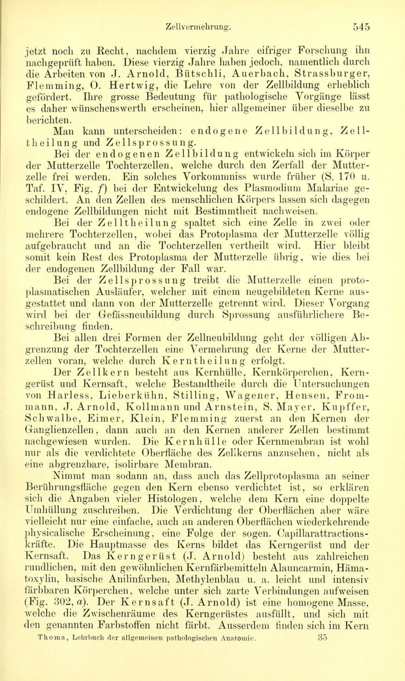 jetzt noch zu Recht, nachdem vierzig Jahre eifriger Forschung ihn nachgeprüft haben. Diese vierzig Jahre haben jedoch, namentlich durch die Arbeiten von J. Arnold, Bütschli, Auerbach, Strassburger, Flemming, 0. Hertwig, die Lehre von der Zellbildung erheblich gefördert. Ihre grosse Bedeutung für pathologische Vorgänge lässt es daher wünschenswerth erscheinen, hier allgemeiner über dieselbe zu berichten. Man kann unterscheiden: endogene Zellbildung, Zell- theilung und Zellsprossung. Bei der endogenen Zellbildung entwickeln sich im Körper der Mutterzelle Tochterzellen, welche durch den Zerfall der Mutter- zelle frei werden. Ein solches Vorkommniss wurde früher (S. 170 u. Taf. IV, Fig. f) bei der Entwickelung des Plasmodium Malariae ge- schildert. An den Zellen des menschlichen Körpers lassen sich dagegen endogene Zellbildungen nicht mit Bestimmtheit nachweisen. Bei der Zelltheilung spaltet sich eine Zelle in zwei oder mehrere Tochterzellen, wobei das Protoplasma der Mutterzelle völlig aufgebraucht und an die Tochterzellen vertheilt wird. Hier bleibt somit kein Best des Protoplasma der Mutterzelle übrig, wie dies bei der endogenen Zellbildung der Fall war. Bei der Zellsprossung treibt die Mutterzelle einen proto- plasmatischen Ausläufer, welcher mit einem neugebildeten Kerne aus- gestattet und dann von der Mutterzelle getrennt wird. Dieser Vorgang wird bei der Gefässneubildung durch Sprossung ausführlichere Be- schreibung finden. Bei allen drei Formen der Zellneubildung geht der völligen Ab- grenzung der Tochterzellen eine Vermehrung der Kerne der Mutter- zellen voran, welche durch Kerntheilung erfolgt. Der Zellkern besteht aus Kernhülle, Kernkörperchen, Kern- gerüst und Kernsaft, welche Bestandteile durch die Untersuchungen von Harless, Lieberkühn, Stilling, Wagener, Hensen, From- mann, J. Arnold, Kollmann und Arnstein, S. Mayer, Kupffer, Schwalbe, Eimer, Klein, Flemming zuerst an den Kernen der Ganglienzellen, dann auch an den Kernen anderer Zellen bestimmt nachgewiesen wurden. Die Kernhülle oder Kernmembran ist wohl nur als die verdichtete Oberfläche des Zellkerns anzusehen, nicht als eine abgrenzbare, isolirbare Membran. Nimmt man sodann an, dass auch das Zellprotoplasma an seiner Berührungsfläche gegen den Kern ebenso verdichtet ist, so erklären sich die Angaben vieler Histologen, welche dem Kern eine doppelte Umhüllung zuschreiben. Die Verdichtung der Oberflächen aber wäre vielleicht nur eine einfache, auch an anderen Oberflächen wiederkehrende physicalische Erscheinung, eine Folge der sogen. Capillarattractions- kräfte. Die Hauptmasse des Kerns bildet das Kerngerüst und der Kernsaft. Das Kerngerüst (J. Arnold) besteht aus zahlreichen rundlichen, mit den gewöhnlichen Kernfärbemitteln Alauncarmin, Häma- toxylin, basische Anilinfarben, Methylenblau u. a. leicht und intensiv färbbaren Körperchen, welche unter sich zarte Verbindungen aufweisen (Fig. 302, a). Der Kernsaft (J.Arnold) ist eine homogene Masse, welche die Zwischenräume des Kerngerüstes ausfüllt, und sich mit den genannten Farbstoffen nicht färbt. Ausserdem finden sich im Kern Thoma, Lehrbuch der allgemeinen pathologischen Anatomie. 35