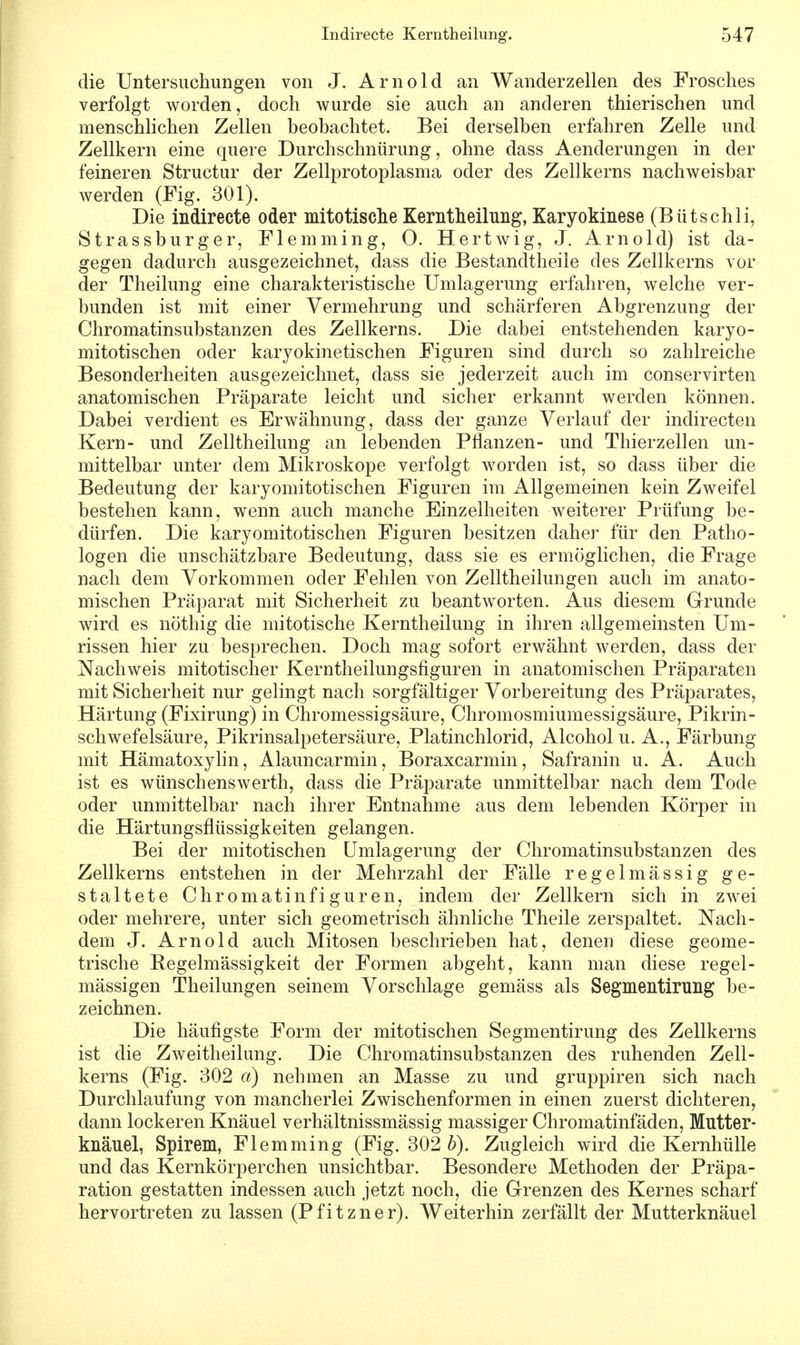 die Untersuchungen von J. Arnold an Wanderzellen des Frosches verfolgt worden, doch wurde sie auch an anderen thierischen und menschlichen Zellen beobachtet. Bei derselben erfahren Zelle und Zellkern eine quere Durchschnürung, ohne dass Aenderungen in der feineren Structur der Zellprotoplasma oder des Zellkerns nachweisbar werden (Fig. 301). Die indirecte oder mitotische Kerntheilung, Karyokinese (Bütschli, Strassburger, Flemming, 0. Hertwig, J. Arnold) ist da- gegen dadurch ausgezeichnet, dass die Bestandteile des Zellkerns vor der Theilung eine charakteristische Umlagerung erfahren, welche ver- bunden ist mit einer Vermehrung und schärferen Abgrenzung der Chromatinsubstanzen des Zellkerns. Die dabei entstehenden karyo- mitotischen oder karyokinetischen Figuren sind durch so zahlreiche Besonderheiten ausgezeichnet, dass sie jederzeit auch im conservirten anatomischen Präparate leicht und sicher erkannt werden können. Dabei verdient es Erwähnung, dass der ganze Verlauf der indirecten Kern- und Zelltheilung an lebenden Pflanzen- und Thierzellen un- mittelbar unter dem Mikroskope verfolgt worden ist, so dass über die Bedeutung der karyomitotischen Figuren im Allgemeinen kein Zweifel bestehen kann, wenn auch manche Einzelheiten weiterer Prüfung be- dürfen. Die karyomitotischen Figuren besitzen daher für den Patho- logen die unschätzbare Bedeutung, dass sie es ermöglichen, die Frage nach dem Vorkommen oder Fehlen von Zelltheilungen auch im anato- mischen Präparat mit Sicherheit zu beantworten. Aus diesem Grunde wird es nöthig die mitotische Kerntheilung in ihren allgemeinsten Um- rissen hier zu besprechen. Doch mag sofort erwähnt werden, dass der Nachweis mitotischer Kerntheilungsfiguren in anatomischen Präparaten mit Sicherheit nur gelingt nach sorgfältiger Vorbereitung des Präparates, Härtung (Fixirung) in Chromessigsäure, Chromosmiumessigsäure, Pikrin- schwefelsäure, Pikrinsalpetersäure, Platinchlorid, Alcohol u. A., Färbung mit Hämatoxylin, Alauncarmin, Boraxcarmin, Safranin u. A. Auch ist es wünschenswerth, dass die Präparate unmittelbar nach dem Tode oder unmittelbar nach ihrer Entnahme aus dem lebenden Körper in die Härtungsflüssigkeiten gelangen. Bei der mitotischen Umlagerung der Chromatinsubstanzen des Zellkerns entstehen in der Mehrzahl der Fälle regelmässig ge- staltete Chromatinfiguren, indem der Zellkern sich in zwei oder mehrere, unter sich geometrisch ähnliche Theile zerspaltet. Nach- dem J. Arnold auch Mitosen beschrieben hat, denen diese geome- trische Begelmässigkeit der Formen abgeht, kann man diese regel- mässigen Theilungen seinem Vorschlage gemäss als Segmentirung be- zeichnen. Die häufigste Form der mitotischen Segmentirung des Zellkerns ist die Zweitheilung. Die Chromatinsubstanzen des ruhenden Zell- kerns (Fig. 302 a) nehmen an Masse zu und gruppiren sich nach Durchlaufung von mancherlei Zwischenformen in einen zuerst dichteren, dann lockeren Knäuel verhältnissmässig massiger Chromatinfäden, Mutter- knäuel, Spirem, Flemming (Fig. 302 b). Zugleich wird die Kernhülle und das Kernkörperchen unsichtbar. Besondere Methoden der Präpa- ration gestatten indessen auch jetzt noch, die Grenzen des Kernes scharf hervortreten zu lassen (Pfitzner). Weiterhin zerfällt der Mutterknäuel