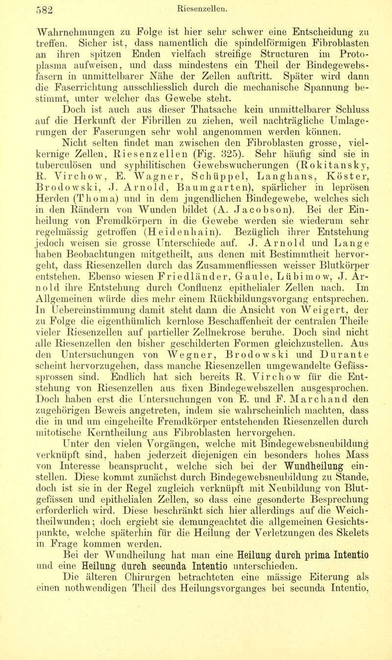 Wahrnehmungen zu Folge ist hier sehr schwer eine Entscheidung zu treffen. Sicher ist, dass namentlich die spindelförmigen Fibroblasten an ihren spitzen Enden vielfach streifige Structuren im Proto- plasma aufweisen, und dass mindestens ein Theil der Bindegewebs- fasern in unmittelbarer Nähe der Zellen auftritt. Später wird dann die Faserrichtung ausschliesslich durch die mechanische Spannung be- stimmt, unter welcher das Gewebe steht. Doch ist auch aus dieser Thatsache kein unmittelbarer Schluss auf die Herkunft der Fibrillen zu ziehen, weil nachträgliche Umlage - rungen der Faserungen sehr wohl angenommen werden können. Nicht selten findet man zwischen den Fibroblasten grosse, viel- kernige Zellen, Riesenzellen (Fig. 325). Sehr häufig sind sie in tuberculösen und syphilitischen Gewebswucherungen (Rokitansky, R. Virchow, E. Wagner, Schüppel, Langhans, Köster, Brodowski, J. Arnold, Baum garten), spärlicher in leprösen Herden (T h o m a) und in dem jugendlichen Bindegewebe, welches sich in den Rändern von Wunden bildet (A. Jacobson). Bei der Ein- heilung von Fremdkörpern in die Gewebe werden sie wiederum sehr regelmässig getroffen (Heidenhain). Bezüglich ihrer Entstehung jedoch weisen sie grosse Unterschiede auf. J. Arnold und Lange haben Beobachtungen mitgetheilt, aus denen mit Bestimmtheit hervor- geht, dass Riesenzellen durch das Zusammenfliessen weisser Blutkörper entstehen. Ebenso wiesen Friedländer, Gaule, Lübimow, J. Ar- nold ihre Entstehung durch Confluenz epithelialer Zellen nach. Im Allgemeinen würde dies mehr einem Rückbildungs Vorgang entsprechen. In Uebereinstimmung damit steht dann die Ansicht von Weigert, der zu Folge die eigenthümlich kernlose Beschaffenheit der centralen Theile vieler Riesenzellen auf partieller Zellnekrose beruhe. Doch sind nicht alle Riesenzellen den bisher geschilderten Formen gleichzustellen. Aus den Untersuchungen von Wegner, Brodowski und Dur ante scheint hervorzugehen, dass manche Riesenzellen umgewandelte Gefäss- sprossen sind. Endlich hat sich bereits R. Virchow für die Ent- stehung von Riesenzellen aus fixen Bindegewebszellen ausgesprochen. Doch haben erst die Untersuchungen von E. und F. Marchand den zugehörigen Beweis angetreten, indem sie wahrscheinlich machten, dass die in und um eingeheilte Fremdkörper entstehenden Riesenzellen durch mitotische Kerntheilung aus Fibroblasten hervorgehen. Unter den vielen Vorgängen, welche mit Bindegewebsneubildung verknüpft sind, haben jederzeit diejenigen ein besonders hohes Mass von Interesse beansprucht, welche sich bei der Wundheilung ein- stellen. Diese kommt zunächst durch Bindegewebsneubildung zu Stande, doch ist sie in der Regel zugleich verknüpft mit Neubildung von Blut- gefässen und epithelialen Zellen, so dass eine gesonderte Besprechung erforderlich wird. Diese beschränkt sich hier allerdings auf die Weich- theilwunden; doch ergiebt sie demungeachtet die allgemeinen Gesichts- punkte, welche späterhin für die Heilung der Verletzungen des Skelets in Frage kommen werden. Bei der Wundheilung hat man eine Heilung durch prima Intentio und eine Heilung durch secunda Intentio unterschieden. Die älteren Chirurgen betrachteten eine mässige Eiterung als einen nothwendigen Theil des Heilungsvorganges bei secunda Intentio,