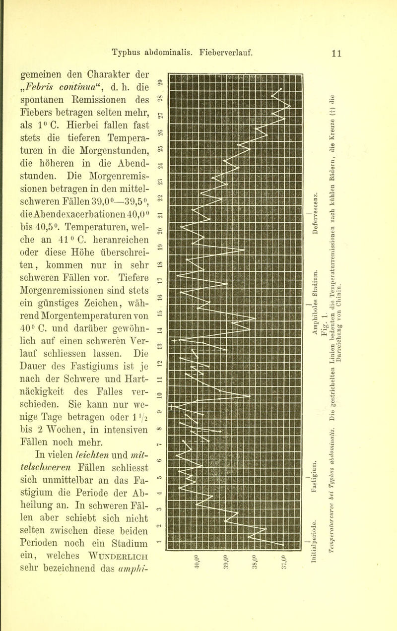 gemeinen den Charakter der „Febris continua, d. h. die spontanen Remissionen des Fiebers betragen selten mehr, als 10 C. Hierbei fallen fast stets die tieferen Tempera- turen in die Morgenstunden, die höheren in die Abend- stunden. Die Morgenremis- sionen betragen in den mittel- schweren Fällen 39,0°—39,5°, die Abendexacerbationen 40,0° bis 40,5°. Temperaturen, wel- che an 410 C. heranreichen oder diese Höhe überschrei- ten, kommen nur in sehr schweren Fällen vor. Tiefere Morgenremissionen sind stets ein günstiges Zeichen, wäh- rend Morgentemperaturen von 40° C. und darüber gewöhn- lich auf einen schweren Ver- lauf schliessen lassen. Die Dauer des Fastigiums ist je nach der Schwere und Hart- näckigkeit des Falles ver- schieden. Sie kann nur we- nige Tage betragen oder 1 x\i bis 2 Wochen, in intensiven Fällen noch mehr. In vielen leichten und mit- telschweren Fällen schliesst sich unmittelbar an das Fa- stigium die Periode der Ab- heilung an. In schweren Fäl- len aber schiebt sich nicht selten zwischen diese beiden Perioden noch ein Stadium ein, welches Wunderlich sehr bezeichnend das amphi- O O © © O <= O © Gl oo -tf ro o co