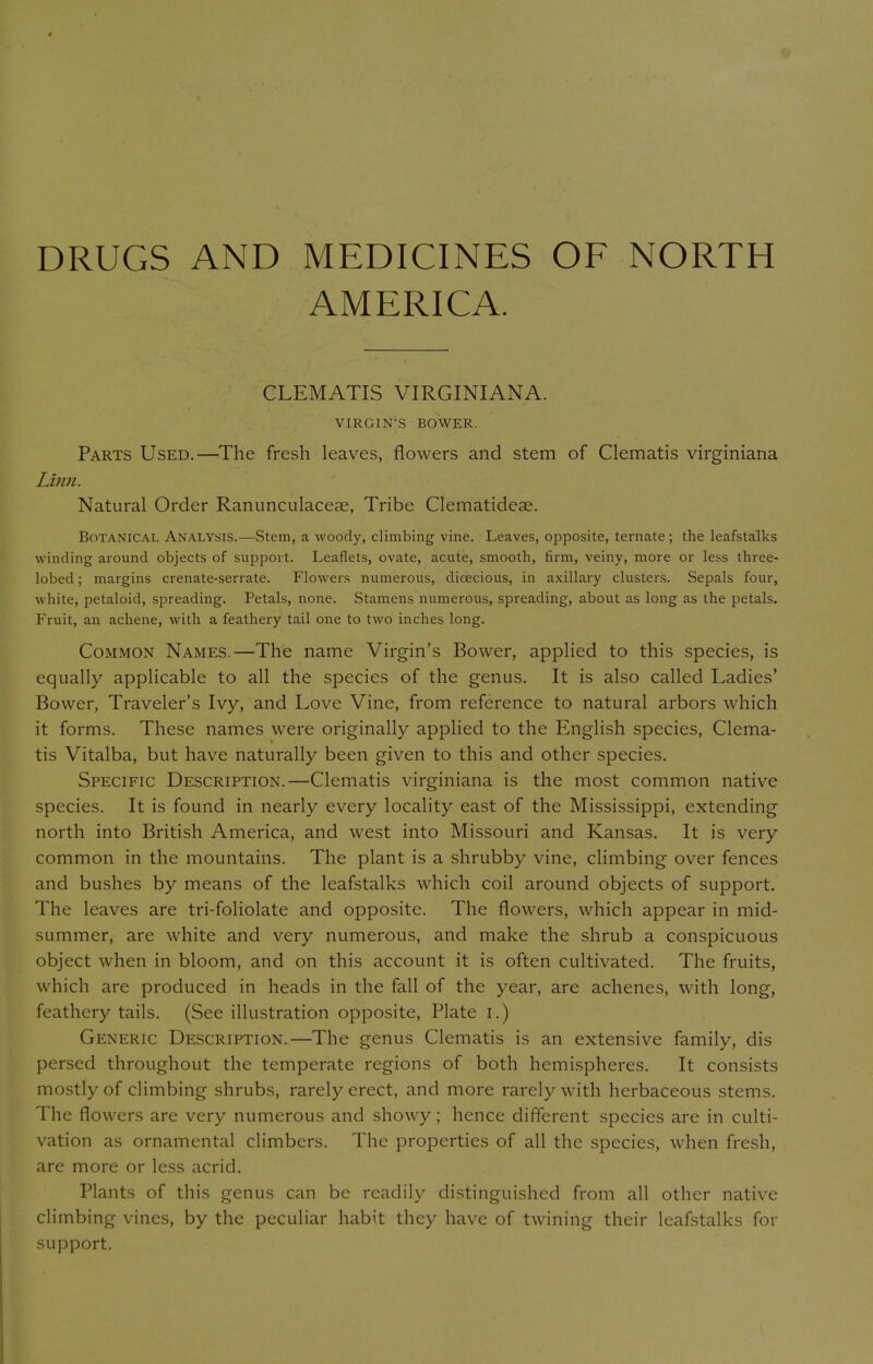 DRUGS AND MEDICINES OF NORTH AMERICA. CLEMATIS VIRGINIANA. VIRGIN'S BOWER. Parts Used.—The fresh leaves, flowers and stem of Clematis virginiana Linn. Natural Order Ranunculaceae, Tribe Clematideae. Botanical Analysis.—Stem, a woody, climbing vine. Leaves, opposite, ternate; the leafstalks winding around objects of support. Leaflets, ovate, acute, smooth, firm, veiny, more or less three- lobed; margins crenate-serrate. Flowers numerous, dicecious, in axillary clusters. Sepals four, white, petaloid, spreading. Petals, none. Stamens numerous, spreading, about as long as the petals. Fruit, an achene, with a feathery tail one to two inches long. Common Names.—The name Virgin's Bower, applied to this species, is equally applicable to all the species of the genus. It is also called Ladies' Bower, Traveler's Ivy, and Love Vine, from reference to natural arbors which it forms. These names were originally applied to the English species, Clema- tis Vitalba, but have naturally been given to this and other species. Specific Description.—Clematis virginiana is the most common native species. It is found in nearly every locality east of the Mississippi, extending north into British America, and west into Missouri and Kansas. It is very common in the mountains. The plant is a shrubby vine, climbing over fences and bushes by means of the leafstalks which coil around objects of support. The leaves are tri-foliolate and opposite. The flowers, which appear in mid- summer, are white and very numerous, and make the shrub a conspicuous object when in bloom, and on this account it is often cultivated. The fruits, which are produced in heads in the fall of the year, are achenes, with long, feathery tails. (See illustration opposite, Plate i.) Generic Description.—The genus Clematis is an extensive family, dis persed throughout the temperate regions of both hemispheres. It consists mostly of climbing shrubs, rarely erect, and more rarely with herbaceous stems. The flowers are very numerous and showy; hence different species are in culti- vation as ornamental climbers. The properties of all the species, when fresh, are more or less acrid. Plants of this genus can be readily distinguished from all other native climbing vines, by the peculiar habit they have of twining their leafstalks for support.