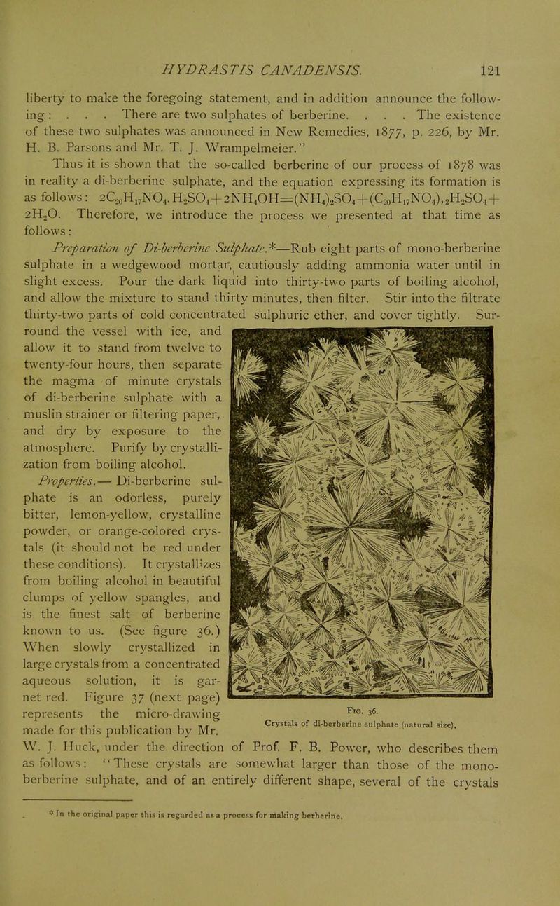 liberty to make the foregoing statement, and in addition announce the follow- ing : . There are two sulphates of berberine. . . . The existence of these two sulphates was announced in New Remedies, 1877, p. 226, by Mr. H. B. Parsons and Mr. T. J. Wrampelmeier. Thus it is shown that the so-called berberine of our process of 1878 was in reality a di-berberine sulphate, and the equation expressing its formation is as follows: 2C20H17NO4.H2SO4+2NH4OH=(NH4)2SO4+(C20H17NO4),2H2SO4+ 2H0O. Therefore, we introduce the process we presented at that time as follows: Preparation of Di-berberine Sulphate*—Rub eight parts of mono-berberine sulphate in a wedgewood mortar, cautiously adding ammonia water until in slight excess. Pour the dark liquid into thirty-two parts of boiling alcohol, and allow the mixture to stand thirty minutes, then filter. Stir into the filtrate thirty-two parts of cold concentrated sulphuric ether, and cover tightly. Sur- round the vessel with ice, and allow it to stand from twelve to tw enty-four hours, then separate the magma of minute crystals of di-berberine sulphate with a muslin strainer or filtering paper, and dry by exposure to the atmosphere. Purify by crystalli- zation from boiling alcohol. Properties.— Di-berberine sul- phate is an odorless, purely bitter, lemon-yellow, crystalline powder, or orange-colored crys- tals (it should not be red under these conditions). It crystallizes from boiling alcohol in beautiful clumps of yellow spangles, and is the finest salt of berberine known to us. (See figure 36.) When slowly crystallized in large crystals from a concentrated aqueous solution, it is gar- net red. Figure 37 (next page) represents the micro-drawing made for this publication by Mr. Fig. 36. Crystals of di-berberine sulphate (natural size). W. J. Huck, under the direction of Prof. F. B. Power, who describes them as follows: These crystals are somewhat larger than those of the mono- berberine sulphate, and of an entirely different shape, several of the crystals * In the original paper this is regarded as a process for making berberine.