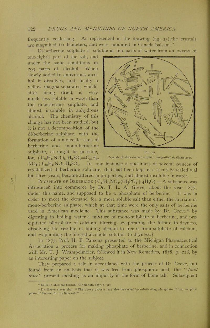 frequently coalescing. As represented in the drawing (fig. 37),the crystals are magnified 60 diameters, and were mounted in Canada balsam. Di-berberine sulphate is soluble in ten parts of water from an excess of one-eighth part of the salt, and under the same conditions in 293 parts of alcohol. When slowly added to anhydrous alco- hol it dissolves, and finally a yellow magma separates, which, after being dried, is very much less soluble in water than the di-berberine sulphate, and almost insoluble in anhydrous alcohol. The chemistry of this change has not been studied, but it is not a decomposition of the di-berberine sulphate, with the formation of a molecule each of berberine and mono-berberine sulphate, as might be possible, fig. 37. for, ( C20H17NO4)2. H2SO4 = C20H17 Crystals of di-berberine sulphate (magnified 60 diameters). NO4H-C20H17NO4. H2SO.j. In one instance a specimen of several ounces of crystallized di-berberine sulphate, that had been kept in a securely sealed vial for three years, became altered in properties, and almost insoluble in water. Phosphate of Berberine (C2oH17N04.7HiP04+4H20).—A substance was introducefl into commerce by Dr. T. L. A. Greve, about the year 1877, under this name, and supposed to be a phosphate of berberine. It was in order to meet the demand for a more soluble salt than either the muriate or mono-berberine sulphate, which at that time were the only salts of berberine used in American medicine. This substance was made by Dr. Greve * by digesting in boiling water a mixture of mono-sulphate of berberine, and pre- cipitated phosphate of calcium, filtering, evaporating the filtrate to dryness, dissolving the residue in boiling alcohol to free it from sulphate of calcium, and evaporating the filtered alcoholic solution to dryness, f In 1877, Prof. H. B. Parsons presented to the Michigan Pharmaceutical Association a process for making phosphate of berberine, and in connection with Mr. T. J. Wrampelmeier, followed it in New Remedies, 1878, p. 226, by an interesting paper on the subject. They prepared a salt in accordance with the process of Dr. Greve, but found from an analysis that it was free from phosphoric acid, the faint trace present existing as an impurity in the form of bone ash. Subsequent * Eclectic Medical Journal, Cincinnati, 1877, p. 311. f Dr. Greve states that, The above process may also be varied by substituting phosphate of lead, or phos- phate of barium, for the lime salt.