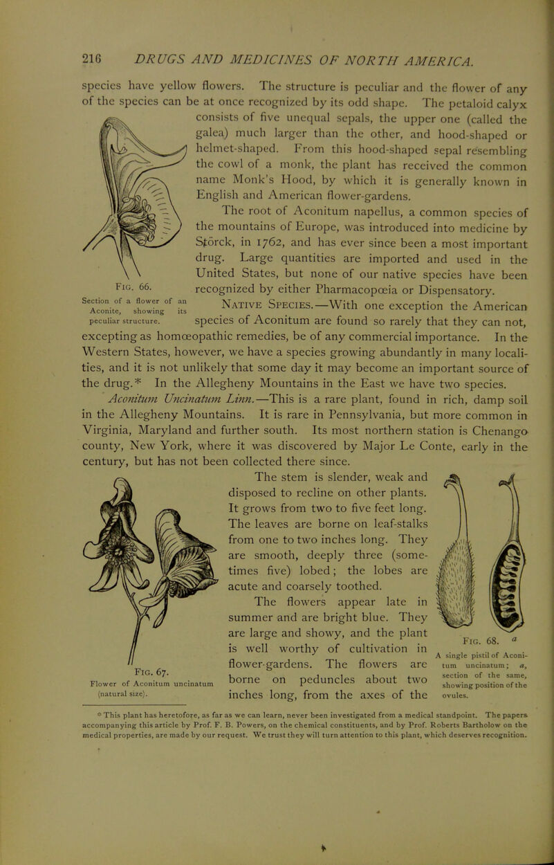 Fig. 66. Section of a flower of an Aconite, showing its peculiar structure. species have yellow flowers. The structure is peculiar and the flower of any of the species can be at once recognized by its odd shape. The petaloid calyx consists of five unequal sepals, the upper one (called the galea) much larger than the other, and hood-shaped or helmet-shaped. From this hood-shaped sepal resembling the cowl of a monk, the plant has received the common name Monk's Hood, by which it is generally known in English and American flower-gardens. The root of Aconitum napellus, a common species of the mountains of Europe, was introduced into medicine by Sforck, in 1762, and has ever since been a most important drug. Large quantities are imported and used in the United States, but none of our native species have been recognized by either Pharmacopoeia or Dispensatory. Native Species.—With one exception the American species of Aconitum are found so rarely that they can not, excepting as homoeopathic remedies, be of any commercial importance. In the Western States, however, we have a species growing abundantly in many locali- ties, and it is not unlikely that some day it may become an important source of the drug.* In the Allegheny Mountains in the East we have two species. Aconitum Uncinatum Linn.—This is a rare plant, found in rich, damp soil in the Allegheny Mountains. It is rare in Pennsylvania, but more common in Virginia, Maryland and further south. Its most northern station is Chenango county, New York, where it was discovered by Major Le Conte, early in the century, but has not been collected there since. The stem is slender, weak and disposed to recline on other plants. It grows from two to five feet long. The leaves are borne on leaf-stalks from one to two inches long. They are smooth, deeply three (some- times five) lobed; the lobes are acute and coarsely toothed. The flowers appear late in summer and are bright blue. They are large and showy, and the plant is well worthy of cultivation in flower-gardens. The flowers are borne on peduncles about two inches long, from the axes of the Fig. 68. Fig. 67. Flower of Aconitum uncinatum (natural size). A single pistil of Aconi- tum uncinatum; a, section of the same, showing position of the ovules. * This plant has heretofore, as far as we can learn, never been investigated from a medical standpoint. The papers accompanying this article by Prof. F. B. Powers, on the chemical constituents, and by Prof. Roberts Bartholow on the medical properties, are made by our request. We trust they will turn attention to this plant, which deserves recognition.