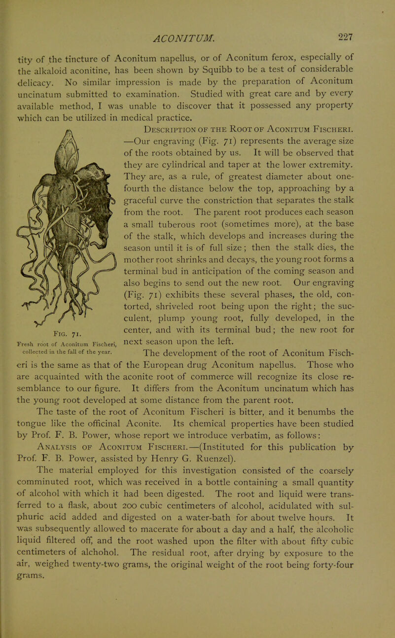 tity of the tincture of Aconitum napellus, or of Aconitum ferox, especially of the alkaloid aconitine, has been shown by Squibb to be a test of considerable delicacy. No similar impression is made by the preparation of Aconitum uncinatum submitted to examination. Studied with great care and by every available method, I was unable to discover that it possessed any property which can be utilized in medical practice. Description of the Root of Aconitum Fischeri. —Our engraving (Fig. 71) represents the average size of the roots obtained by us. It will be observed that they are cylindrical and taper at the lower extremity. They are, as a rule, of greatest diameter about one- fourth the distance below the top, approaching by a graceful curve the constriction that separates the stalk from the root. The parent root produces each season a small tuberous root (sometimes more), at the base of the stalk, which develops and increases during the season until it is of full size; then the stalk dies, the mother root shrinks and decays, the young root forms a terminal bud in anticipation of the coming season and also begins to send out the new root. Our engraving (Fig. 71) exhibits these several phases, the old, con- torted, shriveled root being upon the right; the suc- culent, plump young root, fully developed, in the FlG center, and with its terminal bud; the new root for Fresh root of Aconitum Fischeri, next Season Upon the left. collected in the fail of the year. development of the root of Aconitum Fisch- eri is the same as that of the European drug Aconitum napellus. Those who are acquainted with the aconite root of commerce will recognize its close re- semblance to our figure. It differs from the Aconitum uncinatum which has the young root developed at some distance from the parent root. The taste of the root of Aconitum Fischeri is bitter, and it benumbs the tongue like the officinal Aconite. Its chemical properties have been studied by Prof. F. B. Power, whose report we introduce verbatim, as follows: Analysis of Aconitum Fischeri.—(Instituted for this publication by Prof. F. B. Power, assisted by Henry G. Ruenzel). The material employed for this investigation consisted of the coarsely comminuted root, which was received in a bottle containing a small quantity of alcohol with which it had been digested. The root and liquid were trans- ferred to a flask, about 200 cubic centimeters of alcohol, acidulated with sul- phuric acid added and digested on a water-bath for about twelve hours. It was subsequently allowed to macerate for about a day and a half, the alcoholic liquid filtered off, and the root washed upon the filter with about fifty cubic centimeters of alchohol. The residual root, after drying by exposure to the air, weighed twenty-two grams, the original weight of the root being forty-four grams.