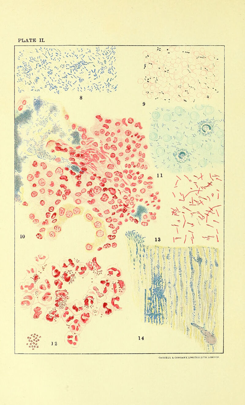 CASSELL t COMfAMy.LIMITED.ttTK.LOMDON .