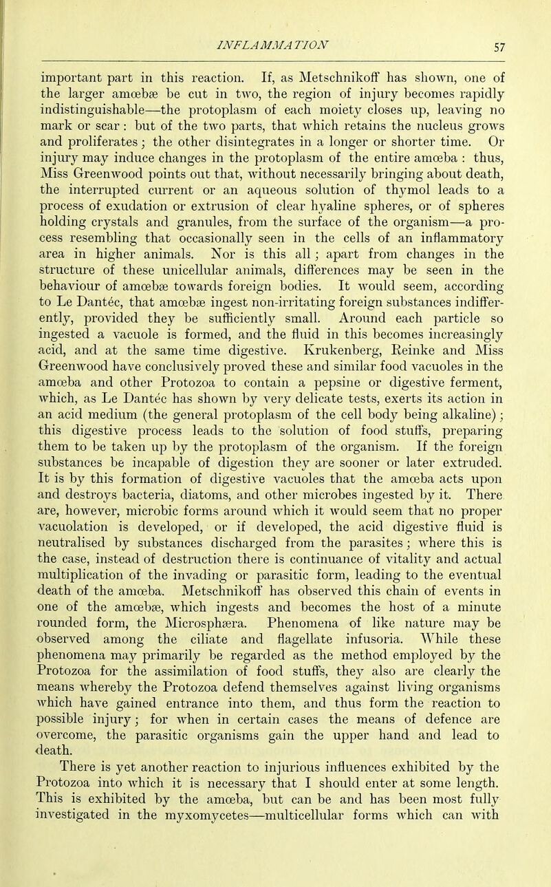 important part in this reaction. If, as Metschnikoff has shown, one of the larger amoebse be cut in two, the region of injury becomes rapidly indistinguishable—the protoplasm of each moiety closes up, leaving no mark or scar : but of the two parts, that which retains the nucleus grows and proliferates; the other disintegrates in a longer or shorter time. Or injury may induce changes in the protoplasm of the entire amoeba : thus. Miss Greenwood points out that, without necessarily bringing about death, the interrupted current or an acjueous solution of thymol leads to a process of exudation or extrusion of clear hyaline spheres, or of spheres holding crystals and granules, from the surface of the organism—a pro- cess resembling that occasionally seen in the cells of an inflammatory area in higher animals. Nor is this all; apart from changes in the structure of these unicellular animals, differences may be seen in the behaviour of amoebse towards foreign bodies. It would seem, according to Le Dant6c, that amoebge ingest non-irritating foreign substances indiffer- ently, provided they be sufficiently small. Around each particle so ingested a vacuole is formed, and the fluid in this becomes increasingly acid, and at the same time digestive. Krukenberg, Reinke and Miss Greenwood have conclusively proved these and similar food vacuoles in the amoeba and other Protozoa to contain a pepsine or digestive ferment, which, as Le Dantec has shown by very delicate tests, exerts its action in an acid medium (the general protoplasm of the cell body being alkaline); this digestive process leads to the solution of food stuff's, preparing them to be taken up by the protoplasm of the organism. If the foreign substances be incapable of digestion they are sooner or later extruded. It is by this formation of digestive vacuoles that the amoeba acts upon and destroys bacteria, diatoms, and other microbes ingested by it. There are, however, microbic forms around which it would seem that no proper vacuolation is developed, or if developed, the acid digestive fluid is neutralised by substances discharged from the parasites; where this is the case, instead of destruction there is continuance of vitality and actual multiplication of the invading or parasitic form, leading to the eventual death of the amoeba. Metschnikoff has observed this chain of events in one of the amoebse, which ingests and becomes the host of a minute rounded form, the Microsphsera. Phenomena of like nature may be observed among the ciliate and flagellate infusoria. AYhile these phenomena may primarily be regarded as the method employed by the Protozoa for the assimilation of food stuff's, they also are clearly the means whereby the Protozoa defend themselves against living organisms which have gained entrance into them, and thus form the reaction to possible injury; for when in certain cases the means of defence are overcome, the parasitic organisms gain the upper hand and lead to death. There is yet another reaction to injurious influences exhibited by the Protozoa into which it is necessary that I should enter at some length. This is exhibited by the amoeba, but can be and has been most fully investigated in the myxomycetes—multicellular forms which can with