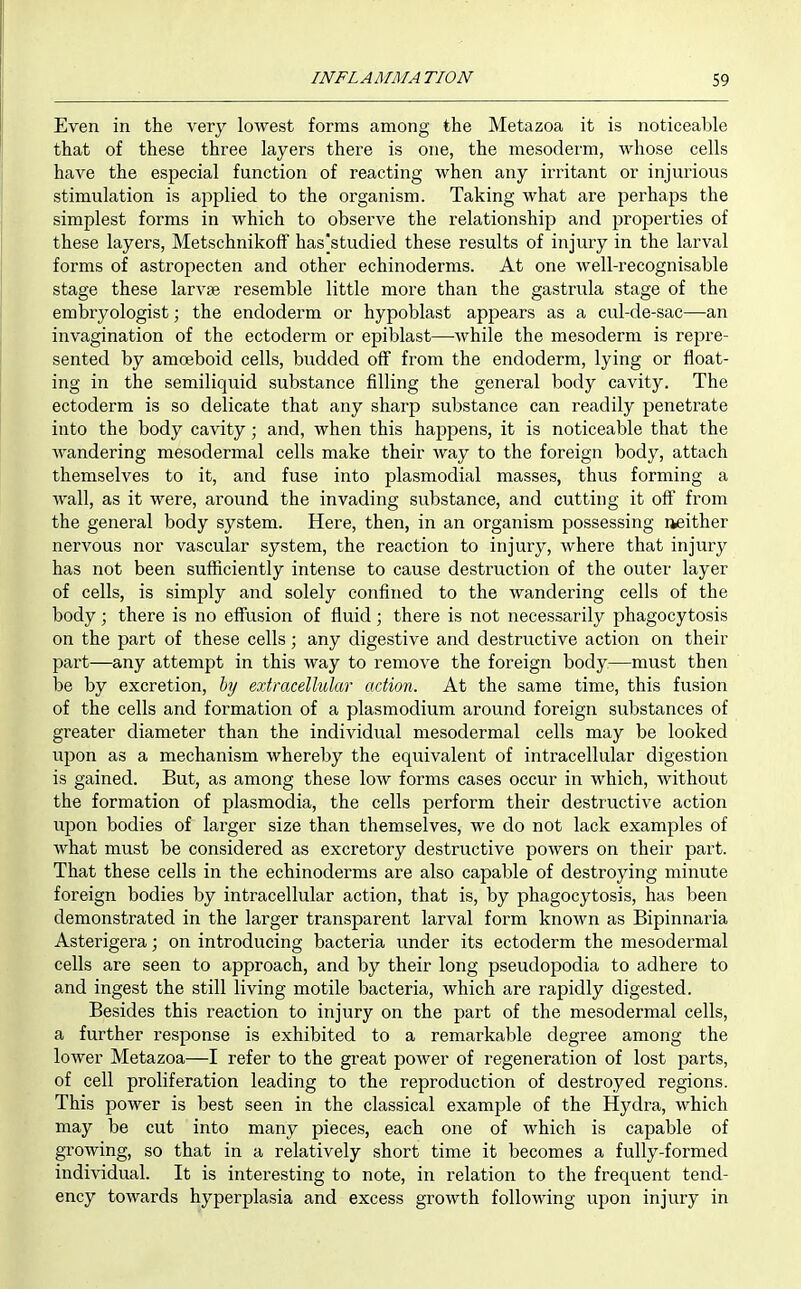Even in the very lowest forms among the Metazoa it is noticeable that of these three layers there is one, the mesoderm, whose cells have the especial function of reacting when any iri'itant or injiu'ious stimulation is applied to the organism. Taking what are perhaps the simplest forms in which to observe the relationship and properties of these layers, Metschnikoff has'studied these results of injury in the larval forms of astropecten and other echinoderms. At one well-recognisable stage these larvae resemble little more than the gastrula stage of the erabryologist; the endoderm or hypoblast appears as a cul-de-sac—an invagination of the ectoderm or epiblast—while the mesoderm is repre- sented by amoeboid cells, budded off from the endoderm, lying or float- ing in the semiliquid substance filling the general body cavity. The ectoderm is so delicate that any sharp substance can readily penetrate into the body cavity; and, when this happens, it is noticeable that the Avandering mesodermal cells make their way to the foreign body, attach themselves to it, and fuse into plasmodial masses, thus forming a wall, as it were, around the invading substance, and cutting it off from the general body system. Here, then, in an organism possessing lieither nervous nor vascular system, the reaction to injury, where that injui-y has not been sufficiently intense to cause destruction of the outer layer of cells, is simply and solely confined to the wandering cells of the body; there is no effusion of fluid; there is not necessarily phagocytosis on the part of these cells; any digestive and destructive action on their part—any attempt in this way to remove the foreign body—must then be by excretion, hy extracellular action. At the same time, this fusion of the cells and formation of a plasmodium around foreign substances of greater diameter than the individual mesodermal cells may be looked upon as a mechanism whereby the equivalent of intracellular digestion is gained. But, as among these low forms cases occur in which, without the formation of plasmodia, the cells perform their destructive action ujjon bodies of larger size than themselves, we do not lack examples of what must be considered as excretory destructive powers on their part. That these cells in the echinoderms are also capable of destroying minute foreign bodies by intracellular action, that is, by phagocytosis, has been demonstrated in the larger transparent larval form known as Bipinnaria Asterigera; on introducing bacteria under its ectoderm the mesodermal cells are seen to approach, and by their long pseudopodia to adhere to and ingest the still living motile bacteria, which are rapidly digested. Besides this reaction to injury on the part of the mesodermal cells, a further response is exhibited to a remarkable degree among the lower Metazoa—I refer to the great power of regeneration of lost parts, of cell proliferation leading to the reproduction of destroyed regions. This power is best seen in the classical example of the Hydra, which may be cut into many pieces, each one of which is capable of growing, so that in a relatively short time it becomes a fully-formed individual. It is interesting to note, in relation to the frequent tend- ency towards hyperplasia and excess growth following upon injury in