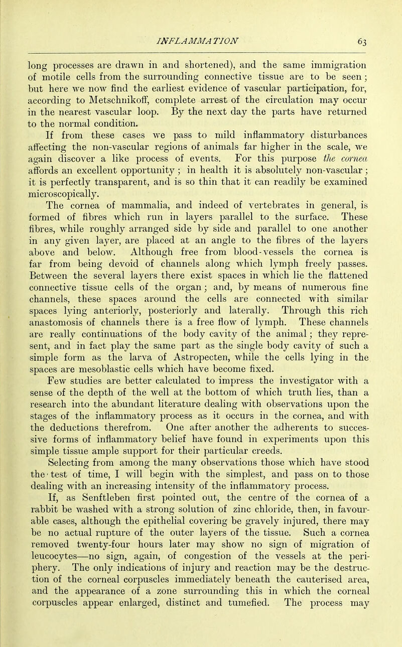 long processes are drawn in and shortened), and the same immigration of motile cells from the surrounding connective tissue are to be seen; but here we now find the earliest evidence of vascular participation, for, according to MetschnikofF, complete arrest of the circulation may occur in the nearest vascular loop. By the next day the parts have returned to the normal condition. If from these cases we pass to mild inflammatory disturbances affecting the non-vascular regions of animals far higher in the scale, we again discover a like process of events. For this purpose the cornea affords an excellent opportunity ; in health it is absolutely non-vascular ; it is perfectly transparent, and is so thin that it can readily be examined microscopically. The cornea of mammalia, and indeed of veitebrates in general, is formed of fibres which run in layers parallel to the surface. These fibres, while roughly arranged side by side and parallel to one another in any given layer, are placed at an angle to the fibres of the layers above and below. Although free from blood-vessels the cornea is far from being devoid of channels along which lymph freely passes. Between the several layers there exist spaces in which lie the flattened connective tissue cells of the organ; and, by means of numerous fine channels, these spaces around the cells are connected with similar spaces lying anteriorly, posteriorly and laterally. Through this rich anastomosis of channels there is a free flow of lymph. These channels are really continuations of the body cavity of the animal; they repre- sent, and in fact play the same part as the single body cavity of such a simple form as the larva of Astropecten, while the cells lying in the spaces are mesoblastic cells which have become fixed. Few studies are better calculated to impress the investigator with a sense of the depth of the well at the bottom of which truth lies, than a research into the abundant literature dealing with observations upon the stages of the inflammatory process as it occurs in the cornea, and with the deductions therefrom. One after another the adherents to succes- sive forms of inflammatory belief have found in experiments upon this simple tissue ample support for their particular creeds. Selecting from among the many observations those which have stood the ■ test of time, I will begin with the simplest, and pass on to those dealing with an increasing intensity of the inflammatory process. If, as Senftleben first pointed out, the centre of the cornea of a rabbit be washed with a strong solution of zinc chloride, then, in favour- able cases, although the epithelial covering be gravely injured, there may be no actual rupture of the outer layers of the tissue. Such a cornea removed twenty-four hours later may show no sign of migration of leucocytes—no sign, again, of congestion of the vessels at the peri- phery. The only indications of injury and reaction may be the destruc- tion of the corneal corpuscles immediately beneath the cauterised area, and the appearance of a zone surrounding this in which the corneal corpuscles appear enlarged, distinct and tumefied. The process may