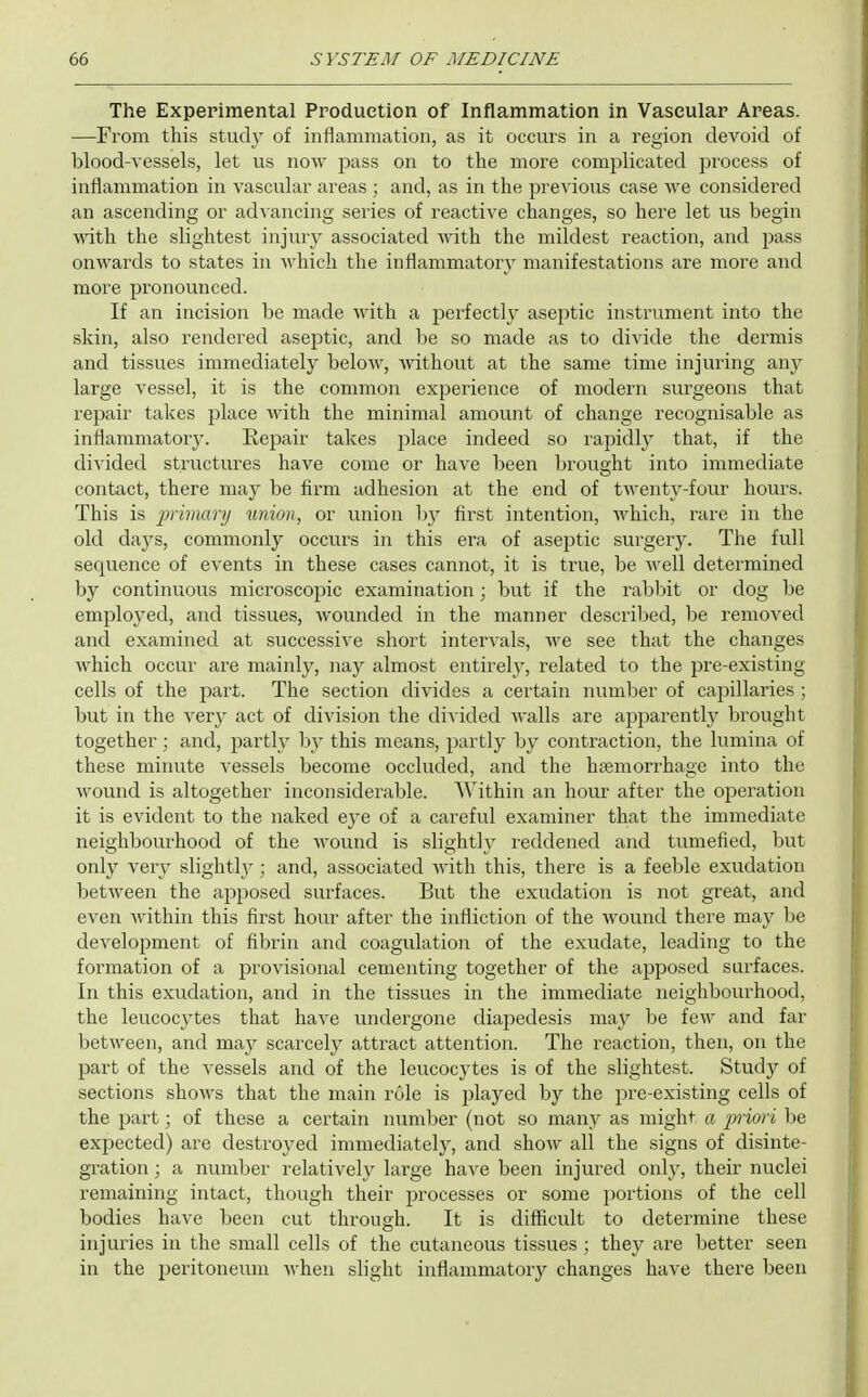 The Experimental Production of Inflammation in Vascular Areas. —From this study of inflammation, as it occurs in a region devoid of blood-vessels, let us now pass on to the more complicated process of inflammation in vascular areas ; and, as in the previous case we considered an ascending or advancing series of reactive changes, so here let us begin with the slightest injury associated with the mildest reaction, and pass onwards to states in which the inflammatory manifestations are more and more pronounced. If an incision be made with a perfectly aseptic instrument into the skin, also rendered aseptic, and be so made as to divide the dermis and tissues immediately below, without at the same time injuring any large vessel, it is the common experience of modern surgeons that repair takes place with the minimal amount of change recognisable as inflammatory. Repair takes place indeed so rapidly that, if the divided structures have come or have been brought into immediate contact, there may be firm adhesion at the end of twenty-four hours. This is primanj union, or union hj first intention, which, rare in the old days, commonly occurs in this era of aseptic surgery. The full sequence of events in these cases cannot, it is true, be well determined by continuous microscopic examination; but if the rabl)it or dog be employed, and tissues, wounded in the manner described, be removed and examined at successive short intervals, we see that the changes which occur are mainly, nay almost entirely, related to the pre-existing cells of the jDart. The section divides a certain number of capillaries; but in the very act of division the divided walls are apparently brought together; and, partly by this means, partly by contraction, the lumina of these minute vessels become occluded, and the hsemorrhage into the wound is altogether inconsiderable. AVithin an hour after the operation it is evident to the naked eye of a careful examiner that the immediate neighbourhood of the wound is slightly reddened and tumefied, but only very slightlj^; and, associated with this, there is a feeble exudation between the apposed surfaces. But the exudation is not great, and even within this first hour after the infliction of the wound there may be development of fibrin and coagulation of the exudate, leading to the formation of a provisional cementing together of the apposed surfaces. In this exudation, and in the tissues in the immediate neighbourhood, the leucocytes that have undergone diapedesis may be few and far between, and may scarcely attract attention. The reaction, then, on the part of the vessels and of the leucocytes is of the slightest. Study of sections shows that the main role is played by the pre-existing cells of the part; of these a certain number (not so many as might a 2)rio'i he expected) are destroyed immediately, and show all the signs of disinte- gration ; a number relatively large have been injured only, their nuclei remaining intact, though their processes or some portions of the cell bodies have been cut through. It is difficult to determine these injuries in the small cells of the cutaneous tissues ; they are better seen in the peritoneum when slight inflammatory changes have there been