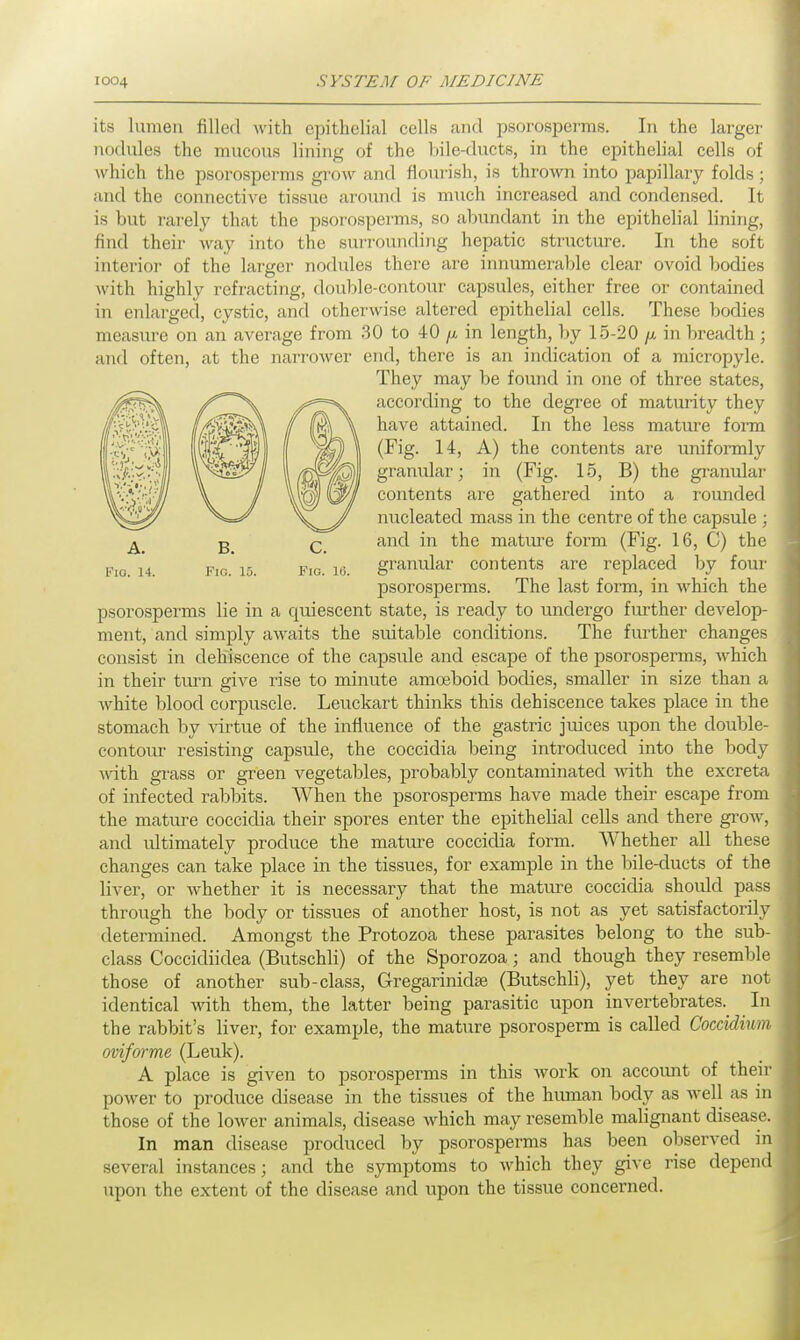 Via. 14. Pig. L5. Pig. 16. its lumen filled with epithelial cells and psorosperms. In the larger nodules the mucous lining of the bile-ducts, in the epithelial cells of which the psorosperms grow and flourish, is thrown into papillary folds; and the connective tissue around is much increased and condensed. It is but rarely that the psorosperms, so abundant in the epithelial lining, find their way into the surrounding hepatic structure. In the soft interior of the larger nodules there are innumerable clear ovoid bodies with highly refracting, double-contour capsules, either free or contained in enlarged, cystic, and otherwise altered epithelial cells. These bodies measure on an average from 30 to 40 ft in length, by 15-20 /* in breadth ; and often, at the narrower end, there is an indication of a micropyle. They may be found in one of three states, according to the degree of maturity they have attained. In the less mature form (Fig. 14, A) the contents are uniformly granular; in (Fig. 15, B) the granular contents are gathered into a rounded nucleated mass in the centre of the capsule ; and in the mature form (Fig. 16, C) the granular contents are replaced by four psorosperms. The last form, in which the psorosperms lie in a cpiiescent state, is ready to undergo further develop- ment, and simply awaits the suitable conditions. The further changes consist in dehiscence of the capsule and escape of the psorosperms, which in their turn give rise to minute amoeboid bodies, smaller in size than a white blood corpuscle. Leuckart thinks this dehiscence takes place in the stomach by virtue of the influence of the gastric juices upon the double- contour resisting capsule, the coccidia being introduced into the body with grass or green vegetables, probably contaminated with the excreta of infected rabbits. When the psorosperms have made their escape from the mature coccidia their spores enter the epithelial cells and there growT, and idtimately produce the mature coccidia form. Whether all these changes can take place in the tissues, for example in the bile-ducts of the liver, or whether it is necessary that the mature coccidia should pass through the body or tissues of another host, is not as yet satisfactorily determined. Amongst the Protozoa these parasites belong to the sub- class Coccidiidea (Butschli) of the Sporozoa; and though they resemble those of another sub-class, Gregarinidse (Butschli), yet they are not identical with them, the latter being parasitic upon invertebrates. In the rabbit's liver, for example, the mature psorosperm is called Coccidium oviforme (Leuk). A place is given to psorosperms in this work on account of their power to produce disease in the tissues of the human body as well as in those of the lower animals, disease which may resemble malignant disease. In man disease produced by psorosperms has been observed i several instances; and the symptoms to which they give rise depen upon the extent of the disease and upon the tissue concerned.