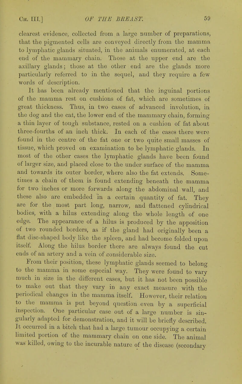 clearest evidence, collected from a large number of preparations, that the pigmented cells are conveyed directly from the mamma to lymphatic glands situated, in the animals enumerated, at each end of the mammary chain. Those at the upper end are the axillary glands; those at the other end are the glands more particularly referred to in the sequel, and they require a few words of description. It has been already mentioned that the inguinal portions of the mamma rest on cushions of fat, which are sometimes of great thickness. Thus, in two cases of advanced involution, in the dog and the cat, the lower end of the mamma,ry chain, forming a thin layer of tough substance, rested on a cushion of fat about three-fourths of an inch thick. In each of the cases there were found in the centre of the fat one or two quite small masses of tissue, which proved on examination to be lymphatic glands. In most of the other cases the lymphatic glands have been found of larger size, and placed close to the under surface of the mamma and towards its outer border, where also the fat extends. Some- times a chain of them is found extending beneath the mamma for two inches or more forwards along the abdominal wall, and these also are embedded in a certain quantity of fat. They are for the most part long, narrow, and flattened cylindrical bodies, with a hilus extending along the whole length of one edge. The appearance of a hilus is produced by the apposition of two rounded borders, as if the gland had originally been a flat disc-shaped body like the spleen, and had become folded upon itself Along the hilus border there are always found the cut ends of an artery and a vein of .considerable size. From their position, these lymphatic glands seemed to belong to the mamma in some especial way. They were found to vary much in size in the different cases, but it has not been possible to make out that they vary in any exact measure with the periodical changes in the mamma itself. However, their relation to the mamma is put beyond question even by a superficial inspection. One particular case out of a large number is sin- gularly adapted for demonstration, and it will be briefly described. It occurred in a bitch that had a large tumour occupying a certain limited portion of the mammary chain on one side. The animal was killed, owing to the incurable nature of the disease (secondary
