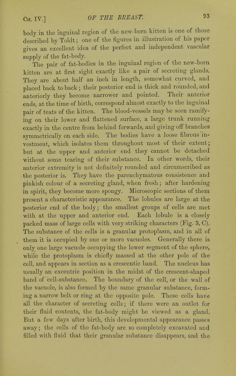 body in the inguinal region of the new-born kitten is one of those described by Toldt; one of the figures in illustration of his paper gives an excellent idea of the perfect and independent vascular supply of the fat-body. The pair of fat-bodies in the inguinal region of the new-born kitten are at first sight exactly like a pair of secreting glands. They are about half an inch in length, somewhat curved, and placed back to back; their posterior end is thick and rounded, and anteriorly they become narrower and pointed. Their anterior ends, at the time of birth, correspond almost exactly to the inguinal pair of teats of the kitten. The blood-vessels may be seen ramify- ing on their lower and flattened surface, a large trunk running exactly in the centre from behind forwards, and giving off branches symmetrically on each side. The bodies have a loose fibrous in- vestment, which isolates them throughout most of their extent; but at the upper and anterior end they cannot be detached without some tearing of their substance. In other words, their anterior extremity is not definitely rounded and circumscribed as the posterior is. They have the parenchymatous consistence and pinkish colour of a secreting gland, when fresh; after hardening in spirit, they become more spongy. Microscopic sections of them present a characteristic appearance. The lobules are large at the posterior end of the body; the smallest groups of cells are met with at the upper and anterior end. Each lobule is a closely packed mass of large cells with very striking characters (Fig. 3, C). The substance of the cells is a granular protoplasm, and in all of them it is occupied by one or more vacuoles. Generally there is only one large vacuole occupying the lower segment of the sphere, while the protoplasm is chiefly massed at the other pole of the cell, and appears in section as a crescentic band. The nucleus has usually an excentric position in the midst of the crescent-shaped band of cell-substance. The boundary of the cell, or the wall of the vacuole, is also formed by the same granular substance, form- ing a narrow belt or ring at the opposite pole. These cells have all the character of secreting cells; if there were an outlet for their fluid contents, the fat-body might be viewed as a gland. But a few days after birth, this developmental appearance passes away; the cells of the fat-body are so completely excavated and filled with fluid that their granular substance disappears, and the