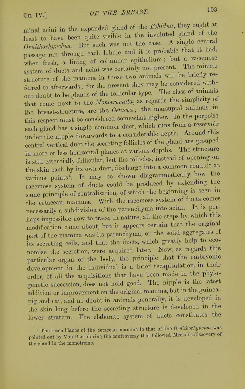 minal acini in the expanded gland of the ^c/«^«a tl-J ougM at least to have been quite visible in the involuted gland of the O^^Mynoln.. But such was not the case A sing ential passao-e ran through each lobule, and it is probable that it had, lhen°fresh, a linrng of columnar epithelium; but a racemes system of ducts and acini was certainly not present. The minute structure of the mamma in those two animals will be briefly re- ferred to afterwards; for the present they may be considered with- out doubt to be glands of the follicular type. The class of ammals that come next to the Monotremata, as regards the simplicity ot the breast-structure, are the Getacea; the marsupial animals _m this respect must be considered somewhat higher. In the porpoise each gland has a single common duct, which runs from a reservoir under the nipple downwards to a considerable depth. Around this central vertical duct the secreting follicles of the gland are grouped in more or less horizontal planes at various depths. Ihe structure is still essentially follicular, but the follicles, instead of opening on the skin each by its own duct, discharge into a common conduit at various points \ It may be shown diagrammatically how the racemose system of ducts could be produced by extending the same principle of centralisation, of which the beginning is seen in the cetacean mamma. With the racemose system of ducts comes necessarily a subdivision of the parenchyma into acmi. It is per- haps impossible now to trace, in nature, all the steps by which this modification came about, but it appears certain that the original part of the mamma was its parenchyma, or the solid aggregates of its secreting cells, and that the ducts, which greatly help to eco- nomise the secretion, were acquired later. Now, as regards this particular organ of the body, the principle that the embryonic development in the individual is a brief recapitulation, m their order, of all the acquisitions that have been made in the phylo- genetic succession, does not hold good. The nipple is the latest addition or improvement on the original mamma, but in the guinea- pig and cat, and no doubt in animals generally, it is developed in the skin long before the secreting structure is developed in the lower stratum. The elaborate system of ducts constitutes the ' 1 The resemblance of the cetacean mamma to that of the Ornithorhynchus was pointed out by Von Baer during the controversy that foUowed Meckel's discovery of the gland in the monotreme.