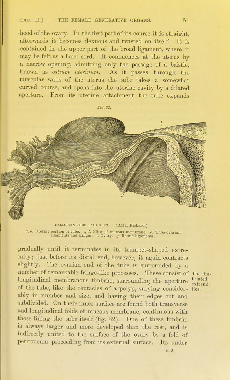 hood of the ovary. In the first part of its course it is straight, afterwards it becomes flexuous and twisted on itself. It is contained in the upper part of the broad ligament, where it may be felt as a hard cord. It commences at the uterus by a narrow opening, admitting only the passage of a bristle, known as ostium uterinum. As it passes through the muscular walls of the uterus the tube takes a somewhat curved course, and opens into the uterine cavity by a dilated aperture. From its uterine attachment the tube expands Fig. 32. fallopian' tube laid opes. (After Bicliard.) a, b. Uterine portion of tube, c, d. Plicte of mucous membrane, e. Tubo-ovarian ligaments and fringes. *. Ovary, y. Bound ligaments. gradually until it terminates in its trumpet-shaped extre- mity ; just before its distal end, however, it again contracts slightly. The ovarian end of the tube is surrounded by a number of remarkable fringe-like processes. These consist of The fim- longitudinal membranous fimbriae, surrounding the aperture ^tremi of the tube, like the tentacles of a polyp, varying consider- ties, ably in number and size, and having their edges cut and subdivided. On their inner surface are found both transverse and longitudinal folds of mucous membrane, continuous with those lining the tube itself (fig. 32). One of these fimbriae is always larger and more developed than the rest, and is indirectly united to the surface of the ovary by a fold of peritoneum proceeding from its external surface. Its under E 2