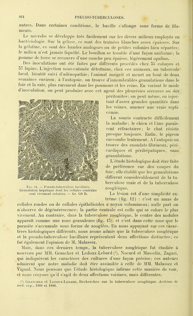 autres. Dans certaines conditions, le bacille s'allonge sous forme de fila- ments. Le microbe se développe très facilement sur les divers milieux employés en bactériologie. Sur la gélose, ce sont des traînées blanches assez épaisses. Sur la gélatine, ce sont des bandes analogues ou de petites colonies bien séparées; le milieu n'est jamais liquéfié. Le bouillon se trouble d'une façon uniforme; la pomme de terre se recouvre d'une couche peu épaisse, légèrement opaline. Des inoculations ont été faites par différents procédés chez 55 cobayes et 37 lapins. L'injection sous-cutanée détermine, chez ces animaux, un tubercule local, bientôt suivi d'adénopathie ; l'animal maigrit et meurt au bout de deux semaines environ; à l'autopsie, on trouve d'innombrables granulations dans le foie et la rate, plus rarement dans les poumons et les reins. En variant le mode d'inoculation, on peut produire avec cet agent des pleurésies séreuses ou des péritonites; on peut même, en injec- tant d'assez grandes quantités dans les veines, amener une vraie septi- cémie. La souris contracte difficilement la maladie ; le chien et l'âne parais- sent réfractaires ; le chat résiste presque toujours. Enfin, le pigeon succombe lentement. A l'autopsie on trouve des exsudats fibrineux, péri- cardiques et périhépatiques, sans granulations. L'étude histologique doit être faite de préférence sur des coupes du foie; elle établit que les granulations diffèrent considérablement de la tu- berculose vraie et de la tuberculose zoogléique. La lésion est d'une simplicité ex- trême (fig. 12) : c'est un amas de cellules rondes ou de cellules épithélioïdes à noyau volumineux; nulle part on n'observe de dégénérescence; la partie centrale est celle qui se colore le plus vivement. Au contraire, dans la tuberculose zoogléique, le centre des nodules apparaît comme une zone granuleuse (fig. 15), et c'est dans cette zone que le parasite s'accumule sous forme de zooglées. En nous appuyant sur ces carac- tères histologiques différents, nous avons admis que la tuberculose zoogléique et la pseudo-tuberculose bacillaire représentent deux affections distinctes; ce fut également l'opinion de M. Malassez. Mais, dans ces derniers temps, la tuberculose zoogléique fut étudiée à nouveau par MM. Grancher et Ledoux-Lebard ('), Nocard et Masselin, Zagari, qui indiquèrent les caractères des cultures d'une façon précise; ces auteurs admirent que notre maladie doit être assimilée à celle de MM. Malassez et Vignal. Nous pensons que l'étude histologique infirme cette manière de voir, et nous croyons qu'il s'agit de deux affections voisines, mais différentes. (M Oranchek et Ledoux-Lebard, Recherches sur la tuberculose zoogléique. Archives de méd. exp., 1889 et 1890. Fig. 12. — Pseudo-tuberculose bacillaire. Granulation hépatique dont les cellules centrales sont vivement colorées. — Gr. 150 D.