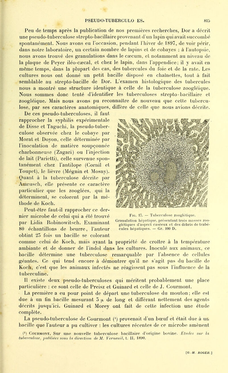 Peu de temps après la publication de nos premières recherches, Dor a décrit une pseudo-tuberculose strepto-bacillaire provenant d'un lapin qui avait succombé spontanément. Nous avons eu l'occasion, pendant l'hiver de 1897, de voir périr, dans notre laboratoire, un certain nombre de lapins et de cobayes : à l'autopsie, nous avons trouvé des granulations dans le cœcum, et notamment au niveau de la plaque de Peyer iléo-csecal, et chez le lapin, dans l'appendice; il y avait en même temps, dans la plupart des cas, des tubercules du foie et de la rate. Les cultures nous ont donné un petit bacille disposé en chaînettes, tout à fait semblable au strepto-bacille de Dor. L'examen histologique des tubercules nous a montré une structure identique à celle de la tuberculose zoogléique. Nous sommes donc tenté d'identifier les tuberculoses strepto-bacillaire et zoogléique. Mais nous avons pu reconnaître de nouveau que cette tubercu- lose, par ses caractères anatomiques, diffère de celle que nous avions décrite. De ces pseudo-tuberculoses, il faut rapprocher la syphilis expérimentale de Disse et Taguchi, la pseudo-tuber- culose observée chez le cobaye par Morat et Doyon, celle déterminée par l'inoculation de matière soupçonnée charbonneuse (Zagari) ou l'injection de lait (Parietti), celle survenue spon- tanément chez l'antilope (Cornil et Toupet), le lièvre (Mégnin et Mosny). Quant à la tuberculose décrite par Amrusch, elle présente ce caractère particulier que les zooglées, qui la déterminent, se colorent par la mé- thode de Koch. Peut-être faut-il rapprocher ce der- nier microbe de celui qui a été trouvé par Lidia Robinowitsch. Examinant 80 échantillons de beurre, l'auteur obtint 23 fois un bacille se colorant comme celui de Koch, mais ayant la propriété de croître à la température ambiante et de donner de l'indol dans les cultures. Inoculé aux animaux, ce bacille détermine une tuberculose remarquable par l'absence de cellules géantes. Ce qui tend encore à démontrer qu'il ne s'agit pas du bacille de Koch, c'est que les animaux infectés ne réagissent pas sous l'influence de la tuberculine. Il existe deux pseudo-tuberculoses qui méritent probablement une place particulière : ce sont celle de Preisz et Guinard et celle de J. Courmont. La première a eu pour point de départ une tuberculose du mouton; elle est due à un fin bacille mesurant o p. de long et différant nettement des agents décrits jusqu'ici. Guinard et Morey ont fait de cette infection une étude complète. La pseudo-tuberculose de Courmont (') provenait d'un bœuf et était due à un bacille que l'auteur a pu cultiver : les cultures récentes de ce microbe amènent (') Courmont, Sur une nouvelle tuberculose bacillaire d'origine bovine. Études sur la tuberculose, publiées sous la direction de M. Verneuil, t. II, 1890. Fie. lô. — Tuberculose zooglétique. Granulation hépatique, présentant trois masses zoo- glétiques d'aspect caséeux et des débris de trabé- cules hépatiques. — Gr. 100 D.