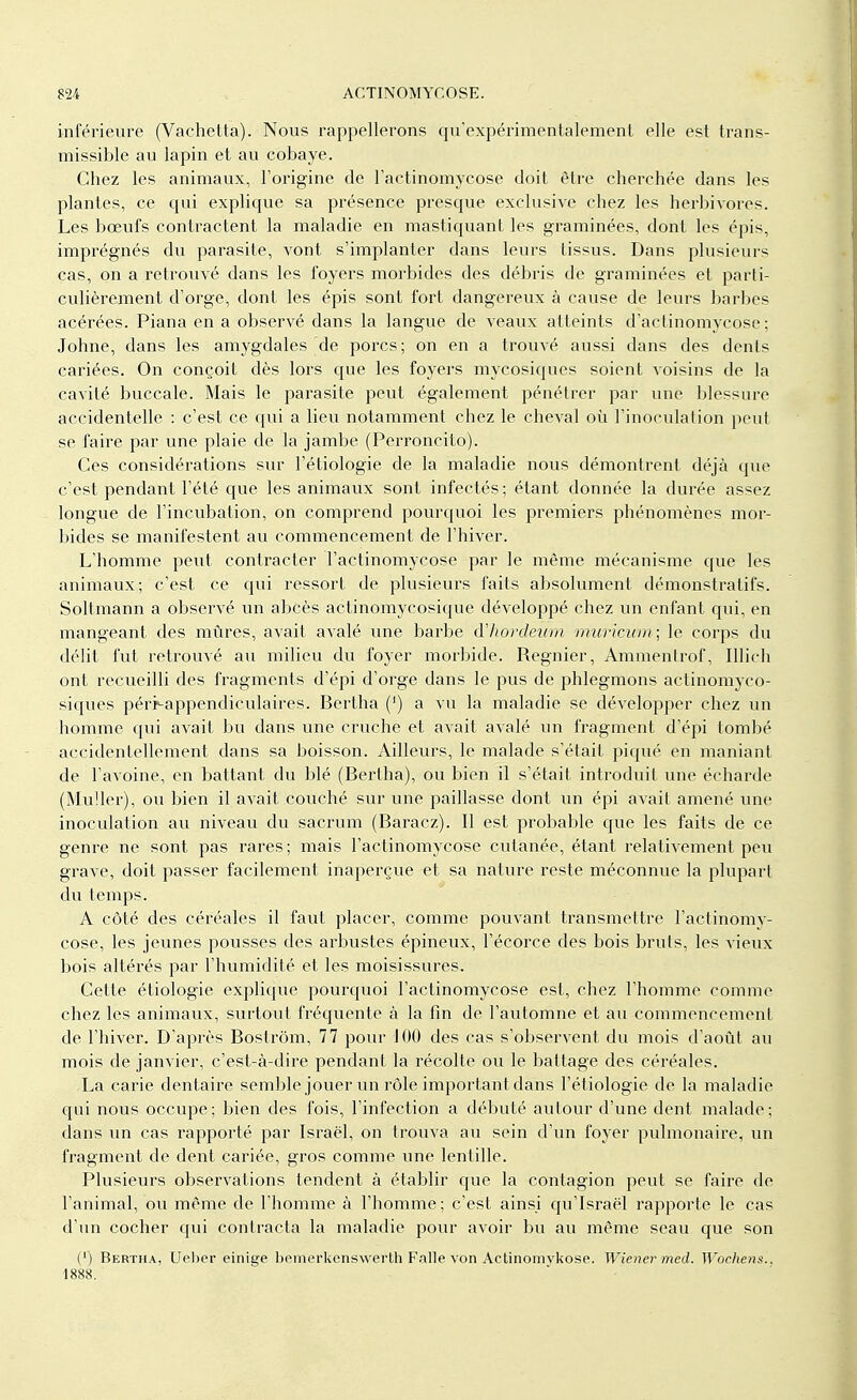 inférieure (Vaehetta). Nous rappellerons qu'expérimentalement elle est trans- missible au lapin et au cobaye. Chez les animaux, l'origine de l'actinomycose doit être cherchée dans les plantes, ce qui explique sa présence presque exclusive chez les herbivores. Les bœufs contractent la maladie en mastiquant les graminées, dont les épis, imprégnés du parasite, vont s'implanter dans leurs tissus. Dans plusieurs cas, on a retrouvé dans les foyers morbides des débris de graminées et parti- culièrement d'orge, dont les épis sont fort dangereux à cause de leurs barbes acérées. Piana en a observé dans la langue de veaux atteints d'aclinomycose ; Johne, dans les amygdales de porcs; on en a trouvé aussi dans des dents cariées. On conçoit dès lors que les foyers mycosiques soient voisins de la cavité buccale. Mais le parasite peut également pénétrer par une blessure accidentelle : c'est ce qui a lieu notamment chez le cheval où l'inoculation peut se faire par une plaie de la jambe (Perroncito). Ces considérations sur l'étiologie de la maladie nous démontrent déjà que c'est pendant l'été que les animaux sont infectés; étant donnée la durée as«ez longue de l'incubation, on comprend pourquoi les premiers phénomènes mor- bides se manifestent au commencement de l'hiver. L'homme peut contracter l'actinomycose par le même mécanisme que les animaux; c'est ce qui ressort de plusieurs faits absolument démonstratifs. Soltmann a observé un abcès actinomycosique développé chez un enfant qui, en mangeant des mûres, avait avalé une barbe à'hordeum muricum ; le corps du délit fut retrouvé au milieu du foyer morbide. Régnier, Ammenlrof, Illich ont recueilli des fragments d'épi d'orge dans le pus de phlegmons actinomyco- siques pér^appencliculaires. Bertha (]) a vu la maladie se développer chez un homme qui avait bu dans une cruche et avait avalé un fragment d'épi tombé accidentellement dans sa boisson. Ailleurs, le malade s'était piqué en maniant de l'avoine, en battant du blé (Bertha), ou bien il s'était introduit une écharde (Muller), ou bien il avait couché sur une paillasse dont un épi avait amené une inoculation au niveau du sacrum (Baracz). Il est probable que les faits de ce genre ne sont pas rares; mais l'actinomycose cutanée, étant relativement peu grave, doit passer facilement inaperçue et sa nature reste méconnue la plupart du temps. A côté des céréales il faut placer, comme pouvant transmettre l'actinomy- cose, les jeunes pousses des arbustes épineux, l'écorce des bois bruts, les vieux bois altérés par l'humidité et les moisissures. Cette étiologie explique pourquoi l'actinomycose est, chez l'homme comme chez les animaux, surtout fréquente à la fin de l'automne et au commencement de l'hiver. D'après Bostrôm, 77 pour 100 des cas s'observent du mois d'août au mois de janvier, c'est-à-dire pendant la récolte ou le battage des céréales. La carie dentaire semble jouer un rôle important dans l'étiologie de la maladie qui nous occupe; bien des fois, l'infection a débuté autour d'une dent malade; dans un cas rapporté par Israël, on trouva au sein d'un foyer pulmonaire, un fragment de dent cariée, gros comme une lentille. Plusieurs observations tendent à établir que la contagion peut se faire de l'animal, ou même de l'homme à l'homme; c'est ainsi qu'Israël rapporte le cas d'un cocher qui contracta la maladie pour avoir bu au même seau que son (') Bertha, Ueber einige bemerkenswerth Falle von Actinomvkose. Wiener med. Wochens., 1888.