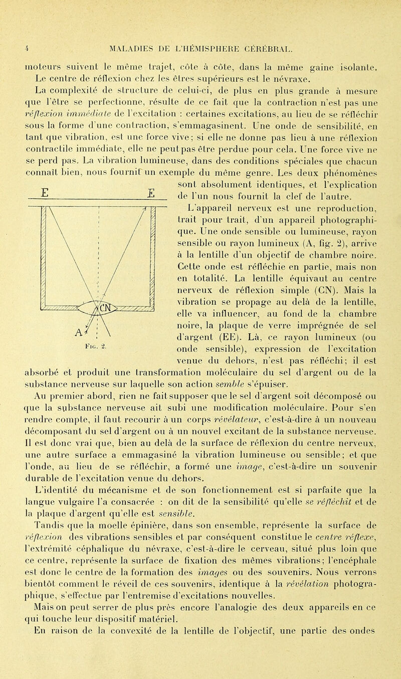 moteurs suivent le même trajet, côte à côte, dans la même gaine isolante. Le centre de réflexion chez les êtres supérieurs est le névraxe. La complexité de structure de celui-ci, de plus en plus grande à mesure que l'être se perfectionne, résulte de ce fait que la contraction n'est pas une réflexion immédiate de l'excitation : certaines excitations, au lieu de se réfléchir sous la forme d'une contraction, s'emmagasinent. Une onde de sensibilité, en tant que vibration, est une force vive; si elle ne donne pas lieu à une réflexion contractile immédiate, elle ne peut pas être perdue pour cela. Une force vive ne se perd pas. La vibration lumineuse, dans des conditions spéciales que chacun connaît bien, nous fournit un exemple du même genre. Les deux phénomènes sont absolument identiques, et l'explication —^ ^ de l'un nous fournit la clef de l'autre. L'appareil nerveux est une reproduction, trait pour trait, d'un appareil photographi- que. Une onde sensible ou lumineuse, rayon sensible ou rayon lumineux (A, fig. 2), arrive à la lentille d'un objectif de chambre noire. Cette onde est réfléchie en partie, mais non en totalité. La lentille équivaut au centre nerveux de réflexion simple (CN). Mais la vibration se propage au delà de la lentille, elle va influencer, au fond de la chambre noire, la plaque de verre imprégnée de sel d'argent (EE). Là, ce rayon lumineux (ou onde sensible), expression de l'excitation venue du dehors, n'est pas réfléchi ; il est absorbé et produit une transformation moléculaire du sel d'argent ou de la substance nerveuse sur laquelle son action semble s'épuiser. Au premier abord, rien ne fait supposer que le sel d'argent soit décomposé ou que la substance nerveuse ait subi une modification moléculaire. Pour s'en rendre compte, il faut recourir à un corps révélateur, c'est-à-dire à un nouveau décomposant du sel d'argent ou à un nouvel excitant de la substance nerveuse. Il est donc vrai que, bien au delà de la surface de réflexion du centre nerveux, une autre surface a emmagasiné la vibration lumineuse ou sensible; et que l'onde, au lieu de se réfléchir, a formé une image, c'est-à-dire un souvenir durable de l'excitation venue du dehors. L'identité du mécanisme et de son fonctionnement est si parfaite que la langue vulgaire l'a consacrée : on dit de la sensibilité qu'elle se réfléchit et de la plaque d'argent qu'elle est sensible. Tandis que la moelle épinière, dans son ensemble, représente la surface de réflexion des vibrations sensibles et par conséquent constitue le centre réflexe, l'extrémité céphalique du névraxe, c'est-à-dire le cerveau, situé plus loin que ce centre, représente la surface de fixation des mêmes vibrations; l'encéphale est donc le centre de la formation des images ou des souvenirs. Nous verrons bientôt comment le réveil de ces souvenirs, identique à la révélation photogra- phique, s'effectue par l'entremise d'excitations nouvelles. Mais on peut serrer de plus près encore l'analogie des deux appareils en ce qui touche leur dispositif matériel. En raison de la convexité de la lentille de l'objectif, une partie des ondes Fig. 2.