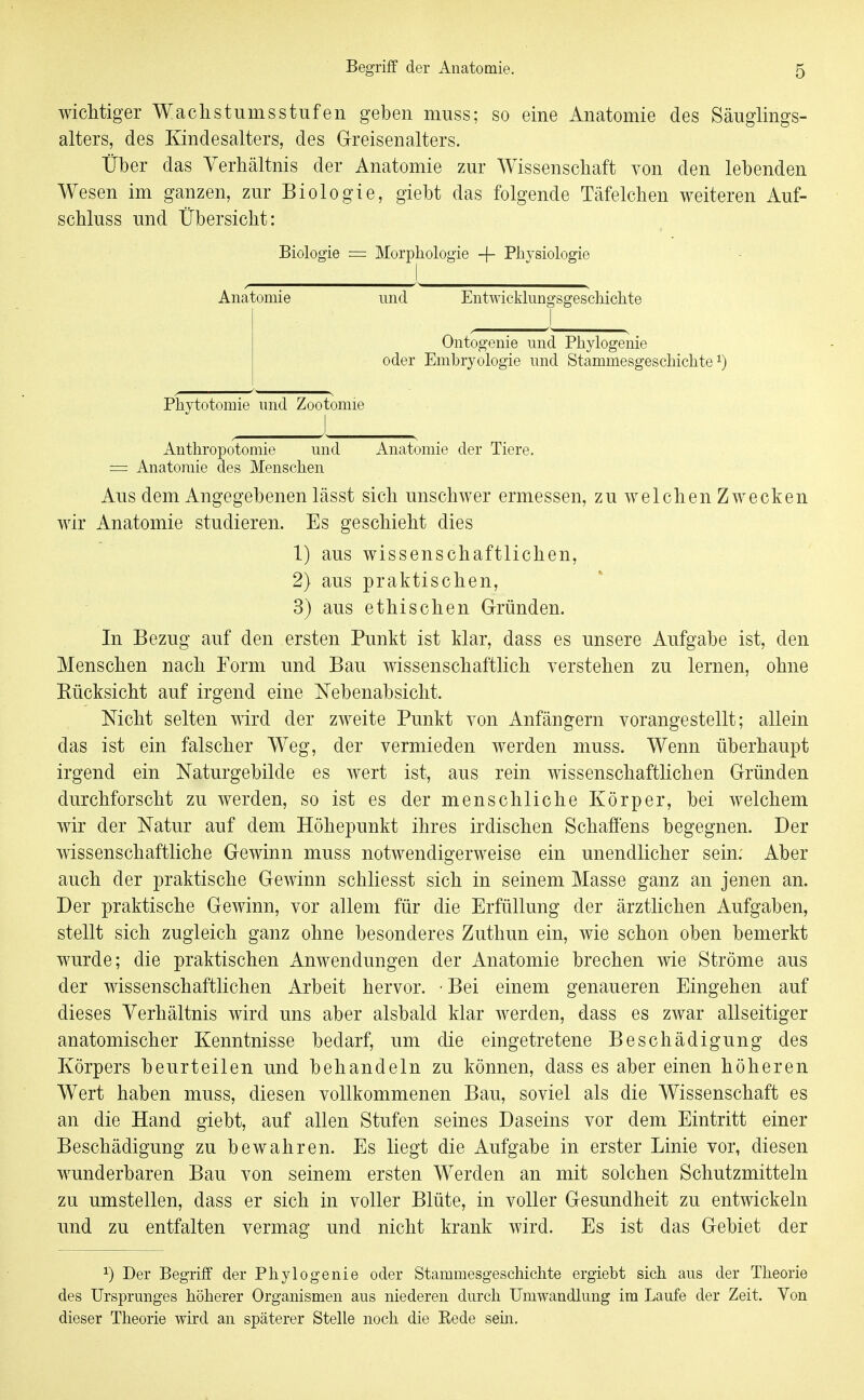 wichtiger Wachstumsstufen geben muss; so eine Anatomie des Säuglings- alters, des Kindesalters, des G-reisenalters. Über das Verhältnis der Anatomie zur Wissenschaft von den lebenden Wesen im ganzen, zur Biologie, giebt das folgende Täfelchen weiteren Auf- schluss und Übersicht: Biologie = Morphologie + Physiologie Anatomie und Entwicklungsgeschichte ^ ^1 ^ Ontogenie und Phylogenie oder Embryologie und Stammesgeschichte Phytotomie und Zootomie Anthropotomie und Anatomie der Tiere. = Anatomie des Menschen Aus dem Angegebenen lässt sich unschwer ermessen, zu welchen Zwecken wir Anatomie studieren. Es geschieht dies 1) aus wissenschaftlichen, 2} aus praktischen, 3) aus ethischen Gfründen. In Bezug auf den ersten Punkt ist klar, dass es unsere Aufgabe ist, den Menschen nach Form und Bau wissenschaftlich verstehen zu lernen, ohne Rücksicht auf irgend eine Nebenabsicht. Mcht selten wird der zweite Punkt von Anfängern vorangestellt; allein das ist ein falscher Weg, der vermieden werden muss. Wenn überhaupt irgend ein Naturgebilde es wert ist, aus rein wissenschaftlichen Gründen durchforscht zu werden, so ist es der menschliche Körper, bei welchem wir der Natur auf dem Höhepunkt ihres irdischen Schaffens begegnen. Der wissenschaftliche Gewinn muss notwendigerweise ein unendlicher sein: Aber auch der praktische Gewinn schliesst sich in seinem Masse ganz an jenen an. Der praktische Gewinn, vor allem für die Erfüllung der ärztlichen Aufgaben, stellt sich zugleich ganz ohne besonderes Zuthun ein, wie schon oben bemerkt wurde; die praktischen Anwendungen der Anatomie brechen wie Ströme aus der wissenschaftlichen Arbeit hervor. • Bei einem genaueren Eingehen auf dieses Verhältnis wird uns aber alsbald klar werden, dass es zwar allseitiger anatomischer Kenntnisse bedarf, um die eingetretene Beschädigung des Körpers beurteilen und behandeln zu können, dass es aber einen höheren Wert haben muss, diesen vollkommenen Bau, soviel als die Wissenschaft es an die Hand giebt, auf allen Stufen seines Daseins vor dem Eintritt einer Beschädigung zu bewahren. Es liegt die Aufgabe in erster Linie vor, diesen wunderbaren Bau von seinem ersten Werden an mit solchen Schutzmitteln zu umstellen, dass er sich in voller Blüte, in voller Gesundheit zu entwickeln und zu entfalten vermag und nicht krank wird. Es ist das Gebiet der 1) Der Begriff der Phylogenie oder Stammesgeschichte ergiebt sich aus der Theorie des Ursprunges höherer Organismen aus niederen durch Umwandlung im Laufe der Zeit. Von dieser Theorie wird an späterer Stelle noch die Rede sem.