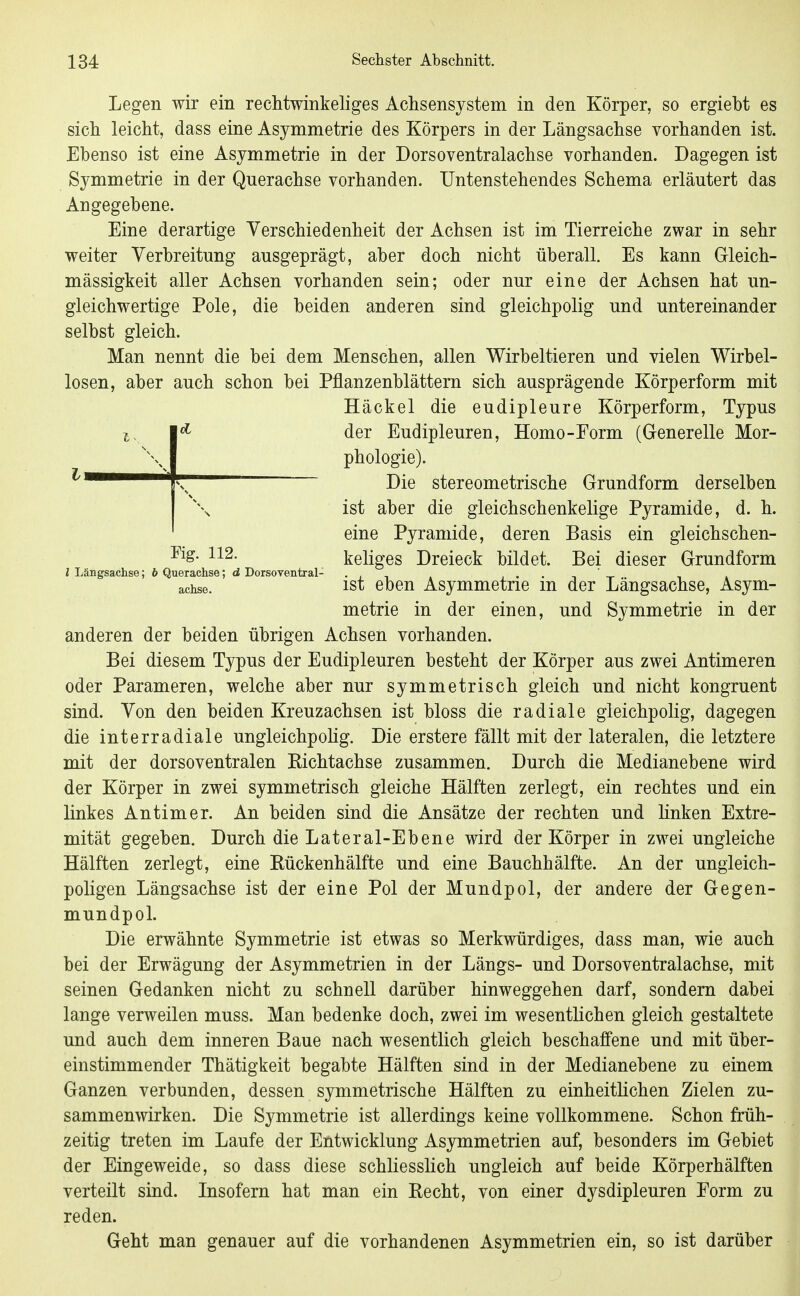 Legen wir ein rechtwinkeliges Achsensystem in den Körper, so ergiebt es sich leicht, dass eine Asymmetrie des Körpers in der Längsachse vorhanden ist. Ebenso ist eine Asymmetrie in der Dorsoventralachse vorhanden. Dagegen ist Symmetrie in der Querachse vorhanden. Untenstehendes Schema erläutert das Angegebene. Eine derartige Verschiedenheit der Achsen ist im Tierreiche zwar in sehr weiter Verbreitung ausgeprägt, aber doch nicht überall. Es kann Gleich- mässigkeit aller Achsen vorhanden sein; oder nur eine der Achsen hat un- gleichwertige Pole, die beiden anderen sind gleichpolig und untereinander selbst gleich. Man nennt die bei dem Menschen, allen Wirbeltieren und vielen Wirbel- losen, aber auch schon bei Pflanzenblättern sich ausprägende Körperform mit Häckel die eudipleure Körperform, Typus der Eudipleuren, Homo-Form (Generelle Mor- phologie). Die stereometrische Grundform derselben ist aber die gleichschenkelige Pyramide, d. h. eine Pyramide, deren Basis ein gleichschen- ^^S- 112. keliges Dreieck bildet. Bei dieser Grundform l Längsachse; b Querachse; d Dorsoventral- .j, ' achse. ist eben Asymmetrie m der Längsachse, Asym- metrie in der einen, und Symmetrie in der anderen der beiden übrigen Achsen vorhanden. Bei diesem Typus der Eudipleuren besteht der Körper aus zwei Antimeren oder Parameren, welche aber nur symmetrisch gleich und nicht kongruent sind. Von den beiden Kreuzachsen ist bloss die radiale gleichpolig, dagegen die interradiale ungleichpoHg. Die erstere fällt mit der lateralen, die letztere mit der dorsoventralen Kichtachse zusammen. Durch die Medianebene wird der Körper in zwei symmetrisch gleiche Hälften zerlegt, ein rechtes und ein linkes Antimer. An beiden sind die Ansätze der rechten und linken Extre- mität gegeben. Durch die Lateral-Ebene wird der Körper in zwei ungleiche Hälften zerlegt, eine Eückenhälfte und eine Bauchhälffce. An der ungleich- poligen Längsachse ist der eine Pol der Mundpol, der andere der Gegen- mundpol. Die erwähnte Symmetrie ist etwas so Merkwürdiges, dass man, wie auch bei der Erwägung der Asymmetrien in der Längs- und Dorsoventralachse, mit seinen Gedanken nicht zu schnell darüber hinweggehen darf, sondern dabei lange verweilen muss. Man bedenke doch, zwei im wesentKchen gleich gestaltete und auch dem inneren Baue nach wesentlich gleich beschaffene und mit über- einstimmender Thätigkeit begabte Hälften sind in der Medianebene zu einem Ganzen verbunden, dessen symmetrische Hälften zu einheitlichen Zielen zu- sammenwirken. Die Symmetrie ist allerdings keine vollkommene. Schon früh- zeitig treten im Laufe der Entwicklung Asymmetrien auf, besonders im Gebiet der Eingeweide, so dass diese schliesslich ungleich auf beide Körperhälften verteilt sind. Insofern hat man ein Recht, von einer dysdipleuren Form zu reden. Geht man genauer auf die vorhandenen Asymmetrien ein, so ist darüber