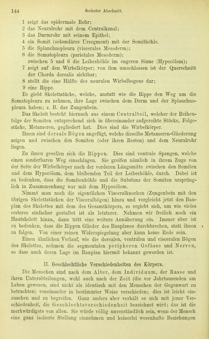 1 zeigt das epidermale Eohr; 2 das Xeuralrohr mit dem Centralkanal; 3 das Darmrohr mit seinem Epithel; 4 ein Somit (sebmdäres Ursegment) mit der Somithöhle. 5 die Splanchnopleura (viscerales Mesoderm); 6 die Somatopleura (parietales Mesoderm); zwischen 5 und 6 die Leibeshöhle im engeren Sinne (Hypocölom); 7 zeigt auf den Wirbelkörper; von ihm umschlossen ist der Querschnitt der Chorda dorsalis sichtbar; 8 stellt die eine Hälfte des neuralen Wirbelbogens dar; 9 eine Rippe. Es giebt Skelettstücke, welche, anstatt wie die Rippe den Weg um die Somatopleura zu nehmen, ihre Lage zwischen dem Darm und der Splanchno- pleura haben; z. B. das Zungenbein. Das Skelett besteht hiemach aus einem Centraiteil, welcher der Reihen- folge der Somiten entsprechend sich in übereinander aufgereihte Stücke, Eolge- stücke, Metameren, gegliedert hat. Dies sind die Wirbelkörper. Ihnen sind dorsale Bögen angefügt, welche dieselbe Metameren-Gliederung zeigen und zwischen den Somiten (oder ihren Resten) und dem Xeuralrohr liegen. Zu ihnen gesellen sich die Rippen. Dies sind ventrale Spangen, welche einen sonderbaren Weg einschlagen. Sie greifen nämlich in ihrem Zuge von der Seite der Wirbelkörper nach der vorderen Längsmitte zwischen den Somiten und dem Hypocölom, dem bleibenden Teil der Leibeshöhle, durch. Dabei ist zu bedenken, dass die Somitenhöhle und die Substanz der Somiten ursprüng- lich in Zusammenhang war mit dem Hypocölom. Nimmt man noch die eigentlichen Yisceralknochen (Zungenbein mit den übrigen Skelettstücken der Yisceralbögen) hinzu und vergleicht jetzt den Bau- plan des Skelettes mit dem des Gesamtkörpers, so ergiebt sich, um wie vieles ersteres einfacher gestaltet ist als letzterer. Nehmen wir freilich noch ein Hautskelett hinzu, dann tritt eine weitere Annäherung ein. Lnmer aber ist zu bedenken, dass die Rippen Glieder des Bauplanes durchbrechen, statt ihnen » zu folgen. Yon einer reinen Widerspiegelung aber kann keine Rede sein. Einen ähnlichen Verlauf, wie die dorsalen, ventralen und visceralen Bögen des Skelettes, nehmen die segmentalen peripheren Gefässe und Nerven, so dass auch deren Lage im Bauplan hiermit bekannt geworden ist. LT. Geschlechtliche Verschiedenheiten des Körpers. Die Menschen sind nach dem Alter, dem Individuum, der Rasse und ihren Unterabteilungen, wohl auch nach der Zeit (die vor Jahrtausenden am Leben gewesen, sind nicht als identisch mit den Menschen der Gegenwart zu betrachtenj voneinander in bestimmter Weise verschieden; dies ist leicht ein- zusehen und zu begreifen. Ganz anders aber verhält es sich mit jener Ver- schiedenheit, die Geschlechtsverschiedenheit bezeichnet wird; das ist die merkw^digste von allen. Sie würde völlig unverständHch sein, wenn der Mensch eine ganz isoherte Stellung einnehmen und keinerlei wesenhafte Beziehungen
