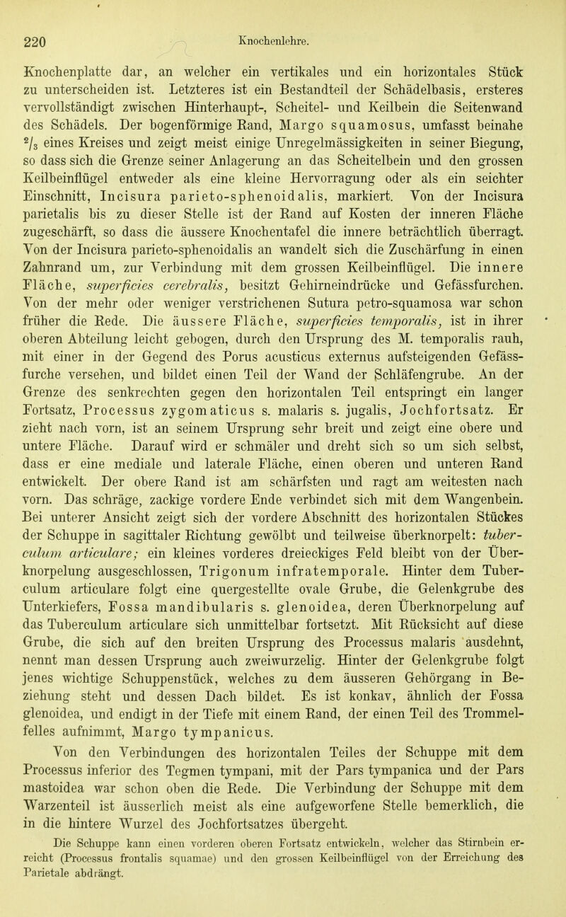 Knochenplatte dar, an welcher ein vertikales und ein horizontales Stück zu unterscheiden ist. Letzteres ist ein Bestandteil der Schädelbasis, ersteres vervollständigt zwischen Hinterhaupt-, Scheitel- und Keilbein die Seitenwand des Schädels. Der bogenförmige Rand, Marge squamosus, umfasst beinahe 2/3 eines Kreises und zeigt meist einige Unregelmässigkeiten in seiner Biegung, so dass sich die Grenze seiner Anlagerung an das Scheitelbein und den grossen Keilbeinflügel entweder als eine kleine Hervorragung oder als ein seichter Einschnitt, Incisura parieto-sphenoidalis, markiert. Yon der Incisura parietalis bis zu dieser Stelle ist der Rand auf Kosten der inneren Fläche zugeschärft, so dass die äussere Knochentafel die innere beträchtlich überragt. Von der Incisura parieto-sphenoidalis an wandelt sich die Zuschärfung in einen Zahnrand um, zur Verbindung mit dem grossen Keilbeinflügel. Die innere Fläche, superficies cerehralis, besitzt Gehirneindrücke und Gefässfurchen. Von der mehr oder weniger verstrichenen Sutura petro-squamosa war schon früher die Rede. Die äussere Fläche, superficies temporalis, ist in ihrer oberen Abteilung leicht gebogen, durch den Ursprung des M. temporalis rauh, mit einer in der Gegend des Perus acusticus externus aufsteigenden Gefäss- furche versehen, und bildet einen Teil der Wand der Schläfengrube. An der Grenze des senkrechten gegen den horizontalen Teil entspringt ein langer Fortsatz, Processus zygomaticus s. malaris s. jugalis, Jochfortsatz. Er zieht nach vorn, ist an seinem Ursprung sehr breit und zeigt eine obere und untere Fläche. Darauf wird er schmäler und dreht sich so um sich selbst, dass er eine mediale und laterale Fläche, einen oberen und unteren Rand entwickelt. Der obere Rand ist am schärfsten und ragt am weitesten nach vorn. Das schräge, zackige vordere Ende verbindet sich mit dem Wangenbein. Bei unterer Ansicht zeigt sich der vordere Abschnitt des horizontalen Stückes der Schuppe in sagittaler Richtung gewölbt und teilweise überknorpelt: tuher- culum articulare; ein kleines vorderes dreieckiges Feld bleibt von der Über- knorpelung ausgeschlossen, Trigonum infratemporale. Hinter dem Tuber- culum articulare folgt eine quergestellte ovale Grube, die Gelenkgrube des Unterkiefers, Fossa mandibularis s. glenoidea, deren Überknorpelung auf das Tuberculum articulare sich unmittelbar fortsetzt. Mit Rücksicht auf diese Grube, die sich auf den breiten Ursprung des Processus malaris ausdehnt, nennt man dessen Ursprung auch zweiwurzelig. Hinter der Gelenkgrube folgt jenes wichtige Schuppenstück, welches zu dem äusseren Gehörgang in Be- ziehung steht und dessen Dach bildet. Es ist konkav, ähnlich der Fossa glenoidea, und endigt in der Tiefe mit einem Rand, der einen Teil des Trommel- felles aufnimmt, Marge tympanicus. Von den Verbindungen des horizontalen Teiles der Schuppe mit dem Processus inferior des Tegmen tjmpani, mit der Pars tympanica und der Pars mastoidea war schon oben die Rede. Die Verbindung der Schuppe mit dem Warzenteil ist äusserlich meist als eine aufgeworfene Stelle bemerklich, die in die hintere Wurzel des Jochfortsatzes übergeht. Die Schuppe kann einen vorderen oberen Fortsatz entwickeln, welcher das Stirnbein er- reicht (Processus frontalis squamae) und den gi'ossen Keilbeinflügel von der Erreichung des Parietale abdrängt.