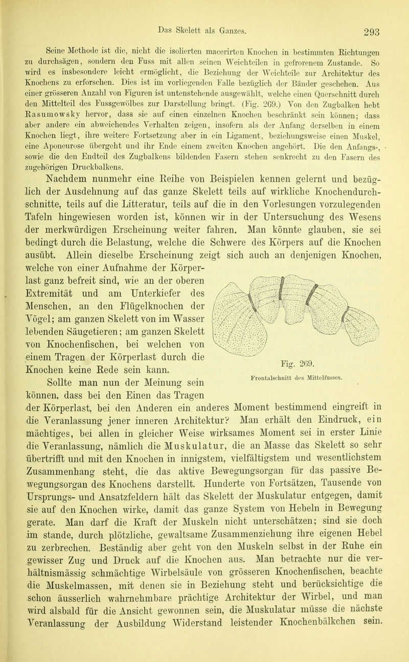 Seine Methode ist die, nicht die isoherten macerirten Knochen in bestimmten Eichtungen zu durchsägen, sondern den Fuss mit allen seinen Weichteilen in gefrorenem Zustande. So wird es insbesondere leicht ermöghcht, die Beziehung der Weichteile zur Architektur des Knochens zu erforschen. Dies ist im vorliegenden Falle bezüghch der Bänder geschehen. Aus einer grösseren Anzahl von Figuren ist untenstehende ausgewählt, welche einen Querschnitt durch den Mittelteil des Fussgewölbes zur Darstellung bringt. (Fig. 269.) Von den Zugbalken hebt Easumowsky hervor, dass sie auf einen einzelnen Knochen beschränkt sein können; dass aber andere ein abweichendes Verhalten zeigen, insofern als der Anfang derselben in einem Knochen liegt, ihre weitere Fortsetzung aber in ein Ligament, beziehungsweise einen Muskel, eine Aponeurose übergeht und ihr Ende einem zweiten Knochen angehört. Die den Anfangs-, - sowie die den Endteil des Zugbalkens bildenden Fasern stehen senkrecht zu den Fasern des zugehörigen Druckbalkens. Nachdem nunmehr eine Reihe von Beispielen kennen gelernt und bezüg- lich der Ausdehnung auf das ganze Skelett teils auf wirkliche Knochendurch- schnitte, teils auf die Litteratur, teils auf die in den Vorlesungen vorzulegenden Tafeln hingewiesen worden ist, können wir in der Untersuchung des Wesens der merkwürdigen Erscheinung weiter fahren. Man könnte glauben, sie sei bedingt durch die Belastung, welche die Schwere des Körpers auf die Knochen ausübt. Allein dieselbe Erscheinung zeigt sich auch an denjenigen Knochen, welche von einer Aufnahme der Körper- last ganz befreit sind, wie an der oberen Extremität und am Unterkiefer des Menschen, an den Elügelknochen der / ^ ^ Yögel; am ganzen Skelett von im Wasser j ^ i lebenden Säugetieren; am ganzen Skelett von Knochenfischen, bei welchen von einem Tras^en der Körperlast durch die TT 1. 1 • -D ^ -1 Fig. 269. Knochen keine Eede sem kann. ni 1 T»/r • • Froiitalschnitt des Mittelfusses. Sollte man nun der Memung sem können, dass bei den Einen das Tragen der Körperlast, bei den Anderen ein anderes Moment bestimmend eingreift in die Veranlassung jener inneren Architektur? Man erhält den Eindruck, ein mächtiges, bei allen in gleicher Weise wirksames Moment sei in erster Linie die Veranlassung, nämlich die Muskulatur, die an Masse das Skelett so sehr übertrifft und mit den Knochen in innigstem, vielfältigstem und wesentlichstem Zusammenhang steht, die das aktive Bewegungsorgan für das passive Be- wegungsorgan des Knochens darstellt. Hunderte von Fortsätzen, Tausende von Ursprungs- und Ansatzfeldern hält das Skelett der Muskulatur entgegen, damit sie auf den Knochen wirke, damit das ganze System von Hebeln in Bewegung gerate. Man darf die Kraft der Muskeln nicht unterschätzen; sind sie doch im Stande, durch plötzliche, gewaltsame Zusammenziehung ihre eigenen Hebel zu zerbrechen. Beständig aber geht von den Muskeln selbst in der Ruhe ein gewisser Zug und Druck auf die Knochen aus. Man betrachte nur die ver- hältnismässig schmächtige Wirbelsäule von grösseren Knochenfischen, beachte die Muskelmassen, mit denen sie in Beziehung steht und berücksichtige die schon äusserlich wahrnehmbare prächtige Architektur der Wirbel, und man wird alsbald für die Ansicht gewonnen sein, die Muskulatur müsse die nächste Veranlassung der Ausbildung Widerstand leistender Knochenbälkchen sein.