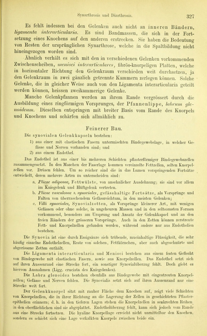SynartLrosis nnd Diarthrosis. Es fehlt indessen bei den Gelenken auch nicht an inneren Bändern, ligamenta interarticularia. Es sind Bandmassen, die sich in der Fort- setzung eines Knochens auf den anderen erstrecken. Sie haben die Bedeutung von Kesten der ursprünglichen Synarthrose, welche in die Spaltbildung nicht hineingezogen worden sind. Ähnlich verhält es sich mit den in verschiedenen Gelenken vorkommenden Zwischenscheiben, menisci interarticiilares, fibrös-knorpehgen Platten, welche in horizontaler Richtung den Gelenkraum verschieden weit durchsetzen, ja den Gelenkraum in zwei gänzlich getrennte Kammern zerlegen können. Solche Gelenke, die in gleicher Weise auch von den Ligamenta interarticularia geteilt werden können, heissen zweikammerige Gelenke. Manche Gelenkpfannen werden an ihrem Eande vergrössert durch die Ausbildung eines ringförmigen Vorsprunges, der Pfannenlippe, lahrmn gle- noideum. Dieselben entspringen mit breiter Basis vom Rande des Knorpels und Knochens und schärfen sich allmählich zu. Feinerer Bau. Die synovialen Gelenkkapseln bestehen: 1) aus einer mit elastischen Fasern untermischten Bindegewehslage, in welcher Ge- fässe und Nerven vorhanden sind; und 2) aus einem Endothel. Das Endothel ist aus einer his mehreren Schichten pflasterförmiger Bindegewebszellen zusammengesetzt. In den Maschen der Faserlage kommen vereinzelte Fettzellen, selten Knorpel- zellen vor. Drüsen fehlen. Um so reicher sind die in das Lumen vorspringenden Fortsätze entwickelt, deren mehrere Arten zu unterscheiden sind: a. Flicae adiposae, Fettwülste, von ansehnlicher Ausdehnung; sie sind vor allem iui Kniegelenk und Hüftgelenk vertreten. b. Flicae vascidosae s. synoviales, gefässhaltige Fortsätze, als Vorsprünge mid Falten von überraschendem Gefässreichtum, in den meisten Gelenken; c. Villi synoviales, Synovialzotten, als Vorsprüiige kleinerer Art, mit wenigen Gefässen oder ohne solche, in ungeheuren Massen und in den seltsamsten Formen vorkommend, besonders am Ursprung und Ansatz der Gelenkkapsel und an den freien Eändern der grösseren Vorsprünge. Auch in den Zotten können zerstreute Fett- und Knorpelzellen gefunden werden, während andere nur aus Endothelien bestehen. Die Synovia ist eine durch Essigsäure sich trübende, mucinhaltige Flüssigkeit, die sehr häufig einzelne EndothelzeUen, Eeste von solchen, Fettkörnchen, aber auch abgeschnürte und abgerissene Zotten enthält. Die Ligamenta interarticularia und Menisci bestehen aus einem festen Geflecht von Bindegewebe mit elastischen Fasern, sowie aus Knorpelzellen. Das Endothel setzt sich auf ihren Aussenrand eine Strecke fort, ein sonstiger Synovialüberzug fehlt. Doch giebt es hiervon Ausnahmen (Ligg, cruciata des Kniegelenkes). Die Labra glenoidea bestehen ebenfalls aus Bindegewebe mit eingestreuten Knorpel- zellen; Gefässe und Nerven fehlen. Die Synovialis setzt sich auf ihren Aussenrand nur eine Strecke weit fort. Der Gelenkknorpel sitzt mit rauher Fläche dem Knochen auf, zeigt viele Schichten von Knorpelzellen, die in ihrer Eichtung an die Lagerung der Zellen in geschichteten Pflaster- epithelien erinnern; d. h. in den tieferen Lagen stehen die Knorpelzellen in senkrechten Eeihen^ in den oberflächlichen sind sie abgeplattet. Endothelüberzug fehlt, kann sich jedoch vom Eande aus eine Strecke fortsetzen. Die hyaline Knorpellage erreicht nicht unmittelbar den Knochen, sondern es schiebt sich eine Lage verkalkten Knorpels zwischen beide ein.