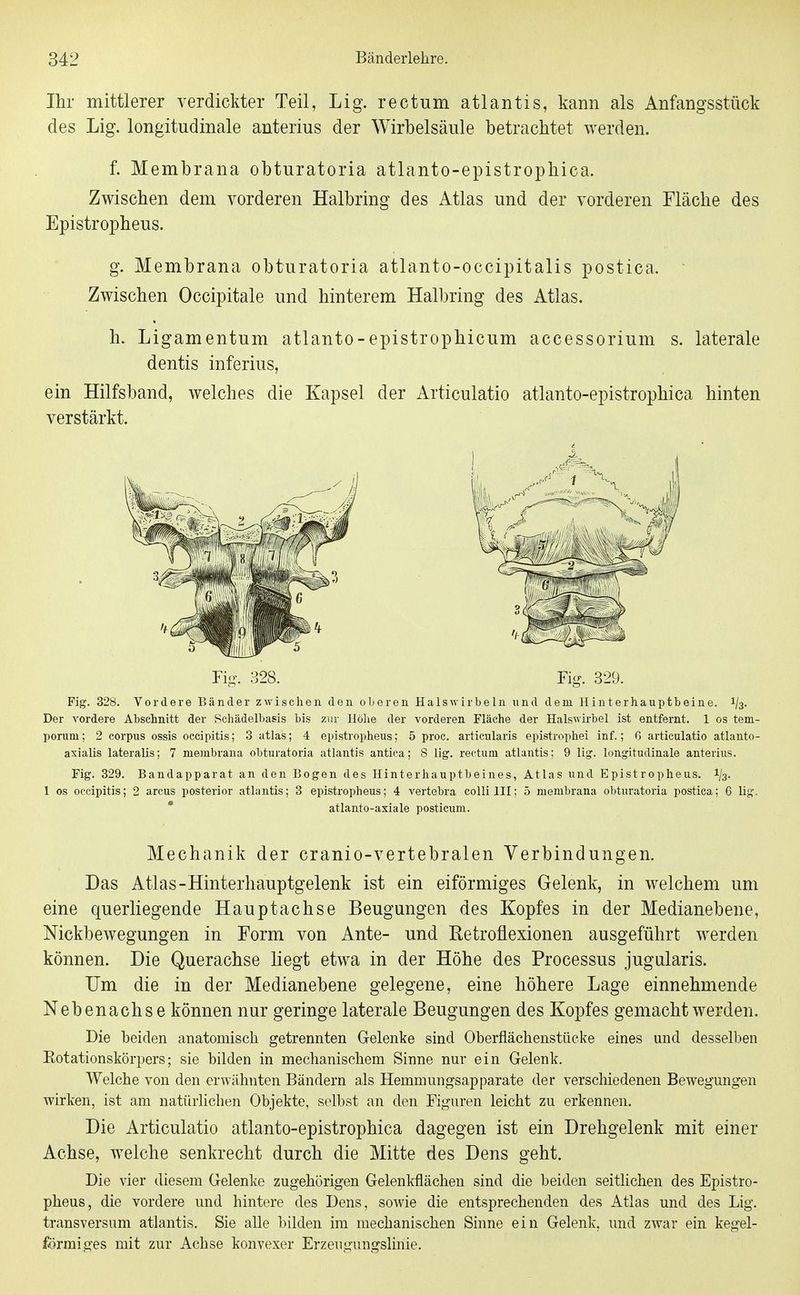 Ihr mittlerer verdickter Teil, Lig. rectum atlantis, kann als Anfangsstück des Lig. longitudinale anterius der Wirbelsäule betrachtet werden. f. Membrana obturatoria atlanto-epistrophica. Zwischen dem vorderen Halbring des Atlas und der vorderen Fläche des Epistropheus. g. Membrana obturatoria atlanto-occipitalis postica. Zwischen Occipitale und hinterem Halbring des Atlas. h. Ligamentum atlanto-epistrophicum accessorium s. laterale dentis inferius, ein Hilfsband, welches die Kapsel der Articulatio atlanto-epistrophica hinten verstärkt. Fig. 328. Fig. 329. Fig. 328. Vordere Bänder zwischen den oberen Halswirbeln und dem Hinterhauptbeine. 1/3. Der vordere Abschnitt der Schädelbasis bis zur Höhe der vorderen Fläche der Halswirbel ist entfernt. 1 os tem- poruni; 2 corpus ossis occipitis; Satlas; 4 epistropheus; 5 proc. articularis epistrophei inf.; ß articulatio atlanto- axialis lateralis; 7 membrana obturatoria atlantis antiea; 8 lig. rectum atlantis; 9 lig. longitudinale anterius. Fig. 329, Bandapparat an den Bogen des Hinterhauptbeines, Atlas und Epistropheus. 1/3. 1 os occipitis; 2 arcus posterior atlantis; 3 epistropheus; 4 vertebra colli III: 5 membrana obturatoria postica; 6 lig. * atlanto-axiale posticum. Mechanik der cranio-vertebralen Verbindungen. Das Atlas-Hinterhauptgelenk ist ein eiförmiges Gelenk, in welchem um eine querliegende Hauptachse Beugungen des Kopfes in der Medianebene, Nickbewegungen in Form von Ante- und Eetroflexionen ausgeführt werden können. Die Querachse liegt etwa in der Höhe des Processus jugularis. Um die in der Medianebene gelegene, eine höhere Lage einnehmende Nebenachse können nur geringe laterale Beugungen des Kopfes gemacht werden. Die beiden anatomisch getrennten Gelenke sind Oberflächenstüeke eines und desselben Kotationskörpers; sie bilden in mechanischem Sinne nur ein Gelenk. Welche von den erwähnten Bändern als Hemmungsapparate der verschiedenen Bewegungen wirken, ist am natürlichen Objekte, selbst an den Figuren leicht zu erkennen. Die Articulatio atlanto-epistrophica dagegen ist ein Drehgelenk mit einer Achse, welche senkrecht durch die Mitte des Dens geht. Die vier diesem Gelenke zugehörigen Gelenkflächen sind die beiden seitlichen des Epistro- pheus, die vordere und hintere des Dens, sowie die entsprechenden des Atlas und des Lig. transversum atlantis. Sie alle bilden im mechanischen Sinne ein Gelenk, und zwar ein kegel- förmiges mit zur Achse konvexer Erzeugungslinie.