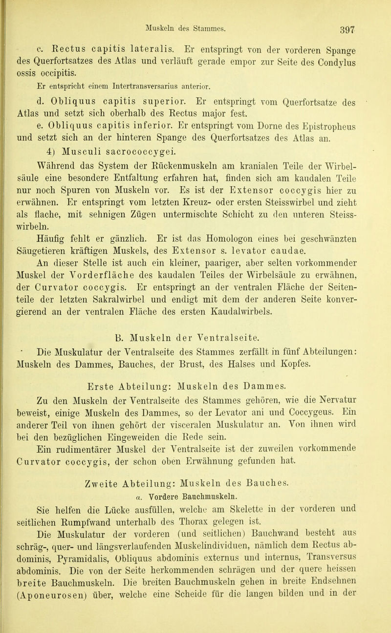 c. Rectus capitis lateralis. Er entspringt von der vorderen Spange des Querfortsatzes des Atlas und verläuft gerade empor zur Seite des Condylus ossis occipitis. Er entspricht einem Intertransversarius anterior. d. Obliquus capitis superior. Er entspringt vom Querfortsatze des Atlas und setzt sich oberhalb des Rectus major fest. e. Obliquus capitis inferior. Er entspringt vom Dorne des Epistropheus und setzt sich an der hinteren Spange des Querfortsatzes des Atlas an. 4) Musculi sacrococcygei. Während das System der Rückenmuskeln am kranialen Teile der Wirbel- säule eine besondere Entfaltung erfahren hat, finden sich am kaudalen Teile nur noch Spuren von Muskeln vor. Es ist der Extensor coccygis hier zu erwähnen. Er entspringt vom letzten Kreuz- oder ersten Steisswirbel und zieht als flache, mit sehnigen Zügen untermischte Schicht zu den unteren Steiss- wirbeln. Häufig fehlt er gänzlich. Er ist das Homologen eines bei geschwänzten Säugetieren kräftigen Muskels, des Extensor s. levator caudae. An dieser Stelle ist auch ein kleiner, paariger, aber selten vorkommender Muskel der Vorder fläche des kaudalen Teiles der Wirbelsäule zu erwähnen, der Curvator coccygis. Er entspringt an der ventralen Fläche der Seiten- teile der letzten Sakralwirbel und endigt mit dem der anderen Seite konver- gierend an der ventralen Fläche des ersten Kaudalwirbels. B. Muskeln der Ventralseite. Die Muskulatur der Ventralseite des Stammes zerfällt in fünf Abteilungen: Muskeln des Dammes, Bauches, der Brust, des Halses und Kopfes. Erste Abteilung: Muskeln des Dammes. Zu den Muskeln der Ventralseite des Stammes gehören, wie die Nervatur beweist, einige Muskeln des Dammes, so der Levator ani und Coccygeus. Ein anderer Teil von ihnen gehört der visceralen Muskulatur an. Von ihnen wird bei den bezüglichen Eingeweiden die Rede sein. Ein rudimentärer Muskel der Ventralseite ist der zuweilen vorkommende Curvator coccygis, der schon oben Erwähnung gefunden hat. Zweite Abteilung: Muskeln des Bauches. a. Vordere Bauchmuskeln. Sie helfen die Lücke ausfüllen, welche am Skelette in der vorderen und seithchen Rumpfwand unterhalb des Thorax gelegen ist. Die Muskulatur der vorderen (und seitlichen) Bauchwand besteht aus schräg-, quer- und längsverlaufenden Muskelindividuen, nämlich dem Rectus ab- dominis. Pyramidalis, Obliquus abdominis externus und internus, Transversus abdominis. Die von der Seite herkommenden schrägen und der quere heissen breite Bauchmuskeln. Die breiten Bauchmuskeln gehen in breite Endsehnen (Aponeurosenj über, welche eine Scheide für die langen bilden und in der