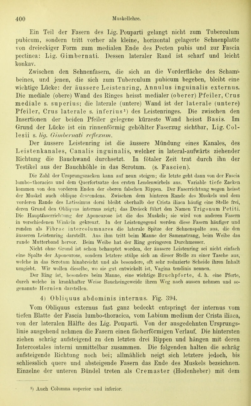 Ein Teil der Fasern des Lig. Pouparti gelangt nicht zum Tuberculum pubicum, sondern tritt vorher als kleine, horizontal gelagerte Sehnenplatte von dreieckiger Form zum medialen Ende des Pecten pubis und zur Fascia pectinea: Lig. Gimbernati. Dessen lateraler Rand ist scharf und leicht konkav. Zwischen den Sehnenfasern, die sich an die Vorderfläche des Scham- beines, und jenen, die sich zum Tuberculum pubicum begeben, bleibt eine wichtige Lücke: der äussere Leistenring, Annulus inguinalis externus. Die mediale (obere) Wand des Ringes heisst medialer (oberer) Pfeiler, Crus mediale s. superius; die laterale (untere) Wand ist der laterale (untere) Pfeiler, Crus laterale s. inferius^) des Leistenringes. Die zwischen den Insertionen der beiden Pfeiler gelegene kürzeste Wand heisst Basis. Im Grund der Lücke ist ein rinnenförmig gehöhlter Faserzug sichtbar, Lig. Col- le sii s. lig. Oimhernati reflexum. Der äussere Leistenring ist die äussere Mündung eines Kanales, des Leistenkanales, Canalis inguinalis, welcher in lateral-aufwärts ziehender Richtung die Bauchwand durchsetzt. In fötaler Zeit trat durch ihn der Testikel aus der Bauchhöhle in das Scrotum. (s. Faseien). Die Zahl der UrspruDgszacken kann auf neun steigen; die letzte geht dann von der Fascia lumbo-thoracica und dem Querfortsatze des ersten Lendenwirbels aus. Variable tiefe Zacken kommen von den vorderen Enden der oberen falschen Rippen. Der Faserrichtung wegen heisst der Muskel auch oblique dcscendens. Zwischen dem hinteren Eande des Muskels und dem vorderen Eande des Latissimus dorsi bleibt oberhalb der Crista iliaca häufig eine Stelle frei, deren Grund den Obnqiius internus zeigt; das Dreieck führt den Namen Trigonum Petiti. Die Hauptfaserriclitung der Aponeurose ist die des Muskels; sie wird von anderen Fasern in verschiedenen AVinkcln gekreuzt. In der Leistengegend werden diese Fasern häufiger und runden als Fibrae intercolumnares die laterale Spitze der Sehnenspalte aus, die den äusseren Leistenring darstellt. Aus ihm tritt beim Manne der Samenstrang, beim Weibe das runde Mutterband hervor. Beim Weibe hat der Eing geringeren Durchmesser. Nicht ohne Grund ist schon behauptet worden, der äussere Leistenring sei nicht einfach eine Spalte der Aponeurose, sondern letztere stülpe sich an dieser Stelle zu einer Tasche aus, welche in das Scrotum hinabreicht und als besondere, oft sehr reduzierte Scheide ihren Inhalt umgiebt. Wir wollen dieselbe, wo sie gut entwickelt ist, Vagina tendinis nennen. Der Eing ist, besonders beim Manne, eine wichtige Bruchpforte, d. h. eine Pforte, durch welche in krankhafter Weise Baucheingeweide ihren Weg nach aussen nehmen und so- genannte Hernien darstellen. 4) Obliquus abdominis internus. Fig. 394. Vom Obliquus externus fast ganz bedeckt entspringt der internus vom tiefen Blatte der Fascia lumbo-thoracica, vom Labium medium der Crista iliaca, von der lateralen Hälfte des Lig. Pouparti. Von der ausgedehnten Ursprungs- linie ausgehend nehmen die Fasern einen fächerförmigen Verlauf. Die hintersten ziehen schräg aufsteigend zu den letzten drei Rippen und hängen mit deren Intercostales interni unmittelbar zusammen. Die folgenden halten die schräg aufsteigende Richtung noch bei; allmählich neigt sich letztere jedoch, bis schliesslich quere und absteigende Fasern das Ende des Muskels bezeichnen. Einzelne der unteren Bündel treten als Cremaster (Hodenheber) mit dem 1) Auch Columna superior und inferior.