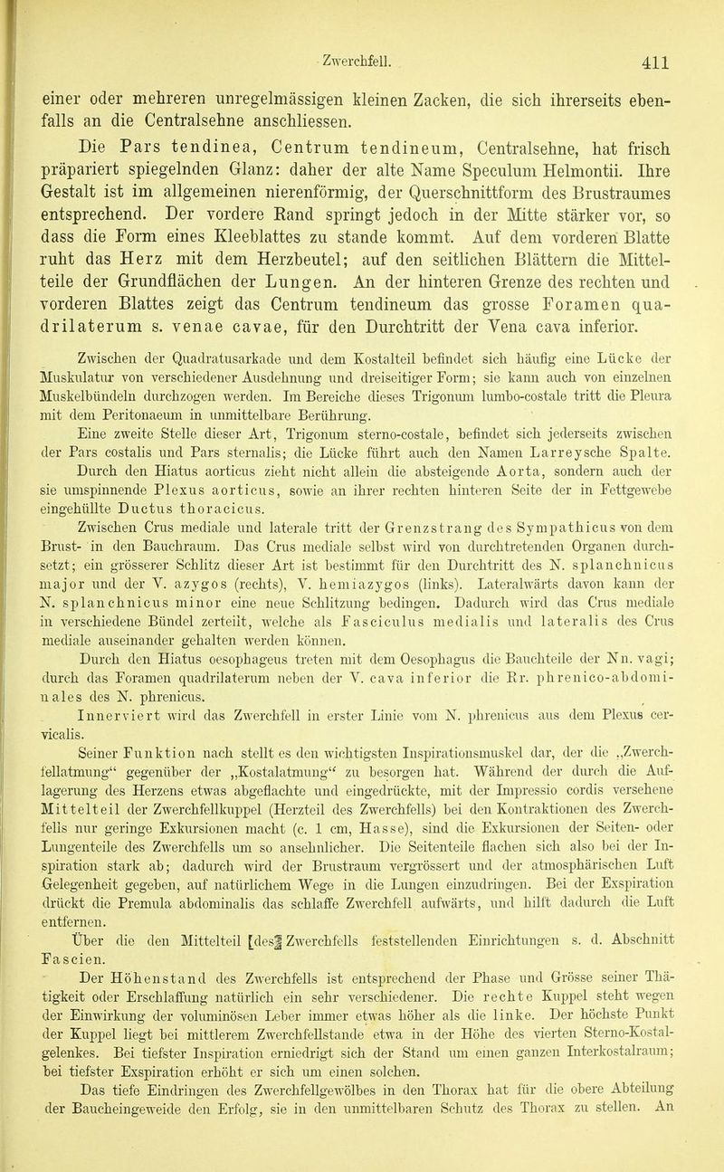 einer oder mehreren unregelmässigen kleinen Zacken, die sich ihrerseits eben- falls an die Centraisehne anschliessen. Die Pars tendinea, Centrum tendineum, Centraisehne, hat frisch präpariert spiegelnden Glanz: daher der alte Name Speculum Helmontii. Ihre Gestalt ist im allgemeinen nierenförmig, der Querschnittform des Brustraumes entsprechend. Der vordere Rand springt jedoch in der Mitte stärker vor, so dass die Eorm eines Kleeblattes zu stände kommt. Auf dem vorderen Blatte ruht das Herz mit dem Herzbeutel; auf den seitlichen Blättern die Mittel- teile der Grundflächen der Lungen. An der hinteren Grenze des rechten und vorderen Blattes zeigt das Centrum tendineum das grosse Foramen qua- drilaterum s. venae cavae, für den Durchtritt der Vena cava inferior. Zwischen der Quadratusarkade und dem Kostalteil befindet sich häufig eine Lücke der Muskulatur von verschiedener Ausdehnung und dreiseitiger Form; sie kann auch von einzelnen Muskelbündeln durchzogen werden. Im Bereiche dieses Trigonum lumbo-costale tritt die Pleui-a mit dem Peritonaeum in unmittelbare Berührung. Eine zweite Stelle dieser Art, Trigonum sterno-costale, befindet sich jederseits zwischen der Pars costalis und Pars sternalis; die Lücke führt auch den Namen Larrey sehe Spalte. Durch den Hiatus aorticus zieht nicht allein die absteigende Aorta, sondern auch der sie umspinnende Plexus aorticus, sowie an ihrer rechten hinteren Seite der in Fettgewebe eingehüllte Ductus thoracicus. Zwischen Crus mediale und laterale tritt der Grenzstrang des Sympathicus von dem Brust- in den Bauchraum. Das Crus mediale selbst wird von durchtretenden Organen durch- setzt; ein grösserer Schlitz dieser Art ist bestimmt für den Durchtritt des N. splanchnicus major und der V. azygos (rechts), V. hemiazygos (links). Lateralwärts davon kann der N. splanchnicus minor eine neue Schlitzung bedingen. Dadurch wird das Crus mediale in verschiedene Bündel zerteilt, welche als Fasciculus medialis und lateralis des Crus mediale auseinander gehalten werden können. Durch den Hiatus oesophageus treten mit dem Oesophagus die Bauchteile der Nn. vagi; durch das Foramen quadrilaterum neben der V. cava inferior die Er. phrenico-abdomi- nal es des N. phrenicus. Innerviert wird das Zwerchfell in erster Linie vom N. phrenicus aus dem Plexus cer- vicalis. Seiner Funktion nach stellt es den wichtigsten Inspirationsmuskel dar, der die „Zwerch- fellatmung gegenüber der „Kostalatmung'^ zu besorgen hat. Während der durch die Auf- lagerung des Herzens etwas abgeflachte und eingedrückte, mit der Impressio cordis versehene Mittelteil der Zwerchfellkuppel (Herzteil des Zwerchfells) bei den Kontraktionen des Zwerch- fells nur geringe Exkursionen macht (c. 1 cm, Hasse), sind die Exkursionen der Seiten- oder Lungenteile des Zwerchfells um so ansehnlicher. Die Seitenteile flachen sich also bei der In- spiration stark ab; dadurch wii-d der Brustraum vergrössert und der atmosphärischen Luft Gelegenheit gegeben, auf natürlichem Wege in die Lungen einzudringen. Bei der Exspiration drückt die Premula abdominalis das schlaffe Zwerchfell aufwärts, und hilft dadurch die Luft entfernen. Über die den Mittelteil [des| Zwerchfells feststellenden Einrichtungen s. d. Abschnitt Fascien. Der Höhenstand des Zwerchfells ist entsprechend der Phase und Grösse seiner Thä- tigkeit oder Erschlaffung natürlich ein sehr verschiedener. Die rechte Kuppel steht wegen der Einwirkimg der voluminösen Leber immer etwas höher als die linke. Der höchste Punkt der Kuppel liegt bei mittlerem Zwerchfellstande etwa in der Höhe des vierten Sterno-Kostal- gelenkes. Bei tiefster Inspiration erniedrigt sich der Stand um emen ganzen Interkostalraum; bei tiefster Exspiration erhöht er sich um einen solchen. Das tiefe Eindringen des Zwerchfellgewölbes in den Thorax hat für die obere Abteilung der Baucheingeweide den Erfolg, sie in den unmittelbaren Schutz des Thorax zu stellen. An