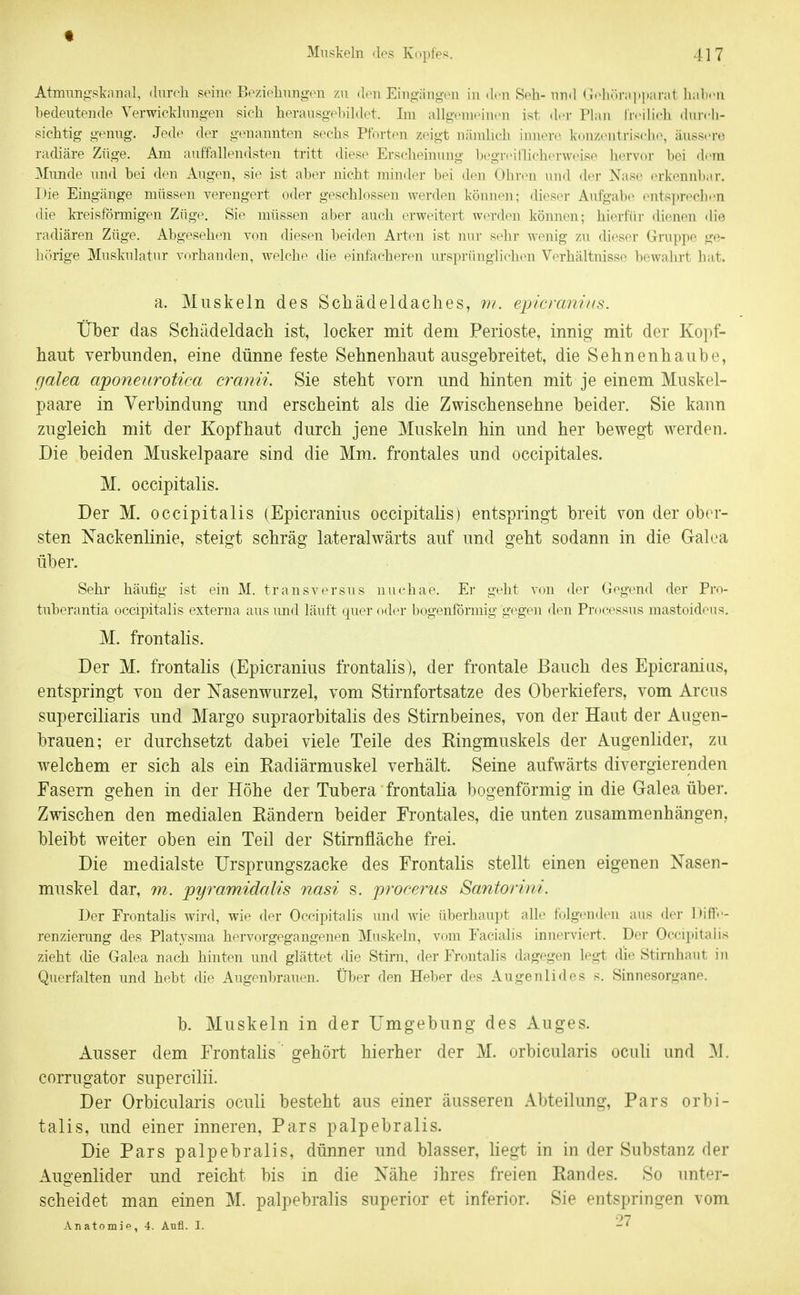 t Muskeln des ]v(»pfes, 417 Atmunp'skanal, durch seine Beziehungen zu den Eingäno-oii in ilcn Seh-und Gi'li..rai>iianit lialn-n bedeutende Verwicklung-en sieh hevansovhildr't. Im allgvnieinen ist der Plan livilicli diiivli- sichtig genug. Jede der genannten sechs PfV,rt(Ui zeigt nämlich innere konzciitrisclK^, äussere radiäre Züge. Am auffalltuidsten tritt diese Ei'sclieinung begrinllicherweise hervor bei dem 3Iunde und bei den Augeu, sie ist aliei' jtielit minder bei dou Ohren und der Nase erkennbar. Die Eingänge müssen verengert oder gesrldossen werden kimiien: dieser Aufgabe ents])recb('n die kreisförmigen Züge. Sie müssen al)er ancli erweiteii werden köirnen; hierfür dienen die radiären Züge. Abgesehen von diesen beiden Arten ist nm- sehr wenig zu dieser Gruppe ge- hörige Muskulatur vorhanden, welche die einfacheren urspningliclK^n Verhältnisse bewalirt hat. a. Muskeln des Schädeldaclies, vi. epicranius. Über das Schädeldach ist, locker mit dem Perioste, innig mit der Kopf- haut verbunden, eine dünne feste Sehnenhaut ausgebreitet, die Sehnenhaube, galea aponeurotica cranii. Sie steht vorn und hinten mit je einem Muskel- paare in Verbindung und erscheint als die Zwischensehne beider. Sie kann zugleich mit der Kopfhaut durch jene Muskeln hin und her bewegt werden. Die beiden Muskelpaare sind die Mm. frontales und occipitales. M. occipitalis. Der M. occipitalis (Epicranius occipitalis) entspringt breit von der ober- sten Zackenlinie, steigt schräg lateralwärts auf und geht sodann in die Galea über. Sehr häufig ist ein M. transversus nuchae. Er geht von der Gegend der Pro- tuberantia occipitalis externa aus und läuft quer oder bogenförmig gegm den Processus mastoidens. M. frontalis. Der M. frontalis (Epicranius frontahs), der frontale Bauch des Epicranius, entspringt von der Nasenwurzel, vom Stirnfortsatze des Oberkiefers, vom Arcus superciliaris und Margo supraorbitalis des Stirnbeines, von der Haut der Augen- brauen; er durchsetzt dabei viele Teile des Ringmuskels der Augenlider, zu welchem er sich als ein Radiärmuskel verhält. Seine aufwärts divergierenden Fasern gehen in der Höhe der Tubera frontalia bogenförmig in die Galea über. Zwischen den medialen Rändern beider Frontales, die unten zusammenhängen, bleibt weiter oben ein Teil der Stirnfläche frei. Die medialste Ursprungszacke des Frontalis stellt einen eigenen Nasen- muskel dar, m. pyramidalis nasi s. proeerus Santorini. Der Frontahs wird, wie der Ocr-ipitalis und Avie überhaupt alle folgenden aus der Diffe- renzierung des Platysma hervorgegangenen Muskeln, vom Facialis innerviert. Der Occipitalis zieht che Galea nach hinten und glättet die Stirn, der Frr.ntalis dagegen legt die Stirnhaut in Querfalten und hebt die Augenbrauen. Über den Heber des Augenlides s. Sinnesorgane. b. Muskeln in der Umgebung des Auges. Ausser dem Frontalis gehört hierher der M. orbicularis ocuU und M. corrugator supercilii. Der Orbicularis oculi besteht aus einer äusseren Abteilung, Pars orbi- talis, und einer inneren. Pars palpebralis. Die Pars palpebralis, dünner und blasser, liegt in in der Substanz der Augenlider und reicht bis in die Nähe ihres freien Randes. So unter- scheidet man einen M. palpebralis superior et inferior. Sie entspringen vom