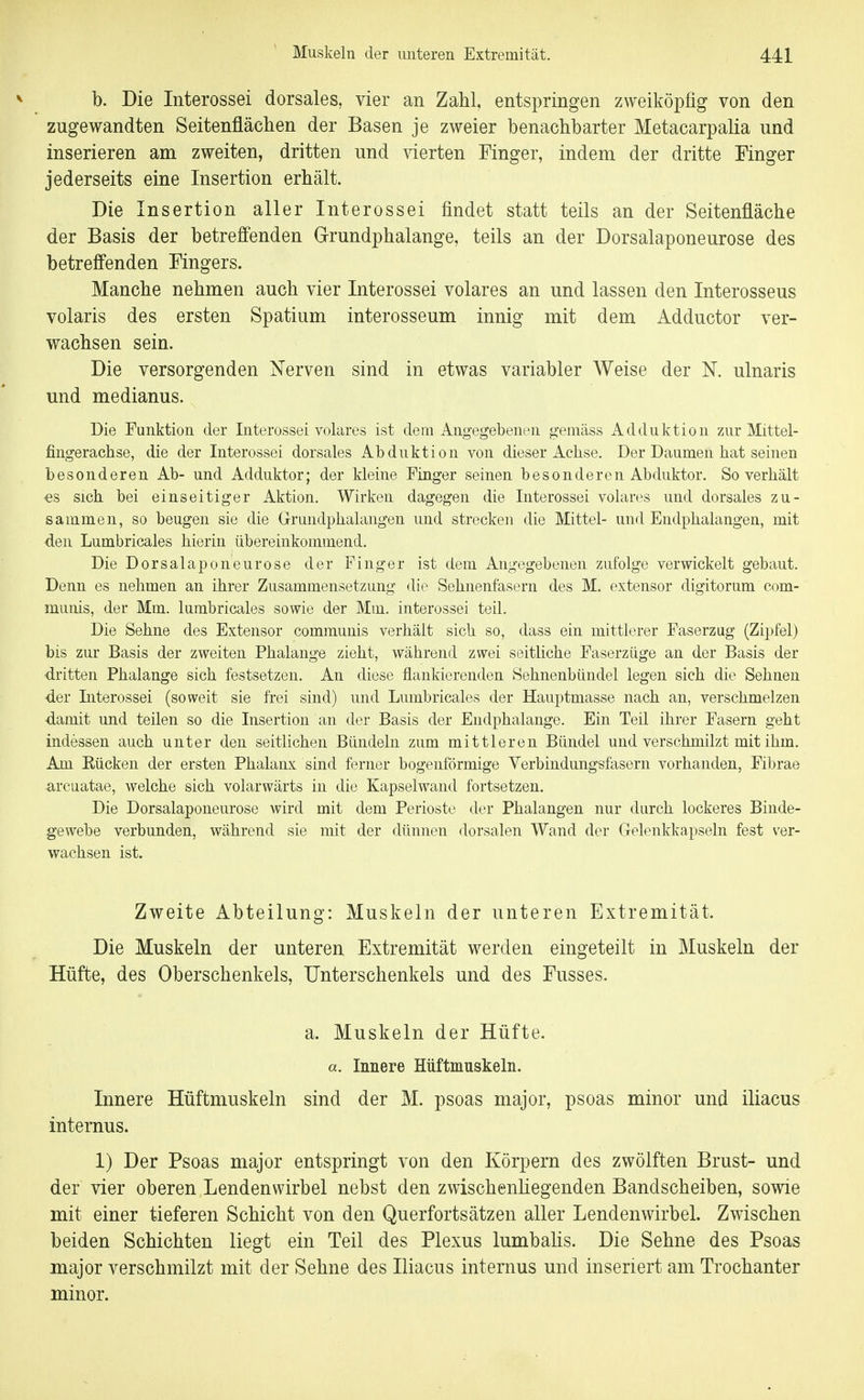 b. Die Interossei dorsales, vier an Zahl, entspringen zweiköpfig von den zugewandten Seitenflächen der Basen je zweier benachbarter Metacarpalia und inserieren am zweiten, dritten und vierten Finger, indem der dritte Finger jederseits eine Insertion erhält. Die Insertion aller Interossei findet statt teils an der Seitenfläche der Basis der betrefi'enden Grundphalange, teils an der Dorsalaponeurose des betreffenden Fingers. Manche nehmen auch vier Interossei volares an und lassen den Interosseus volaris des ersten Spatium interosseum innig mit dem Adductor ver- wachsen sein. Die versorgenden Nerven sind in etwas variabler Weise der N. ulnaris und medianus. Die Funktion der Interossei volares ist dem Angegebenen gemäss Adduktion zur Mittel- fingerachse, die der Interossei dorsales Abduktion von dieser Achse. Der Daumen hat seinen besonderen Ab- und Adduktor; der kleine Finger seinen besonderen Abduktor. So verhält ■es sich bei einseitiger Aktion. Wirken dagegen die Interossei volares und dorsales zu- sammen, so beugen sie die Grundphalangen und strecken die Mittel- und Endphalangen, mit den Lumbricales hierin übereinkommend. Die Dorsalaponeurose der Finger ist dem Angegebenen zufolge verwickelt gebaut. Denn es nehmen an ihrer Zusammensetzung die Sehnenfasern des M. extensor digitorum com- munis, der Mm. lumbricales sowie der Mm. interossei teil. Die Sehne des Extensor communis verhält sich so, dass ein mittlerer Faserzug (Zipfel) bis zur Basis der zweiten Phalange zieht, während zwei seitliche Faserzüge an der Basis der •dritten Phalange sich festsetzen. An diese flankierenden Sehnenbündel legen sich die Sehnen -der Interossei (soweit sie frei sind) und Lumbricales der Hauptmasse nach an, verschmelzen damit und teilen so die Insertion an der Basis der Endphalange. Ein Teil ihrer Fasern geht indessen auch unter den seitlichen Bündeln zum mittleren Bündel und verschmilzt mit ihm. Am Kücken der ersten Phalanx sind ferner bogenförmige Verbindungsfasern vorhanden, Fibrae ^ircuatae, welche sich volarwärts in die Kapselwand fortsetzen. Die Dorsalaponeurose wird mit dem Perioste der Phalangen nur durch lockeres Binde- gewebe verbunden, während sie mit der dünnen dorsalen Wand der Gelenkkapseln fest ver- wachsen ist. Zweite Abteilung: Muskeln der unteren Extremität. Die Muskeln der unteren Extremität werden eingeteilt in Muskeln der Hüfte, des Oberschenkels, Unterschenkels und des Fusses. a. Muskeln der Hüfte. a. Innere Hüftmuskeln. Innere Hüftmuskeln sind der M. psoas major, psoas minor und iliacus internus. 1) Der Psoas major entspringt von den Körpern des zwölften Brust- und der vier oberen Lendenwirbel nebst den zwischenliegenden Bandscheiben, sowie mit einer tieferen Schicht von den Querfortsätzen aller LendenwirbeL Zwischen beiden Schichten liegt ein Teil des Plexus lumbalis. Die Sehne des Psoas major verschmilzt mit der Sehne des Iliacus internus und inseriert am Trochanter minor.