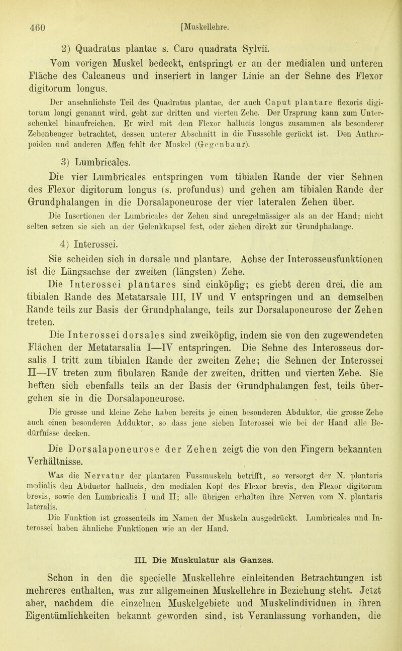 2) Quadratus plantae s. Caro quadrata Sylvii. Vom vorigen Muskel bedeckt, entspringt er an der medialen und unteren Fläche des Calcaneus und inseriert in langer Linie an der Sehne des Flexor digitorum longus. Der ansehnlichste Teil des Quadratus plantae, der auch Caput plantare flexoris digi- torum longi genannt wird, geht zur dritten und vierten Zehe. Der Ursprung kann zum Unter- schenkel hinaufreichen. Er wird mit dem Flexor hallucis longus zusammen als besonderer Zehenbeuger betrachtet, dessen unterer Abschnitt in die Fusssohle gerückt ist. Den Anthro- poiden und anderen Affen fehlt der Muskel (Gegenbaur). 3) Lumbricales. Die vier Lumbricales entspringen vom tibialen Rande der vier Sehnen des Flexor digitorum longus (s. profundus) und gehen am tibialen Eande der Grundphalangen in die Dorsalaponeurose der vier lateralen Zehen über. Die Insertionen der Lumbricales der Zehen sind unregelmässiger als an der Hand; nicht selten setzen sie sich an der Gelenkkapsel fest, oder ziehen direkt zur Grundphalange. 4) Interossei. Sie scheiden sich in dorsale und plantare. Achse der Interosseusfunktionen ist die Längsachse der zweiten (längsten) Zehe. Die Interossei plantares sind einköpfig; es giebt deren drei, die am tibialen Eande des Metatarsale III, IV und V entspringen und an demselben Rande teils zur Basis der Grundphalange, teils zur Dorsalaponeurose der Zehen treten. Die Interossei dorsales sind zweiköpfig, indem sie von den zugewendeten Flächen der Metatarsalia I—IV entspringen. Die Sehne des Interosseus dor- salis I tritt zum tibialen Rande der zweiten Zehe; die Sehnen der Interossei II—IV treten zum fibularen Rande der zweiten, dritten und vierten Zehe. Sie heften sich ebenfalls teils an der Basis der Grundphalangen fest, teils über- gehen sie in die Dorsalaponeurose. Die grosse und kleine Zehe haben bereits je einen besonderen Abduktor, die grosse Zehe auch einen besonderen Adduktor, so dass jene sieben Interossei wie bei der Hand alle Be- dürfnisse decken. Die Dorsalaponeurose der Zehen zeigt die von den Fingern bekannten Verhältnisse. Was die Nervatur der plantaren Fussmuskeln betrifft, so versorgt der N. plantaris medialis den Abductor hallucis, den medialen Kopf des Flexor brevis, den Flexor digitorum brevis, sowie den Lumbricalis I und II; alle übrigen erhalten ihre Nerven vom N. plantaris lateralis. Die Funktion ist grossenteils im Namen der Muskeln ausgedrückt. Lumbricales und In- terossei haben ähnliche Funktionen wie an der Hand. in. Die Muskulatur als Ganzes. Schon in den die specielle Muskellehre einleitenden Betrachtungen ist mehreres enthalten, was zur allgemeinen Muskellehre in Beziehung steht. Jetzt aber, nachdem die einzelnen Muskelgebiete und Muskelindividuen in ihren Eigentümlichkeiten bekannt geworden sind, ist Veranlassung vorhanden, die