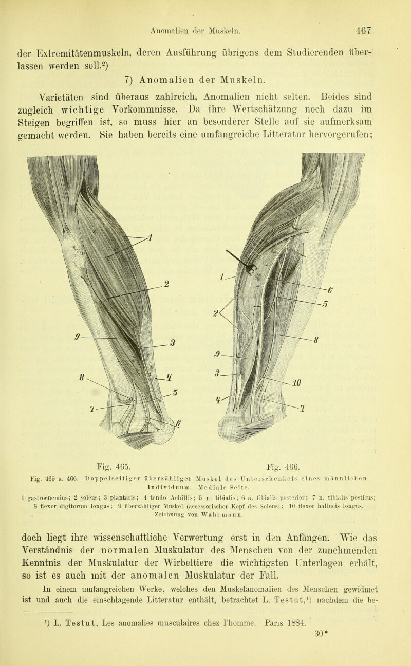 der Extremitätenmuskeln, deren Ausführung übrigens dem Studierenden über- lassen werden soll.^) 7) Anomalien der Muskeln. Varietäten sind überaus zahlreich, Anomalien nicht selten. Beides sind zugleich wichtige Vorkommnisse. Da ihre Wertschätzung noch dazu im Steigen begriffen ist, so muss hier an besonderer Stelle auf sie aufmerksam gemacht werden. Sie haben bereits eine umfangreiche Litteratur hervorgerufen; Fig. 4Ö5. Fig. 466. Yig. 465 u. 466. Doppelseitiger überzilhlig-er Muskel des Unteisehenkels eines luiinnlieheii Individuum. Mediale Seite. 1 gastrocnemius; 2 soleus; 3 plantaris; 4 tendo Acliillis; 5 n. tibialis; 6 a. tibialis posterior; 7 u. tiWalis posticus; 8 flexor digitorum longus; 9 überzähliger Muskel (accessorisclier Kopf des Soleus); 10 flexor hallucis longus. Zeichnung von Wahr mann. doch liegt ihre wissenschaftliche Verwertung erst in den Anfängen. Wie das Verständnis der normalen Muskulatur des Menschen von der zunehmenden Kenntnis der Muskulatur der Wirbeltiere die wichtigsten Unterlagen erhält, so ist es auch mit der anomalen Muskulatur der Fall. In einem umfangreichen Werke, welches den Muskelanomalien des Menschen gewidmet ist und auch die einschlagende Litteratur enthält, betrachtet L. Testut,^) nachdem die be- ^) L. Testut, Les anomalies musculaires chez Thomme. Paris 18S4. 30*