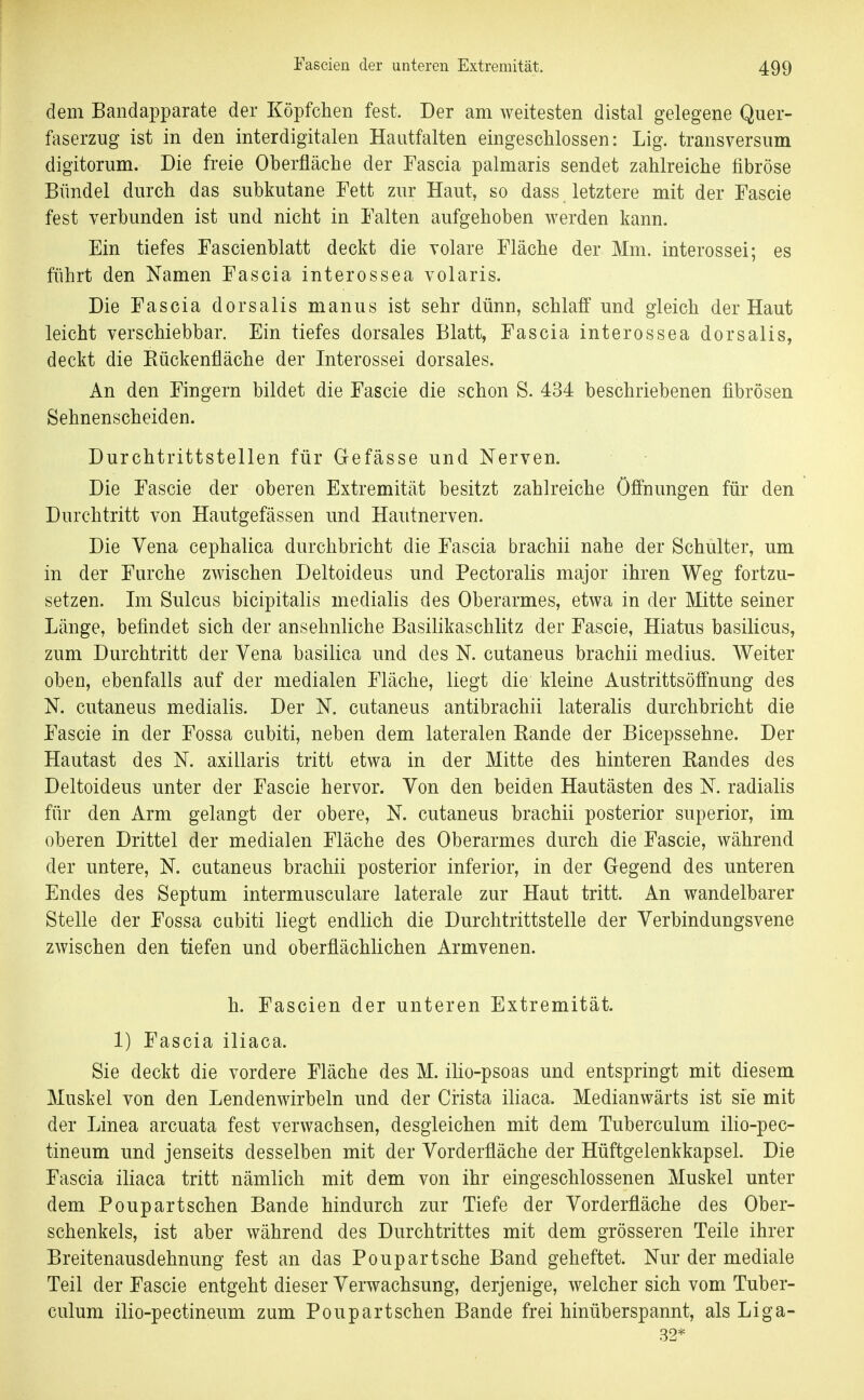 dem Bandapparate der Köpfchen fest. Der am weitesten distal gelegene Quer- faserzug ist in den interdigitalen Haiitfalten eingeschlossen: Lig. transversum digitorum. Die freie Oberfläche der Fascia palmaris sendet zahlreiche fibröse Bündel durch das subkutane Fett zur Haut, so dass letztere mit der Fascie fest verbunden ist und nicht in Falten aufgehoben werden kann. Ein tiefes Fascienblatt deckt die volare Fläche der Mm. interossei; es führt den Namen Fascia interossea volaris. Die Fascia dorsalis manus ist sehr dünn, schlaff und gleich der Haut leicht verschiebbar. Ein tiefes dorsales Blatt, Fascia interossea dorsalis, deckt die Rückenfläche der Interossei dorsales. An den Fingern bildet die Fascie die schon S. 434 beschriebenen fibrösen Sehnenscheiden. Durchtrittstellen für Gefässe und Nerven. Die Fascie der oberen Extremität besitzt zahlreiche Öffnungen für den Durchtritt von Hautgefässen und Hautnerven. Die Vena cephalica durchbricht die Fascia brachii nahe der Schulter, um in der Furche zwischen Deltoideus und Pectoralis major ihren Weg fortzu- setzen. Im Sulcus bicipitalis medialis des Oberarmes, etwa in der Mitte seiner Länge, befindet sich der ansehnliche Basilikaschlitz der Fascie, Hiatus basilicus, zum Durchtritt der Vena basilica und des N. cutaneus brachii medius. Weiter oben, ebenfalls auf der medialen Fläche, liegt die kleine Austrittsöffnung des N. cutaneus medialis. Der N. cutaneus antibrachii lateralis durchbricht die Fascie in der Fossa cubiti, neben dem lateralen Rande der Bicepssehne. Der Hautast des N. axillaris tritt etwa in der Mitte des hinteren Randes des Deltoideus unter der Fascie hervor. Von den beiden Hautästen des N. radialis für den Arm gelangt der obere, N. cutaneus brachii posterior superior, im oberen Drittel der medialen Fläche des Oberarmes durch die Fascie, während der untere, N. cutaneus brachii posterior inferior, in der Gegend des unteren Endes des Septum intermusculare laterale zur Haut tritt. An wandelbarer Stelle der Fossa cabiti liegt endlich die Durchtrittstelle der Verbindungsvene zwischen den tiefen und oberflächlichen Armvenen. h. Fascien der unteren Extremität. 1) Fascia iliaca. Sie deckt die vordere Fläche des M. ilio-psoas und entspringt mit diesem Muskel von den Lendenwirbeln und der Crista iliaca. Medianwärts ist sie mit der Linea arcuata fest verwachsen, desgleichen mit dem Tuberculum ilio-pec- tineum und jenseits desselben mit der Vorderfläche der Hüftgelenkkapsel. Die Fascia iliaca tritt nämlich mit dem von ihr eingeschlossenen Muskel unter dem Poupartsehen Bande hindurch zur Tiefe der Vorderfläche des Ober- schenkels, ist aber während des Durchtrittes mit dem grösseren Teile ihrer Breitenausdehnung fest an das Poupartsche Band geheftet. Nur der mediale Teil der Fascie entgeht dieser Verwachsung, derjenige, welcher sich vom Tuber- culum ilio-pectineum zum Poupart sehen Bande frei hinüberspannt, als Liga- 32*