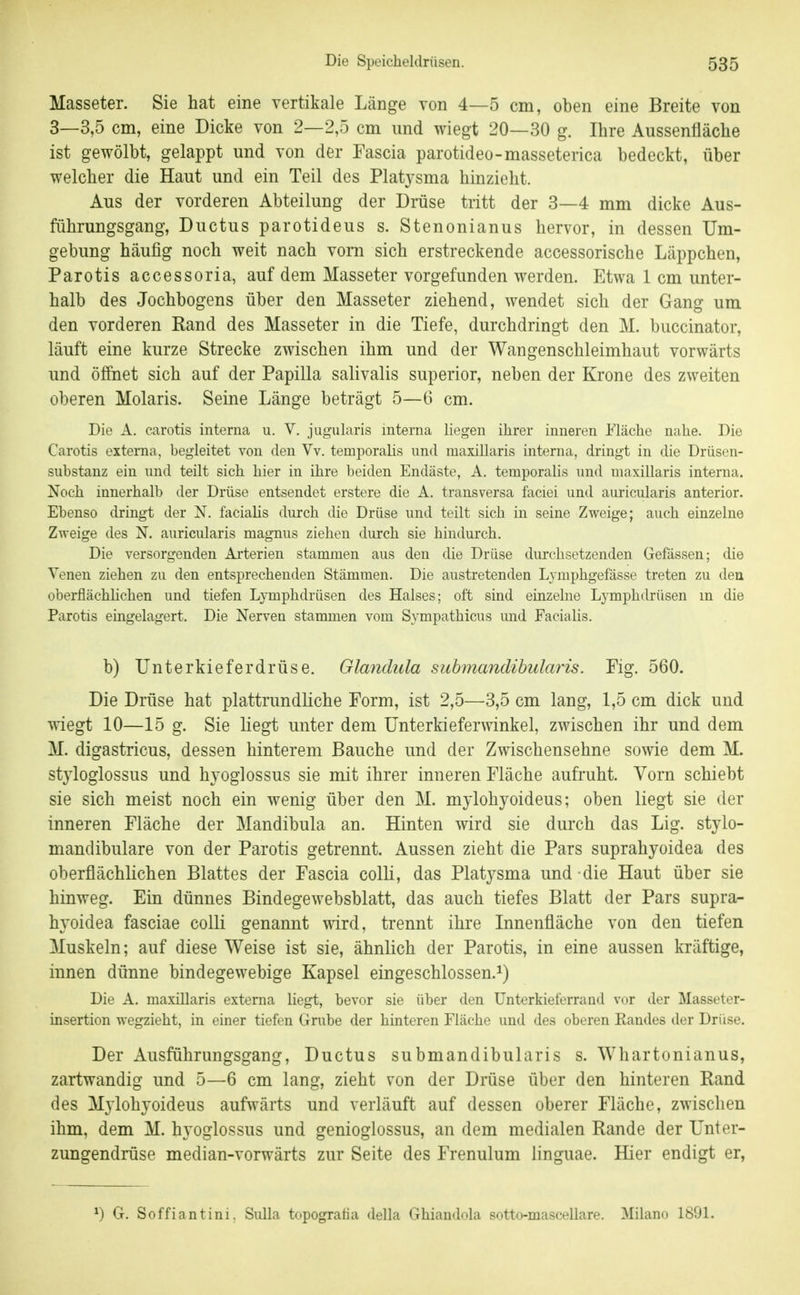 Masseter. Sie hat eine vertikale Länge von 4—5 cm, oben eine Breite von 3—3,5 cm, eine Dicke von 2—2,5 cm und wiegt 20—30 g. Ihre Aussenfläche ist gewölbt, gelappt und von der Fascia parotideo-masseterica bedeckt, über welcher die Haut und ein Teil des Platj^sma hinzieht. Aus der vorderen Abteilung der Drüse tritt der 3—4 mm dicke Aus- führungsgang, Ductus parotideus s. Stenonianus hervor, in dessen Um- gebung häufig noch weit nach vom sich erstreckende accessorische Läppchen, Parotis accessoria, auf dem Masseter vorgefunden werden. Etwa 1 cm unter- halb des Jochbogens über den Masseter ziehend, wendet sich der Gang um den vorderen Rand des Masseter in die Tiefe, durchdringt den M. buccinator, läuft eine kurze Strecke zwischen ihm und der Wangenschleimhaut vorwärts und öffnet sich auf der Papilla salivalis superior, neben der Krone des zweiten oberen Molaris. Seine Länge beträgt 5—6 cm. Die A. carotis interna u. V. jugularis interna liegen ihrer inneren Mäche nahe. Die Carotis externa, begleitet von den Vv. temporahs und maxillaris interna, dringt in die Drüsen- substanz ein und teilt sich hier in ihre beiden Endäste, A. temporalis und maxillaris interna. Noch innerhalb der Drüse entsendet erstere die A. transversa faciei und auricularis anterior. Ebenso dringt der N. faciahs durch die Drüse und teilt sich in seine Zweige; auch einzelne Zweige des N. auricularis magnus ziehen durch sie hindurch. Die versorgenden Arterien stammen aus den die Drüse diu-chsetzenden Gefässen; die Venen ziehen zu den entsprechenden Stämmen. Die austretenden Lymphgefässe treten zu den oberflächlichen und tiefen Lymphdrüsen des Halses; oft sind einzelne Lymphdrüsen in die Parotis eingelagert. Die Nerven stammen vom Sympathicus und Facialis. b) Unterkieferdrüse. Glandula suhmandihularis. Fig. 560. Die Drüse hat plattrundliche Form, ist 2,5—3,5 cm lang, 1,5 cm dick und wiegt 10—15 g. Sie liegt unter dem Unterkieferwinkel, zwischen ihr und dem M. digastricus, dessen hinterem Bauche und der Zwischensehne sowie dem M. styloglossus und hyoglossus sie mit ihrer inneren Fläche aufruht. Vorn schiebt sie sich meist noch ein wenig über den M. mylohyoideus; oben liegt sie der inneren Fläche der Mandibula an. Hinten wird sie durch das Lig. stylo- mandibulare von der Parotis getrennt. Aussen zieht die Pars suprahyoidea des oberflächlichen Blattes der Fascia colh, das Platj^sma und die Haut über sie hinweg. Ein dünnes Bindegewebsblatt, das auch tiefes Blatt der Pars supra- hyoidea fasciae colli genannt wird, trennt ihre Innenfläche von den tiefen Muskeln; auf diese Weise ist sie, ähnlich der Parotis, in eine aussen kräftige, innen dünne bindegewebige Kapsel eingeschlossen.^) Die A. maxillaris externa liegt, bevor sie über den ünterkieferrand vor der Masseter- insertion wegzieht, in einer tiefen Grube der hinteren Fläche und des oberen Kandes der Drüse. Der Ausführungsgang, Ductus suhmandihularis s. Whartonianus, zartwandig und 5—6 cm lang, zieht von der Drüse über den hinteren Rand des Mj'lohyoideus aufwärts und verläuft auf dessen oberer Fläche, zwischen ihm, dem M. hyoglossus und genioglossus, an dem medialen Rande der Unter- zungendrüse median-vorwärts zur Seite des Frenulum linguae. Hier endigt er. ^) G. Soffiantini. Sulla topogratia della Ghiandola sotto-mascellare. Milano 1891.