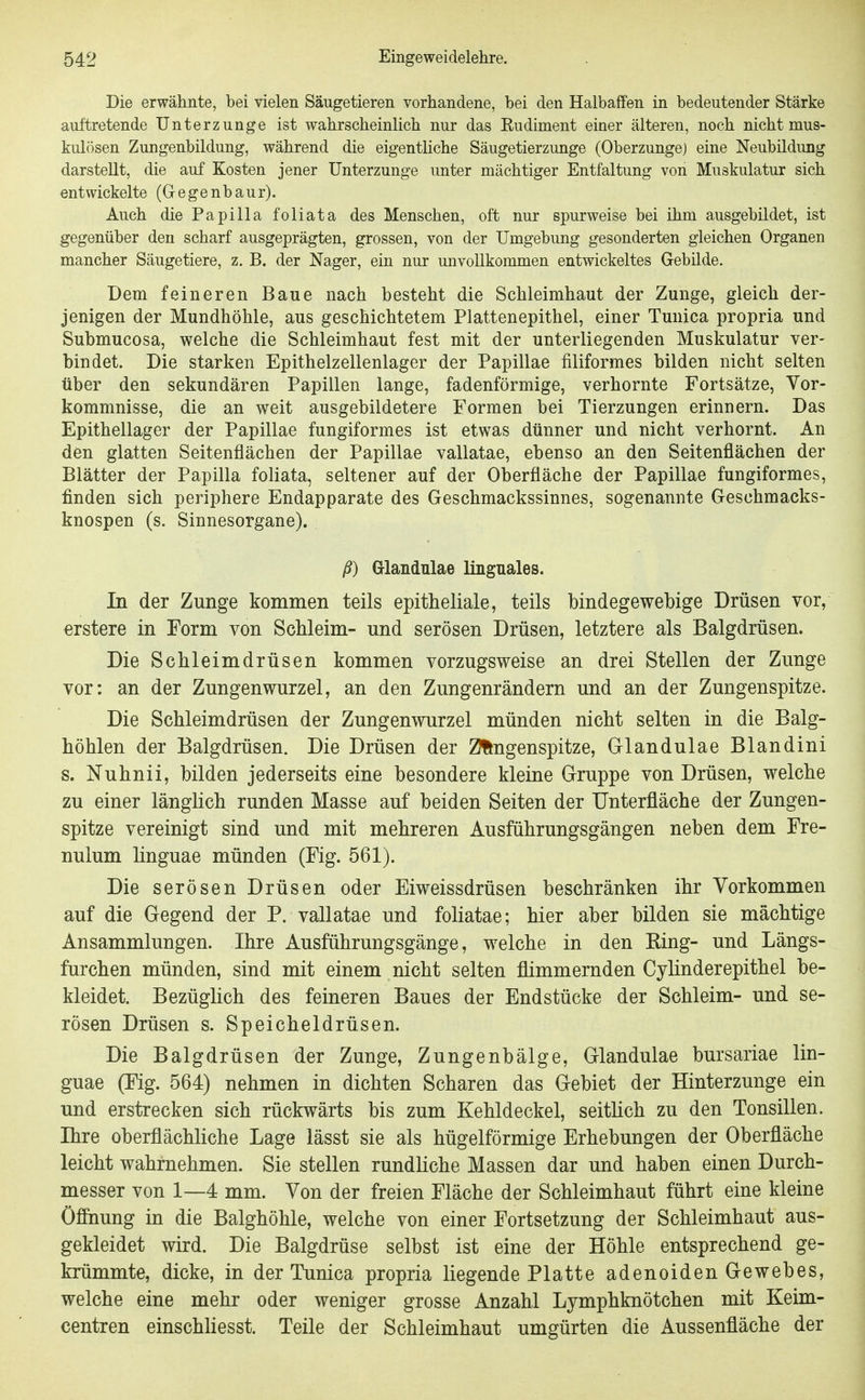 Die erwähnte, bei vielen Sängetieren vorhandene, bei den Halbaffen in bedeutender Stärke auftretende ünterzunge ist wahrscheinlich nur das Rudiment einer älteren, noch nicht mus- kulösen Zungenbildung, während die eigentliche Säugetierzunge (Oberzunge) eine Neubildung darstellt, die auf Kosten jener ünterzunge unter mächtiger Entfaltung von Muskulatur sich entwickelte (Gegenbaur). Auch die Papilla foliata des Menschen, oft nur spurweise bei ihm ausgebildet, ist gegenüber den scharf ausgeprägten, grossen, von der Umgebung gesonderten gleichen Organen mancher Säugetiere, z. B. der Nager, ein nur unvollkommen entwickeltes Gebilde. Dem feineren Baue nach besteht die Schleimhaut der Zunge, gleich der- jenigen der Mundhöhle, aus geschichtetem Plattenepithel, einer Tuuica propria und Submucosa, welche die Schleimhaut fest mit der unterliegenden Muskulatur ver- bindet. Die starken Epithelzellenlager der Papillae filiformes bilden nicht selten über den sekundären Papillen lange, fadenförmige, verhornte Fortsätze, Vor- kommnisse, die an weit ausgebildetere Formen bei Tierzungen erinnern. Das Epithellager der Papillae fungiformes ist etwas dünner und nicht verhornt. An den glatten Seitenflächen der Papillae vallatae, ebenso an den Seitenflächen der Blätter der Papilla foliata, seltener auf der Oberfläche der Papillae fungiformes, finden sich periphere Endapparate des Geschmackssinnes, sogenannte Geschmacks- knospen (s. Sinnesorgane). ß) Glandulae linguales. In der Zunge kommen teils epitheliale, teils bindegewebige Drüsen vor, erstere in Form von Schleim- und serösen Drüsen, letztere als Balgdrüsen. Die Schleimdrüsen kommen vorzugsweise an drei Stellen der Zunge vor: an der Zungenwurzel, an den Zungenrändern und an der Zungenspitze. Die Schleimdrüsen der Zungenwurzel münden nicht selten in die Balg- höhlen der Balgdrüsen. Die Drüsen der Zfingenspitze, Glandulae Blandini s. Nuhnii, bilden jederseits eine besondere kleine Gruppe von Drüsen, welche zu einer länglich runden Masse auf beiden Seiten der Unterfläche der Zungen- spitze vereinigt sind und mit mehreren Ausführungsgängen neben dem Fre- nulum linguae münden (Fig. 561). Die serösen Drüsen oder Eiweissdrüsen beschränken ihr Vorkommen auf die Gegend der P. vallatae und foliatae; hier aber bilden sie mächtige Ansammlungen. Ihre Ausführungsgänge, welche in den Ring- und Längs- furchen münden, sind mit einem nicht selten flimmernden Cylinderepithel be- kleidet. Bezüglich des feineren Baues der Endstücke der Schleim- und se- rösen Drüsen s. Speicheldrüsen. Die Balgdrüsen der Zunge, Zungenbälge, Glandulae bursariae lin- guae (Fig. 564) nehmen in dichten Scharen das Gebiet der Hinterzunge ein und erstrecken sich rückwärts bis zum Kehldeckel, seitlich zu den Tonsillen. Ihre oberflächliche Lage lässt sie als hügelförmige Erhebungen der Oberfläche leicht wahrnehmen. Sie stellen rundliche Massen dar und haben einen Durch- messer von 1—4 mm. Von der freien Fläche der Schleimhaut führt eine kleine Öffnung in die Balghöhle, welche von einer Fortsetzung der Schleimhaut aus- gekleidet wird. Die Balgdrüse selbst ist eine der Höhle entsprechend ge- krümmte, dicke, in der Tunica propria liegende Platte adenoiden Gewebes, welche eine mehr oder weniger grosse Anzahl Lymphknötchen mit Keim- centren einschliesst. Teile der Schleimhaut umgürten die Aussenfläche der