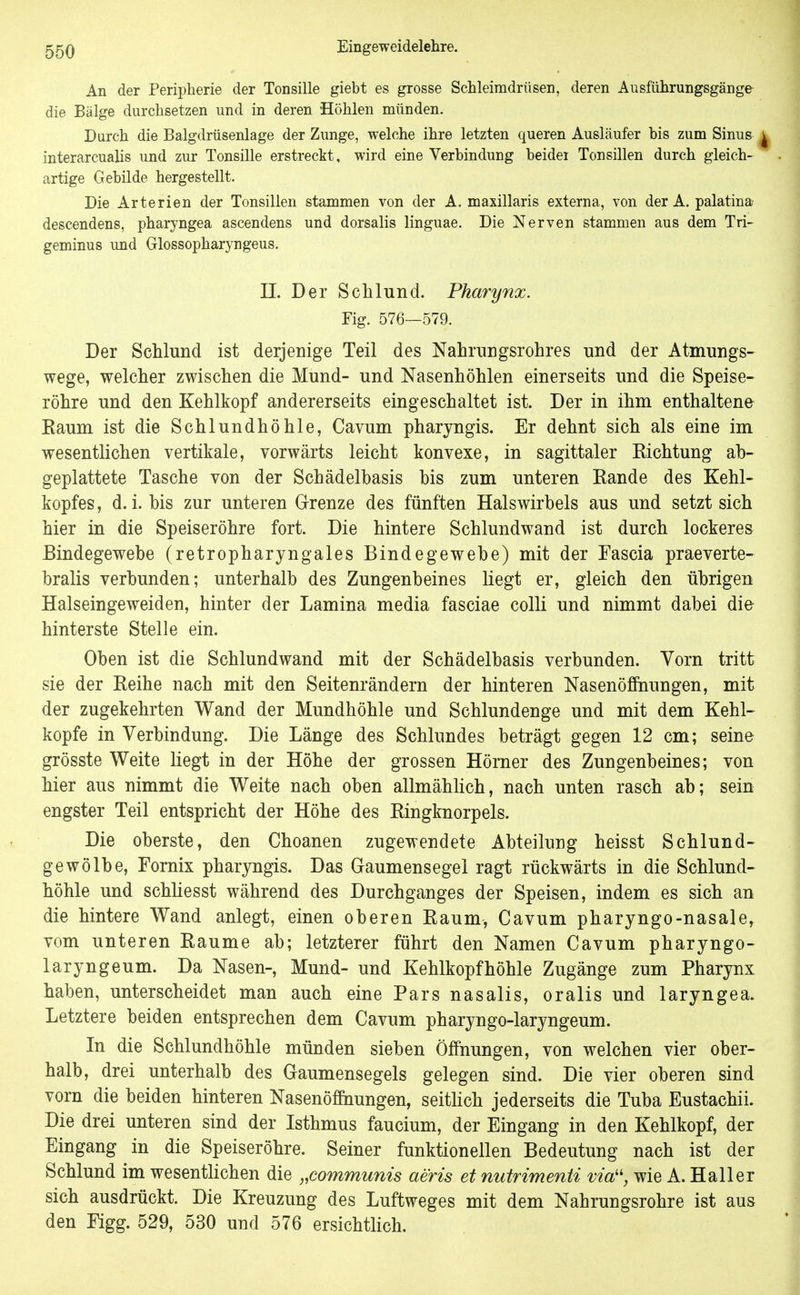 An der Peripherie der Tonsille giebt es grosse Schleimdrüsen, deren Ausführungsgänge- die Bälge durchsetzen und in deren Höhlen münden. Durch die Balgdrüsenlage der Zunge, welche ihre letzten queren Ausläufer bis zum Sinus | interarcualis und zur Tonsille erstreckt, wird eine Verbindung beidei Tonsillen durch gleich- artige Gebilde hergestellt. Die Arterien der Tonsillen stammen von der A. maxillaris externa, von der A. palatina descendens, pharyngea ascendens und dorsalis linguae. Die Nerven stammen aus dem Tri- geminus und Glossopharyngeus. II. Der Schlund. Pharynx. Fig. 576—579. Der Schlund ist derjenige Teil des Nahrungsrobres und der Atmungs- wege, welcher zwischen die Mund- und Nasenhöhlen einerseits und die Speise- röhre und den Kehlkopf andererseits eingeschaltet ist. Der in ihm enthaltene Raum ist die Schlundhöhle, Cavum pharyngis. Er dehnt sich als eine im wesentlichen vertikale, vorwärts leicht konvexe, in sagittaler Richtung ab- geplattete Tasche von der Schädelbasis bis zum unteren Rande des Kehl- kopfes, d.i. bis zur unteren Grenze des fünften Halswirbels aus und setzt sich hier in die Speiseröhre fort. Die hintere Schlundwand ist durch lockeres Bindegewebe (retropharyngales Bindegewebe) mit der Fascia praeverte- bralis verbunden; unterhalb des Zungenbeines liegt er, gleich den übrigen Halseingeweiden, hinter der Lamina media fasciae colli und nimmt dabei die hinterste Stelle ein. Oben ist die Schlundwand mit der Schädelbasis verbunden. Yorn tritt sie der Reihe nach mit den Seitenrändern der hinteren Nasenööhungen, mit der zugekehrten Wand der Mundhöhle und Schlundenge und mit dem Kehl- kopfe in Verbindung. Die Länge des Schlundes beträgt gegen 12 cm; seine grösste Weite liegt in der Höhe der grossen Hörner des Zungenbeines; von hier aus nimmt die Weite nach oben allmähhch, nach unten rasch ab; sein engster Teil entspricht der Höhe des Ringknorpels. Die oberste, den Choanen zugewendete Abteilung heisst Schlund- gewölbe, Fornix pharyngis. Das Gaumensegel ragt rückwärts in die Schlund- höhle und schhesst während des Durchganges der Speisen, indem es sich an die hintere Wand anlegt, einen oberen Raum, Cavum pharyngo-nasale, vom unteren Räume ab; letzterer führt den Namen Cavum pharyngo- laryngeum. Da Nasen-, Mund- und Kehlkopfhöhle Zugänge zum Pharynx haben, unterscheidet man auch eine Pars nasalis, oralis und laryngea. Letztere beiden entsprechen dem Cavum pharyngo-laryngeum. In die Schlundhöhle münden sieben Öffnungen, von welchen vier ober- halb, drei unterhalb des Gaumensegels gelegen sind. Die vier oberen sind vorn die beiden hinteren Nasenöffaungen, seitlich jederseits die Tuba Eustachii. Die drei unteren sind der Isthmus faucium, der Eingang in den Kehlkopf, der Eingang in die Speiseröhre. Seiner funktionellen Bedeutung nach ist der Schlund im wesentlichen die „communis aeris et nutrimenti via'', wie A. Hall er sich ausdrückt. Die Kreuzung des Luftweges mit dem Nahrungsrohre ist aus den Figg. 529, 530 und 576 ersichtlich.