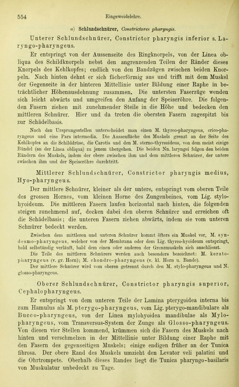 a) Schlundsclinürer, Constrictores pharyngis. Unterer Schlundschnürer, Constrictor pharyngis inferior s. La- ryngo-pharyngeus. Er entspringt von der Aussenseite des Eingknorpels, von der Linea ob- liqua des Schildknorpels nebst den angrenzenden Teilen der Ränder dieses Knorpels des Kehlkopfes; endlich von den Bandzügen zwischen beiden Knor- peln. }^ach hinten dehnt er sich fächerförmig aus und trifft mit dem Muskel der Gegenseite in der hinteren Mittellinie unter Bildung einer Raphe in be- trächtlicher Höhenausdehnung zusammen. Die untersten Faserzüge wenden sich leicht abwärts und umgreifen den Anfang der Speiseröhre. Die folgen- den Fasern ziehen mit zunehmender Steile in die Höhe und bedecken den mittleren Schnürer. Hier und da treten die obersten Fasern zugespitzt bis zur Schädelbasis. Nach den Ursprungsstellen unterscheidet man einen M. thyreo-pharyngeus, crico-pha- ryngeus und eine Pars intermedia. Die Aussenfläche des Muskels grenzt an der Seite des Kehlkopfes an die Schilddrüse, die Carotis und den M. sterno-thyreoideus, von dem meist einige Bündel (an der Linea obliqua) zu jenem übergehen. Die beiden Nn. laryngei folgen den beiden Eändern des Muskels, indem der obere zwischen ihm und dem mittleren Schnürer, der untere zmschen ihm und der Speiseröhre durchtritt. Mittlerer Schlundschnürer, Constrictor pharyngis medius, Hyo-pharyngeus. Der mittlere Schnürer, kleiner als der untere, entspringt vom oberen Teile des grossen Hernes, vom kleinen Hörne des Zungenbeines, vom Lig. stylo- hyoideum. Die mittleren Fasern laufen horizontal nach hinten, die folgenden steigen zunehmend auf, decken dabei den oberen Schnürer und erreichen oft die Schädelbasis; die unteren Fasern ziehen abwärts, indem sie vom unteren Schnürer bedeckt werden. Zwischen dem mittleren und unteren Schnürer kommt öfters ein Muskel vor, M. syn- desmo-pharyngeus, welcher von der Membrana oder dem Lig. thyreo-hyoideum entspringt,^ bald selbständig verläuft, bald dem einen oder anderen der Grenzmuskeln sich anschliesst. Die Teile des mittleren Schnürers werden auch besonders bezeichnet: M. kerato- piiaryngeus (v. gr. Horn); M. chondro-pharyngeus (v. kl, Horn u. Bande). Der mittlere Schnürer wird vom oberen getrennt durch den M. stylo-pharyngeus und N. glosso-pharyngeus. Oberer Schlundschnürer, Constrictor pharyngis superior, Cephalopharyngeus. Er entspringt von dem unteren Teile der Lamina pterygoidea interna bis zum Hamulus als M. pterygo-pharyngeus, vom Lig. pterygo-mandibulare al& Bucco-pharyngeus, von der Linea mylohyoidea mandibulae als Mylo- pharyngeus, vom Transversus-System der Zunge als Glosso-pharyngeus. Von diesen vier Stellen kommend, krümmen sich die Fasern des Muskels nach hinten und verschmelzen in der Mittellinie unter Bildung einer Raphe mit den Fasern des gegenseitigen Muskels; einige endigen früher an der Tunica fibrosa. Der obere Rand des Muskels umzieht den Levator veli palatini und die Ohrtrompete. Oberhalb dieses Randes liegt die Tunica pharyngo-basilaris von Muskulatur unbedeckt zu Tage.