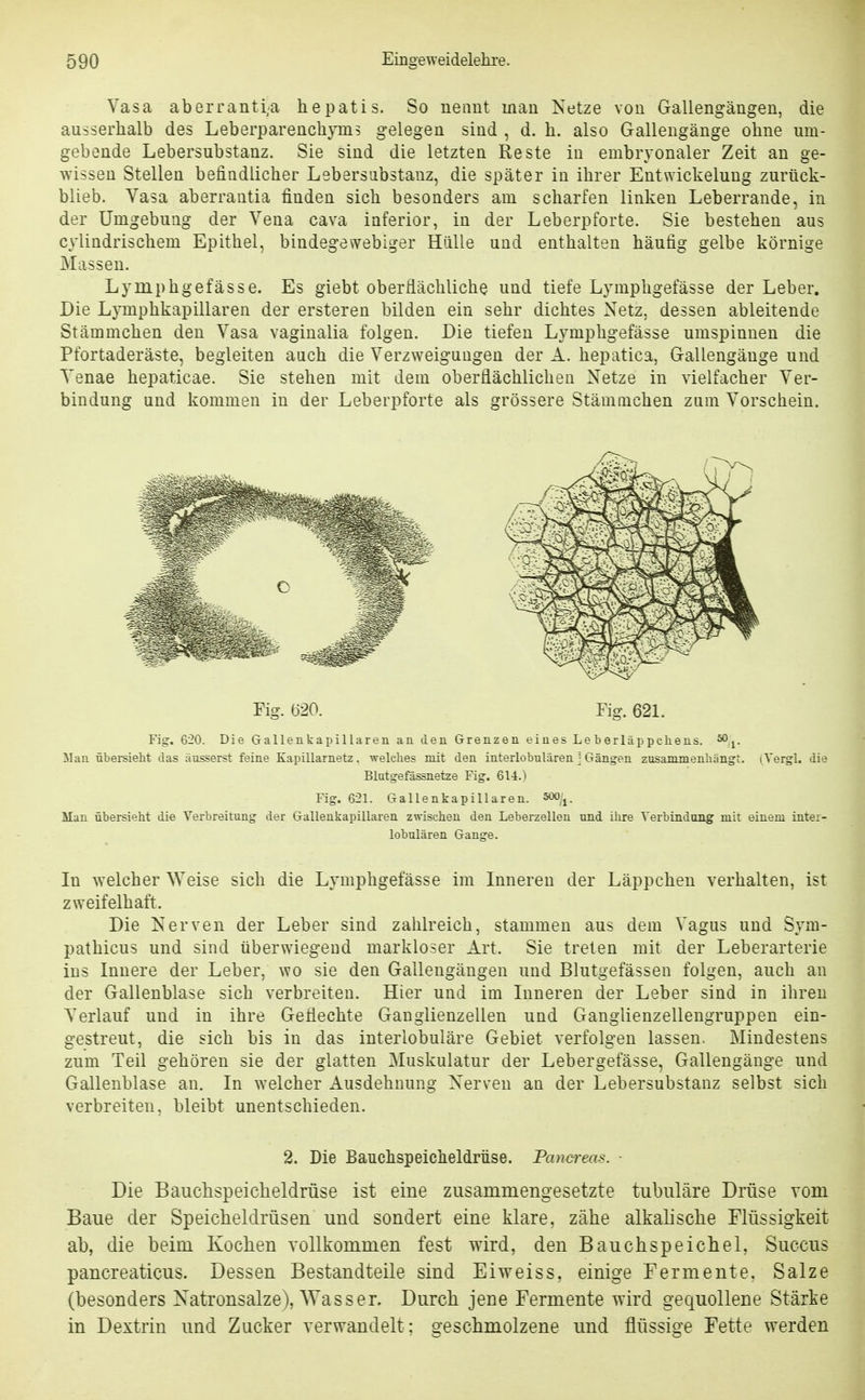 Vasa aberranti;a hepatis. So neaut man Netze vou Gallengängen, die ausserhalb des Leberparenchyms gelegen sind , d. h. also Gallengänge obne um- gebende Lebersubstanz. Sie sind die letzten Reste in embryonaler Zeit an ge- wissen Stellen befindlicher Lebersubstanz, die später in ihrer Entwickelung zurück- blieb. Yasa aberrantia finden sich besonders am scharfen linken Leberrande, in der Umgebung der Vena cava inferior, in der Leberpforte. Sie bestehen aus cylindrischem Epithel, bindegewebiger Hülle und enthalten häufig gelbe körnige Massen. Lymphgefässe. Es giebt oberflächliche und tiefe Lymphgefässe der Leber. Die Lymphkapillaren der ersteren bilden ein sehr dichtes Netz, dessen ableitende Stämmchen den Vasa vaginalia folgen. Die tiefen Lymphgefässe umspinnen die Pfortaderäste, begleiten auch die Verzweigungen der A. hepatica, Gallengänge und Venae hepaticae. Sie stehen mit dem oberflächlichen Netze in vielfacher Ver- bindung und kommen in der Leberpforte als grössere Stämnichen zum Vorschein. Fig. (320. Fig. 621. Fig. 620. Die Gallenkapillaren an den Grenzen eines Leberlappchens. 50^. Jlan übersieht das äusserst feine Kapillarnetz, welches mit den interiobulären - Gängen zusammenhängt. lYergl. die Blutgefässnetze Fig. Gli.) Fig. 621. Gallenkapillaren, soo;^. Man übersieht die Verbreitung der Gallenkapillaren zwischen den Leberzellen und ihre Verbindung mit einem inter- iobulären Gange. In welcher Weise sich die Lymphgefässe im Inneren der Läppchen verhalten, ist zweifelhaft. Die Nerven der Leber sind zahlreich, stammen aus dem Vagus und Sym- pathicus und sind überwiegend markloser Art. Sie treten mit der Leberarterie ins Innere der Leber, wo sie den Gallengängen und Blutgefässen folgen, auch an der Gallenblase sich verbreiten. Hier und im Inneren der Leber sind in ihren Verlauf und in ihre Geflechte Ganglienzellen und Ganglienzellengruppen ein- gestreut, die sich bis in das interlobuläre Gebiet verfolgen lassen. Mindestens zum Teil gehören sie der glatten Muskulatur der Lebergefässe, Gallengänge und Gallenblase an. In welcher Ausdehnung Nerven an der Lebersubstanz selbst sich verbreiten, bleibt unentschieden. 2. Die Bauchspeiclieldrüse. Pcmcreas. ■ Die Bauchspeicheldrüse ist eine zusammengesetzte tubuläre Drüse vom Baue der Speicheldrüsen und sondert eine klare, zähe alkalische Flüssigkeit ab, die beim Kochen vollkommen fest wird, den Bauchspeichel, Succus pancreaticus. Dessen Bestandteile sind Eiweiss, einige Fermente. Salze (besonders Natronsalze), Wasser. Durch jene Fermente wird gequollene Stärke in Dextrin und Zucker verwandelt; geschmolzene und flüssige Fette werden