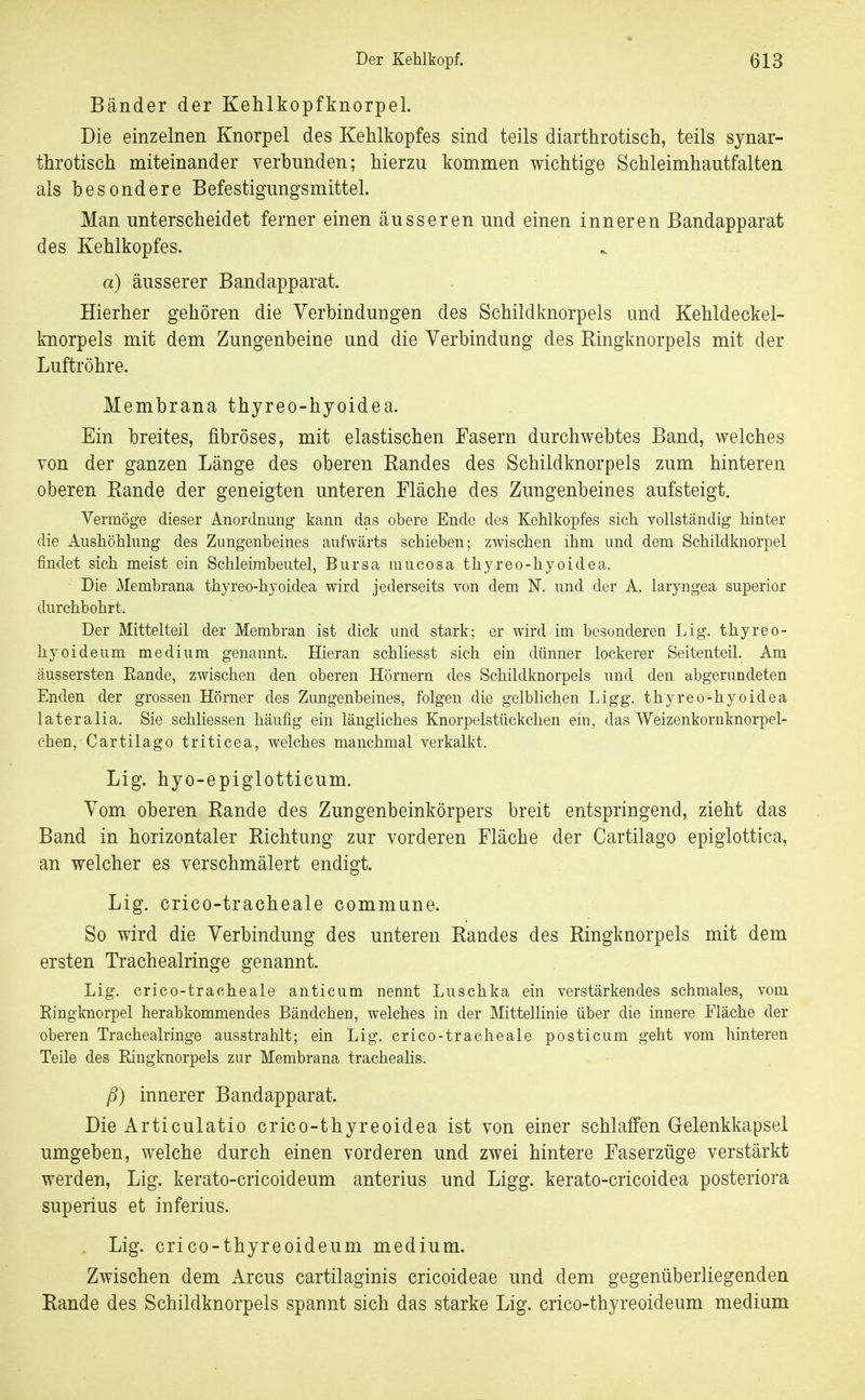 Bänder der Kehlkopfknorpel. Die einzelnen Knorpel des Kehlkopfes sind teils diarthrotisch, teils synar- throtisch miteinander verbunden; hierzu kommen wichtige Schleimhautfalten als besondere Befestigungsmittel. Man unterscheidet ferner einen äusseren und einen inneren Bandapparat des Kehlkopfes. a) äusserer Bandapparat. Hierher gehören die Verbindungen des Schildknorpels und Kehldeckel- knorpels mit dem Zungenbeine und die Verbindung des Ringknorpels mit der Luftröhre. Membrana thyreo-hyoidea. Ein breites, fibröses, mit elastischen Fasern durchwehtes Band, welches von der ganzen Länge des oberen Randes des Schildknorpels zum hinteren oberen Rande der geneigten unteren Fläche des Zungenbeines aufsteigt. Vermöge dieser Anordnung kann das obere Ende des Kehlkopfes sich vollständig hinter die Aushöhlung des Zungenbeines aufwärts schieben; zwischen ihm und dem Schildknorpel findet sich meist ein Schleirabeutel, Bursa mucosa thyreo-hyoidea. Die Membrana thyreo-hyoidea wird jederseits von dem N. und der A. laryngea superior durchbohrt. Der Mittelteil der Membran ist dick und stark; er wird im besonderen Lig. thyreo- hyoideum medium genannt. Hieran schliesst sich ein dünner lockerer Seitenteil. Am äussersten Eande, zwischen den oberen Hörnern des Schildknorpels und den abgerundeten Enden der grossen Hörner des Zungenbeines, folgen die gelblichen Ligg. thyreo-hyoidea lateralia. Sie schliessen häufig ein längliches Knorpelstückchen ein, das Weizenkornknorpel- chen, Cartilago triticea, welches manchmal verkalkt. Lig. hyo-epiglotticum. Vom oberen Rande des Zungenbeinkörpers breit entspringend, zieht das Band in horizontaler Richtung zur vorderen Fläche der Cartilago epiglottica, an welcher es verschmälert endigt. Lig. crico-tracheale commune. So wird die Verbindung des unteren Randes des Ringknorpels mit dem ersten Tracheairinge genannt. Lig. crico-tracheale anticum nennt Luschka ein verstärkendes schmales, vom Eingknorpel herabkommendes Bändchen, welches in der Mittellinie über die innere Fläche der oberen Tracheairinge ausstrahlt; ein Lig. crico-tracheale posticum geht vom hinteren Teile des Eingknorpels zur Membrana trachealis. ß) innerer Bandapparat. Die Articulatio crico-thyreoidea ist von einer schlaffen Gelenkkapsel umgeben, welche durch einen vorderen und zwei hintere Faserzüge verstärkt werden, Lig. kerato-cricoideum anterius und Ligg. kerato-cricoidea posteriora superius et inferius. Lig. crico-thyreoideum medium. Zwischen dem Arcus cartilaginis cricoideae und dem gegenüberliegenden Rande des Schildknorpels spannt sich das starke Lig. crico-thyreoideum medium