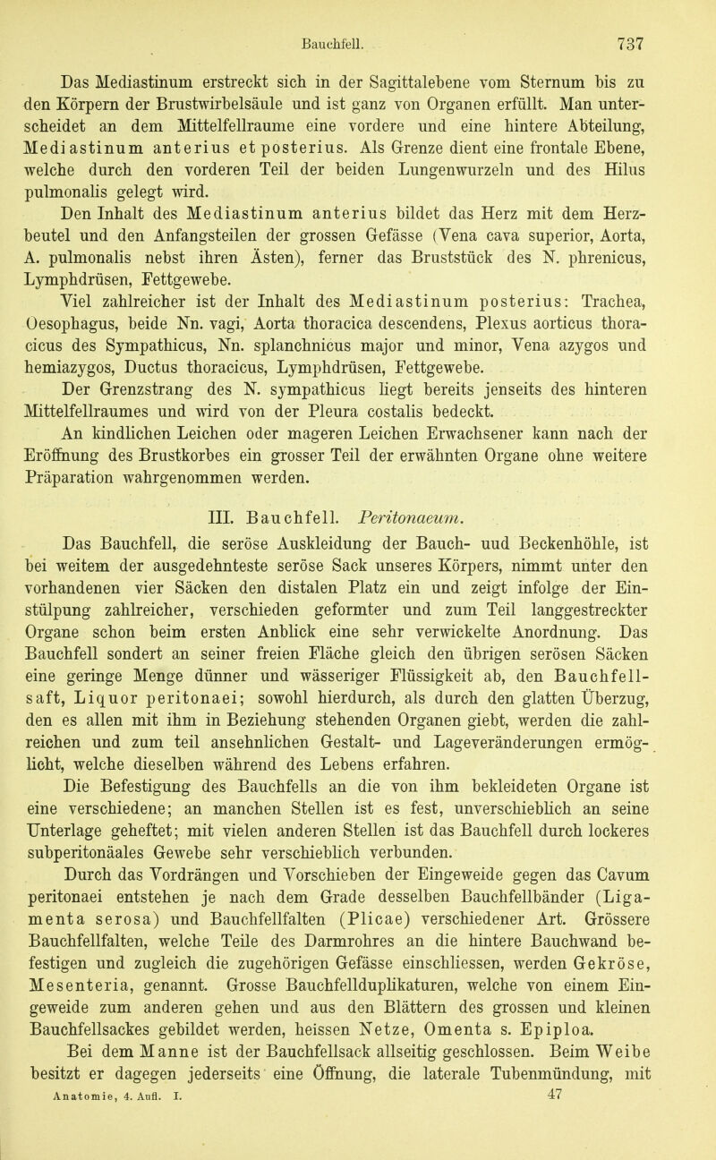 Das Mediastinum erstreckt sich in der Sagittalebene vom Sternum bis zu den Körpern der Brustwirbelsäule und ist ganz von Organen erfüllt. Man unter- scheidet an dem Mittelfellraume eine vordere und eine hintere Abteilung, Mediastinum anterius et posterius. Als Grenze dient eine frontale Ebene, welche durch den vorderen Teil der beiden Lungenwurzeln und des Hilus pulmonalis gelegt wird. Den Inhalt des Mediastinum anterius bildet das Herz mit dem Herz- beutel und den Anfangsteilen der grossen Gefässe ( Vena cava superior, Aorta, A. pulmonalis nebst ihren Ästen), ferner das Bruststück des N. phrenicus, Lymphdrüsen, Fettgewebe. Yiel zahlreicher ist der Inhalt des Mediastinum posterius: Trachea, Oesophagus, beide Nn. vagi, xiorta thoracica descendens, Plexus aorticus thora- cicus des Sympathicus, Nn. splanchnicus major und minor, Vena azygos und hemiazygos, Ductus thoracicus, Lymphdrüsen, Fettgewebe. Der Grenzstrang des N. sympathicus liegt bereits jenseits des hinteren Mittelfellraumes und wird von der Pleura costalis bedeckt. An kindlichen Leichen oder mageren Leichen Erwachsener kann nach der Eröffnung des Brustkorbes ein grosser Teil der erwähnten Organe ohne weitere Präparation wahrgenommen werden. III. Bauchfell. Peritonaeum. Das Bauchfell, die seröse Auskleidung der Bauch- und Beckenhöhle, ist bei weitem der ausgedehnteste seröse Sack unseres Körpers, nimmt unter den vorhandenen vier Säcken den distalen Platz ein und zeigt infolge der Ein- stülpung zahlreicher, verschieden geformter und zum Teil langgestreckter Organe schon beim ersten Anblick eine sehr verwickelte Anordnung. Das Bauchfell sondert an seiner freien Fläche gleich den übrigen serösen Säcken eine geringe Menge dünner und wässeriger Flüssigkeit ab, den Bauchfell- saft, Liquor peritonaei; sowohl hierdurch, als durch den glatten Überzug, den es allen mit ihm in Beziehung stehenden Organen giebt, werden die zahl- reichen und zum teil ansehnlichen Gestalt- und Lageveränderungen ermög- licht, welche dieselben während des Lebens erfahren. Die Befestigung des Bauchfells an die von ihm bekleideten Organe ist eine verschiedene; an manchen Stellen ist es fest, unverschieblich an seine Unterlage geheftet; mit vielen anderen Stellen ist das Bauchfell durch lockeres subperitonäales Gewebe sehr verschieblich verbunden. Durch das Vordrängen und Vorschieben der Eingeweide gegen das Cavum peritonaei entstehen je nach dem Grade desselben Bauchfellbänder (Liga- menta serosa) und Bauchfellfalten (Plicae) verschiedener Art. Grössere Bauchfellfalten, welche Teile des Darmrohres an die hintere Bauchwand be- festigen und zugleich die zugehörigen Gefässe einschliessen, werden Gekröse, Mesenteria, genannt. Grosse Bauchfellduphkaturen, welche von einem Ein- geweide zum anderen gehen und aus den Blättern des grossen und kleinen Bauchfellsackes gebildet werden, heissen Netze, Omenta s. Epiploa. Bei dem Manne ist der Bauchfellsack allseitig geschlossen. Beim Weibe besitzt er dagegen jederseits eine öfihung, die laterale Tubenmündung, mit Anatomie, 4. Anfl. I. 47