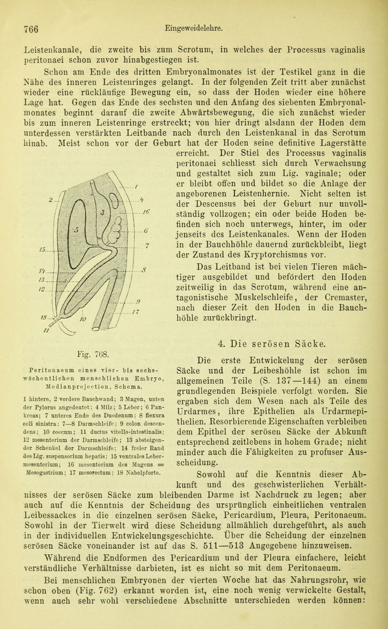 Leistenkanale, die zweite bis zum Scrotuni, in welches der Processus vaginalis peritonaei schon zuvor hinabgestiegen ist. Schon am Ende des dritten Embryonalmonates ist der Testikel ganz in die Nähe des inneren Leistenringes gelangt. In der folgenden Zeit tritt aber zunächst wieder eine rückläufige Bewegung ein, so dass der Hoden wieder eine höhere Lage hat. Gegen das Ende des sechsten und den Anfang des siebenten Embryonal- monates beginnt darauf die zweite Abwärtsbewegung, die sich zunächst wieder bis zum inneren Leistenringe erstreckt; von hier dringt alsdann der Hoden dem unterdessen verstärkten Leitbande nach durch den Leistenkanal in das Scrotum hinab. Meist schon vor der Geburt hat der Hoden seine definitive Lagerstätte erreicht. Der Stiel des Processus vaginalis peritonaei schliesst sich durch Verwachsung und gestaltet sich zum Lig. vaginale; oder er bleibt offen und bildet so die Anlage der angeborenen Leistenhernie. Nicht selten ist der Descensus bei der Geburt nur unvoll- ständig vollzogen; ein oder beide Hoden be- finden sich noch unterwegs, hinter, im oder jenseits des Leistenkanales. Wenn der Hoden in der Bauchhöhle dauernd zurückbleibt, liegt der Zustand des Kryptorchismus vor. Das Leitband ist bei vielen Tieren mäch- tiger ausgebildet und befördert den Hoden zeitweilig in das Scrotum, während eine an- tagonistische Muskelschleife, der Cremaster, nach dieser Zeit den Hoden in die Bauch- höhle zurückbringt. 4 Die serösen Säcke. Die erste Entwickelung der serösen Säcke und der Leibeshöhle ist schon im allgemeinen Teile (S. 137—144) an einem grundlegenden Beispiele verfolgt worden. Sie ergaben sich dem Wesen nach als Teile des ürdarmes, ihre Epithelien als ürdarmepi- thelien. Resorbierende Eigenschaften verbleiben dem Epithel der serösen Säcke der Abkunft entsprechend zeitlebens in hohem Grade; nicht minder auch die Fähigkeiten zu profuser Aus- scheidung. Sowohl auf die Kenntnis dieser Ab- kunft und des geschwisterlichen Verhält- nisses der serösen Säcke zum bleibenden Darme ist Nachdruck zu legen; aber auch auf die Kenntnis der Scheidung des ursprünglich einheitlichen ventralen Leibessackes in die einzelnen serösen Säcke, Pericardium, Pleura, Peritonaeum. Sowohl in der Tierwelt wird diese Scheidung allmählich durchgeführt, als auch in der individuellen Entwickelungsgeschichte. Über die Scheidung der einzelnen serösen Säcke voneinander ist auf das S. 511—513 Angegebene hinzuweisen. Während die Endformen des Pericardium und der Pleura einfachere, leicht verständliche Verhältnisse darbieten, ist es nicht so mit dem Peritonaeum. Bei menschlichen Embryonen der vierten Woche hat das Nahrungsrohr, wie schon oben (Fig. 762) erkannt worden ist, eine noch wenig verwickelte Gestalt, wenn auch sehr wohl verschiedene Abschnitte unterschieden werden können: Fig. 768. PeritonaeTim eines vier- bis sechs- >vöelientlichen menschli chen Embryo, Medianprojection, Schema. 1 hintere, 2 vordere Baiich^vand; 3 Magen, unten der Pylorns angedeutet: 4 ^lilz ; 5 Leber; 6 Pan- kreas; 7 unteres Ende des Duodenum: 8 flexura coli sinistra; 7—8 Darmschleife: 9 colon descen- dens; 10 coecum; 11 ductus vitello-intestinalis: 12 mesenterium der Darmschleife; 13 absteigen- der Schenkel der Darmschleife: 14 freier Rand des Lig. Suspensorium hepatis; 15 ventrales Leber- mesenterium; 16 mesenterium des Magens = Mesogastrium: 17 mesorectum; 18 Xabelpforte.