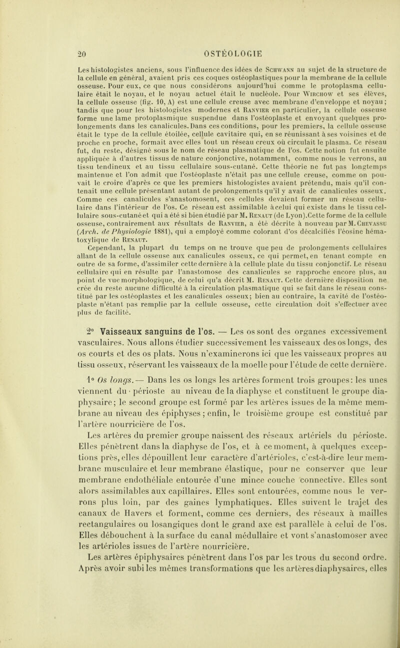 Les histologistes anciens, sous l’influence des idées de Schwann au sujet de la structure de la cellule en général, avaient pris ces coques ostéoplastiques pour la membrane de la cellule osseuse. Pour eux, ce que nous considérons aujourd’hui comme le protoplasma cellu¬ laire était le noyau, et le noyau actuel était le nucléole. Pour Wirchow et ses élèves, la cellule osseuse (fîg. 10, A) est une cellule creuse avec membrane d’enveloppe et noyau ; tandis que pour les histologistes modernes et Ranvier en particulier, la cellule osseuse forme une lame protoplasmique suspendue dans l’ostéoplaste et envoyant quelques pro¬ longements dans les canalicules.Dans ces conditions, pour les premiers, la cellule osseuse était le type de la cellule étoilée, cellule cavitaire qui, en se réunissant à ses voisines et de proche en proche, formait avec elles tout un réseau creux où circulait le plasma. Ce réseau fut, du reste, désigné sous le nom de réseau plasmatique de l’os. Cette notion fut ensuite appliquée à d’autres tissus de nature conjonctive, notamment, comme nous le verrons, au tissu tendineux et au tissu cellulaire sous-cutané. Cette théorie ne fut pas longtemps maintenue et l’on admit que l’ostéoplaste n’était pas une cellule creuse, comme on pou¬ vait le croire d’après ce que les premiers histologistes avaient prétendu, mais qu’il con¬ tenait une cellule présentant autant de prolongements qu’il y avait de canalicules osseux. Comme ces canalicules s’anastomosent, ces cellules devaient former un réseau cellu¬ laire dans l’intérieur de l’os. Ce réseau est assimilable àcelui qui existe dans le tissu cel¬ lulaire sous-cutané et qui a été si bien étudié par M. Renaut (de Lyon).Cette forme de la cellule osseuse, contrairement aux résultats de Ranvier, a été décrite à nouveau par M.Chevassu (Arch. de Physiologie 1881), qui a employé comme colorant d’os décalcifiés l’éosine héma¬ toxylique de Renaut. Cependant, la plupart du temps on ne trouve que peu de prolongements cellulaires allant de la cellule osseuse aux canalicules osseux, ce qui permet, en tenant compte en outre de sa forme, d’assimiler cette dernière à la cellule plate du tissu conjonctif. Le réseau cellulaire qui en résulte par l’anastomose des canalicules se rapproche encore plus, au point de vue morphologique, de celui qu’a décrit M. Renaut. Cette dernière disposition ne crée du reste aucune difficulté à la circulation plasmatique qui se fait dans le réseau cons¬ titué par les ostéoplastes et les canalicules osseux; bien au contraire, la cavité de l’ostéo- plaste n’étant pas remplie par la cellule osseuse, cette circulation doit s’effectuer avec plus de facilité. 2° Vaisseaux sanguins de l’os. — Les os sont des organes excessivement vasculaires. Nous allons étudier successivement les vaisseaux des os longs, des os courts et des os plats. Nous n’examinerons ici que les vaisseaux propres au tissu osseux, réservant les vaisseaux de la moelle pour l’étude de cette dernière. 1° Os longs.— Dans les os longs les artères forment trois groupes: les unes viennent du ■ périoste au niveau de la diaphyse et constituent le groupe dia- physaire; le second groupe est formé par les artères issues de la même mem¬ brane au niveau des épiphyses ; enfin, le troisième groupe est constitué par l’artère nourricière de l’os. Les artères du premier groupe naissent des réseaux artériels du périoste. Elles pénètrent dans la diaphyse de l’os, et à ce moment, à quelques excep¬ tions près, elles dépouillent leur caractère d’artérioles, c’est-à-dire leur mem¬ brane musculaire et leur membrane élastique, pour ne conserver que leur membrane endothéliale entourée d’une mince couche connective. Elles sont alors assimilables aux capillaires. Elles sont entourées, comme nous le ver¬ rons plus loin, par des gaines lymphatiques. Elles suivent le trajet des canaux de Havers et forment, comme ces derniers, des réseaux à mailles rectangulaires ou losangiques dont le grand axe est parallèle à celui de l’os. Elles débouchent à la surface du canal médullaire et vont s’anastomoser avec les artérioles issues de l’artère nourricière. Les artères épiphysaires pénètrent dans l’os par les trous du second ordre. Après avoir subi les mêmes transformations que les artères diaphysaires, elles