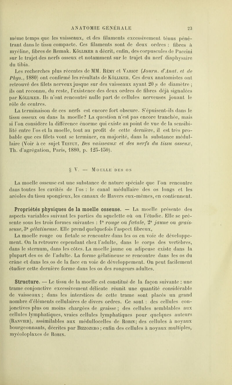 même temps que les vaisseaux, et des filaments excessivement ténus péné¬ trant dans le tissu compacte. Ces filaments sont de deux ordres : fibres à myéline, fibres de Remak. Kôlliker a décrit, enfin, des corpuscules de Paccini sur le trajet des nerfs osseux et notamment sur le trajet du nerf diaphysaire du tibia. Les recherches plus récentes de MM. Rémy et Yariot (Journ. d'Anat. et de Phys., 1880) ont confirmé les résultats de Kôlliker. Ces deux anatomistes ont retrouvé des filets nerveux jusque sur des vaisseaux ayant 20 u de diamètre ; ils ont reconnu, du reste, l’existence des deux ordres de fihres déjà signalées par Kôlliker. Ils n’ont rencontré nulle part de cellules nerveuses jouant le rôle de centres. La terminaison de ces nerfs est encore fort obscure. S’épuisent-ils dans le tissu osseux ou dans la moelle? La question n’est pas encore tranchée, mais si l’on considère la différence énorme qui existe au point de vue de la sensibi¬ lité entre l’os et la moelle, tout au profit de cette dernière, il est très pro¬ bable que ces filets vont se terminer, en majorité, dans la substance médul¬ laire (Voir à ce sujet Testut, Des vaisseaux et des nerfs du tissu osseux, Th. d’agrégation, Paris, 1880, p. 125-150). § Y. — Moelle des os La moelle osseuse est une substance de nature spéciale que l’on rencontre dans toutes les cavités de l’os : le canal médullaire des os longs et les aréoles du tissu spongieux, les canaux de Havers eux-mêmes, en contiennent. Propriétés physiques de la moelle osseuse. — La moelle présente des aspects variables suivant les parties du squelette où on l’étudie. Elle se pré¬ sente sous les trois formes suivantes : 1° rouge ou fœtale, 2° jaune ou grais¬ seuse, 3° gélatineuse. Elle prend quelquefois l’aspect fibreux, La moelle rouge ou fœtale se rencontre dans les os en voie de développe¬ ment. On la retrouve cependant chez l’adulte, dans le corps des vertèbres, dans le sternum, dans les côtes. La moelle jaune ou adipeuse existe dans la plupart des os de l’adulte. La forme gélatineuse se rencontre dans les os du crâne et dans les.os de la face en voie de développement. On peut facilement étudier cette dernière forme dans les os des rongeurs adultes. Structure. — Le tissu de la moelle est constitué de la façon suivante : une trame conjonctive excessivement délicate réunit une quantité considérable de vaisseaux ; dans les interstices de cette trame sont placés un grand nombre d’éléments cellulaires de divers ordres. Ce sont : des cellules con¬ jonctives plus ou moins chargées de graisse ; des cellules semblables aux cellules lymphatiques, vraies cellules lymphatiques pour quelques auteurs (Ranvier), assimilables aux médullocelles de Robin; des cellules à noyaux bourgeonnants, décrites par Bizzozero ; enfin des cellules à noyaux multiples, myéoloplaxes de Robin.