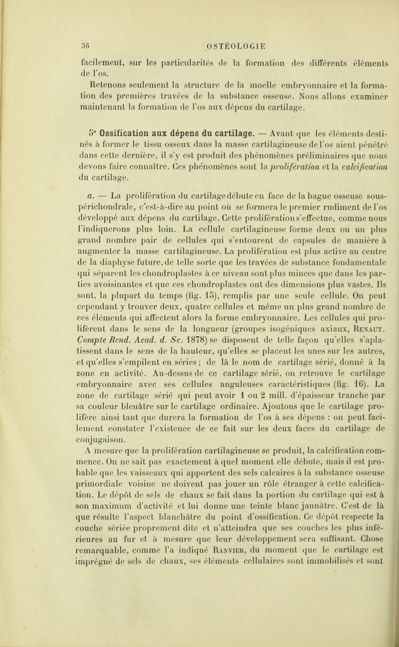 facilement, sur les particularités de la formation des différents éléments de l’os. Retenons seulement la structure de la moelle embryonnaire et la forma¬ tion des premières travées de la substance osseuse. Nous allons examiner maintenant la formation de l’os aux dépens du cartilage. 5° Ossification aux dépens du cartilage. — Avant que les éléments desti¬ nés à former le tissu osseux dans la masse cartilagineuse de l’os aient pénétré dans cette dernière, il s’y est produit des phénomènes préliminaires que nous devons faire connaître. Ges phénomènes sont la prolifération et la calcification du cartilage. a. — La prolifération du cartilage débute en face de la bague osseuse sous- périchondrale, c'est-à-dire au point où se formera le premier rudiment de l’os développé aux dépens du cartilage. Cette prolifération s’effectue, comme nous l’indiquerons plus loin. La cellule cartilagineuse forme deux ou un plus grand nombre pair de cellules qui s’entourent de capsules de manière à augmenter la masse cartilagineuse. La prolifération est plus active au centre de la diaphyse future, de telle sorte que les travées de substance fondamentale qui séparent les chondroplastes à ce niveau sont plus minces que dans les par¬ ties avoisinantes et que ces chondroplastes ont des dimensions plus vastes. Ils sont, la plupart du temps (fîg. 15), remplis par une seule cellule. On peut cependant y trouver deux, quatre cellules et même un plus grand nombre de ces éléments qui affectent alors la forme embryonnaire. Les cellules qui pro¬ lifèrent dans le sens de la longueur (groupes isogéniques axiaux, Renaut. Compte Rend. Acad. d. Sc. 1878) se disposent de telle façon qu’elles s’apla¬ tissent dans le sens de la hauteur, qu’elles se placent les unes sur les autres, et qu’elles s’empilent en séries ; de là le nom de cartilage sérié, donné à la zone en activité. Au-dessus de ce cartilage sérié, on retrouve le cartilage embryonnaire avec ses cellules anguleuses caractéristiques (fîg. 16). La zone de cartilage sérié qui peut avoir 1 ou 2 mill. d’épaisseur tranche par sa couleur bleuâtre sur le cartilage ordinaire. Ajoutons que le cartilage pro¬ lifère ainsi tant que durera la formation de l’os à ses dépens : on peut faci¬ lement constater l’existence de ce fait sur les deux faces du cartilage de conjugaison. A mesure que la prolifération cartilagineuse se produit, la calcification com¬ mence. On ne sait pas exactement à quel moment elle débute, mais il est pro¬ bable que les vaisseaux qui apportent des sels calcaires à la substance osseuse primordiale voisine ne doivent pas jouer un rôle étranger à cette calcifica¬ tion. Le dépôt de sels de chaux se fait dans la portion du cartilage qui est à son maximum d’activité et lui donne une teinte blanc jaunâtre. C’est de là que résulte l’aspect blanchâtre du point d’ossification. Ce dépôt respecte la couche sériée proprement dite et n’atteindra que ses couches les plus infé¬ rieures au fur et à mesure que leur développement sera suffisant. Chose remarquable, comme l’a indiqué Ranvier, du moment que le cartilage est imprégné de sels de chaux, ses éléments cellulaires sont immobilisés et sont